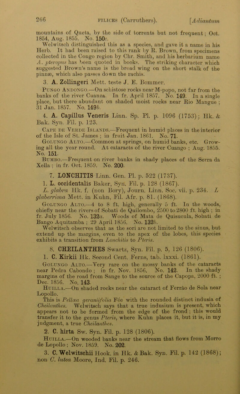 mountains of Queta, by the side of torrents but not frequent: Oct 1854, Aug. 1855. No. i50c. Welwitsch distinguished this as a species, and gave it a name in his Herb. It had been raised to this rank by R. Brown, from specimens collected in the Congo region by Chr. Smith, and his herbarium name A. p ter opus has been quoted in books. The striking character which suggested Brown’s name is the broad wing on the short stalk of the pinnae, which also passes down the rachis. 3. A. Zollingeri Mett. teste J. E. Bommer, Pungo Andongo.—On schistose rocks near M-popo, not far from the banks of the river Cuanza. In fr. April 1857. No. 149. In a single place, but there abundant on shaded moist rocks near Rio Mangue ; 31 Jan. 1857. No. 1495. 4. A. Capillus Veneris Linn. Sp. PI. p. 1096 (1753); Hk. & Bak. Syn. Fil. p. 123. Cape de Vekde Islands.—Frequent in humid places in the interior of the Isle of St. James ; in fruit Jan. 1861. No. 71. Golungo Alto.—Common at springs, on humid banks, etc. Grow- ing all the year round. At cataracts of the river Cuango ; Aug. 1855. No. 151. Bumbo.—Frequent on river banks in shady places of the Serra da Xella ; in fr. Oct. 1859. No. 200. 7. LONCHITIS Linn. Gen. PI. p. 522 (1737). 1. L. occidentalis Baker, Syn. Fil. p. 128 (1867). L. glabra Hk. f. (non Bory), Journ. Linn. Soc. vii. p. 234. L glaberrima Mett. in Kuhn, Fil. Afr. p. 81. (1868). Golungo Alto.—4 to 8 ft. high, generally 5 ft. In the woods, chiefly near the rivers of Sobati de Quilombo, 2500 to 2800 ft. high ; in fr. July 1856. No. 132a. Woods of Mata de Quisucula, Sobati de Bango Aquitamba ; 29 April 1856. No. 1325. Welwitsch observes that as the sori are not limited to the sinus, but extend up the margins, even to the apex of the lobes, this species exhibits a transition from Lonchitis to Pteris. 8. CHEILANTHES Swartz, Syn. Fil. p. 5, 126 (1806). 1. C. Kirkii Hk. Second Cent. Ferns, tab. lxxxi. (1861). Golungo Alto.—Very rare on the mossy banks of the cataracts near Pedra Cabondo ; in fr. Nov. 1856. No. 142. In the shady margins of the road from Sange to the source of the Capopa, 2000 ft. ; Dec. 1856. No. 143. Huilla.—On shaded rocks near the cataract of Ferrao de Sola near Lopollo. This is Pelloea geraniifolia Fee with the rounded distinct indusia of Cheilanthes. Welwitsch says that a true indusium is present, which appears not to be formed from the edge of the frond ; this would transfer it to the genus Pteris, where Kuhn places it, but it is, in my judgment, a true Cheilanthes. 2. C. hirta Sw. Syn. Fil. p. 128 (1806). Huilla.—On wooded banks near the stream that flows from Morro de Lopollo ; Nov. 1859. No. 202. 3. C. Welwitschii Hook, in Hk. & Bak. Syn. Fil. p. 142 (1868); non C. lutea Moore, Ind. Fil. p. 246.