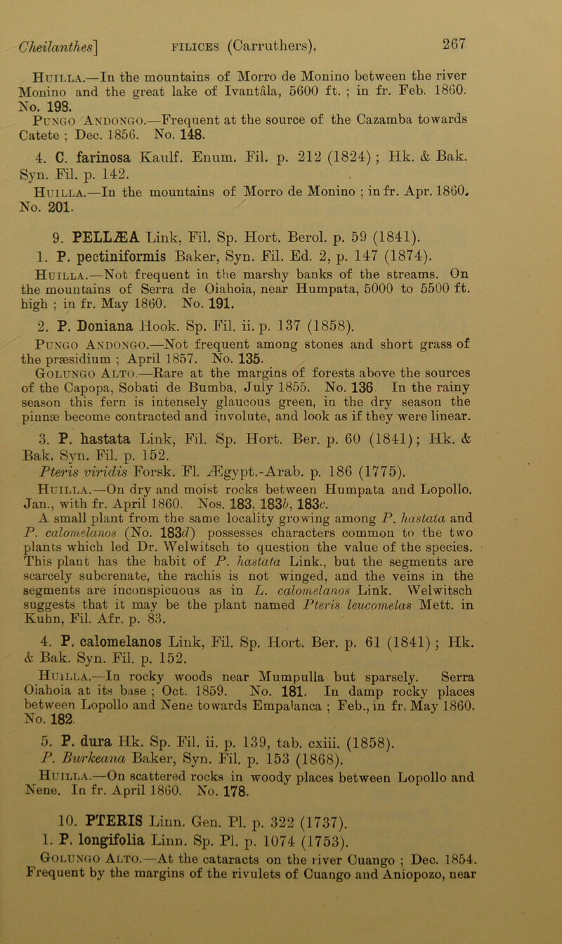 Huilla.—In the mountains of Morro de Monino between the river Monino and the great lake of Ivan tala, 5600 ft. ; in fr. Feb. 1860. No. 198. Pungo Andongo.—Frequent at the source of the Cazamba towards Catete ; Dec. 1856. No. 148. 4. C. farinosa Kaulf. Enum. Fil. p. 212 (1824) ; Hk. & Bak. Syn. Fil. p. 142. Huilla.—In the mountains of Morro de Monino ; infr. Apr. 1860, No. 201. 9. PELLiEA Link, Fil. Sp. Hort. Berol. p. 59 (1841). 1. P. pectiniformis Baker, Syn. Fil. Ed. 2, p. 147 (1874). Huilla.—Not frequent in the marshy banks of the streams. On the mountains of Serra de Oiahoia, near Humpata, 5000 to 5500 ft. high ; in fr. May 1860. No. 191. 2. P. Doniana Hook. Sp. Fil. ii. p. 137 (1858). Pungo Andongo.—Not frequent among stones and short grass of the prsesidium ; April 1857. No. 135- Golungo Alto.—Rare at the margins of forests above the sources of the Capopa, Sobati de Bumba, July 1855. No. 136 In the rainy season this fern is intensely glaucous green, in the dry season the pinnae become contracted and involute, and look as if they were linear. 3. P. hastata Link, Fil. Sp. Hort. Ber. p. 60 (1841); Hk. & Bak. Syn. Fil. p. 152. Pteris viridis Forsk. FI. --Egypt.-Arab. p. 186 (1775). Huilla.—On dry and moist rocks between Humpata and Lopollo. Jan., with fr. April 1860. Nos. 183, 183/5, 183c. A small plant from the same locality growing among P. liastata and P. calomelanos (No. 183J) possesses characters common to the two plants which led Dr. Welwitsch to question the value of the species. This plant has the habit of P. hastata Link., but the segments are scarcely subcrenate, the rachis is not winged, and the veins in the segments are inconspicuous as in L. calomelanos Link. Welwitsch suggests that it may be the plant named Pteris leucomelas Mett. in Kuhn, Fil. Afr. p. 83. 4. P. calomelanos Link, Fil. Sp. Hort. Ber. p. 61 (1841); Hk. & Bak. Syn. Fil. p. 152. Huilla.—In rocky woods near Mumpulla but sparsely. Serra Oiahoia at its base ; Oct. 1859. No. 181. In damp rocky places between Lopollo and Nene towards Empalanca ; Feb., in fr. May 1860. No. 182. 5. P. dura Hk. Sp. Fil. ii. p. 139, tab. cxiii. (1858). P. Burheana Baker, Syn. Fil. p. 153 (1868). Huilla.—On scattered rocks in woody places between Lopollo and Nene. In fr. April 1860. No. 178. 10. PTERIS Linn. Gen. PI. p. 322 (1737). 1. P. longifolia Linn. Sp. PI. p. 1074 (1753). Golungo Alto.—At the cataracts on the river Cuango ; Dec. 1854. Frequent by the margins of the rivulets of Cuango and Aniopozo, near