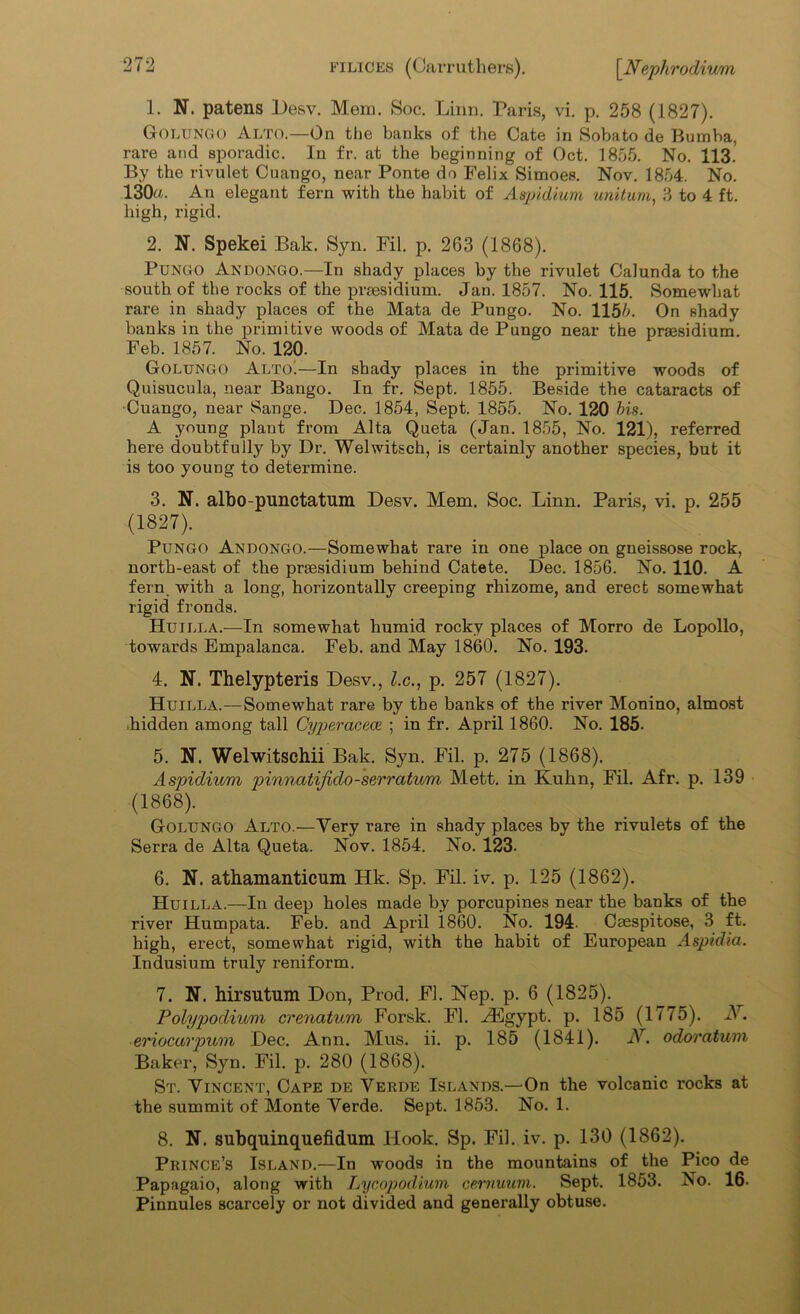 1. N. patens Desv. Mem. Soc. Linn. Paris, vi. p. 258 (1827). Golungo Alto.—On the banks of the Cate in Sobato de Bumba, rare and sporadic. In fr. at the beginning of Oct. 1855. No. 113. By the rivulet Cuango, near Ponte do Felix Simoes. Nov. 1854. No. 130«. An elegant fern with the habit of Aapidium unitum, 3 to 4 ft. high, rigid. 2. N. Spekei Bak. Syn. Fil. p. 263 (1868). Pungo Andongo.—In shady places by the rivulet Calunda to the south of the rocks of the presidium. Jan. 1857. No. 115. Somewhat rare in shady places of the Mata de Pungo. No. 1155. On shady banks in the primitive woods of Mata de Pungo near the praesidium. Feb. 1857. No. 120. Golungo Ai/roi—In shady places in the primitive woods of Quisucula, near Bango. In fr. Sept. 1855. Beside the cataracts of Cuango, near Sange. Dec. 1854, Sept. 1855. No. 120 bis. A young plaut from Alta Queta (Jan. 1855, No. 121), referred here doubtfully by Dr. Welwitsch, is certainly another species, but it is too young to determine. 3. ET. albo-punctatum Desv. Mem. Soc. Linn. Paris, vi. p. 255 (1827). Pungo Andongo.—Somewhat rare in one place on gneissose rock, north-east of the presidium behind Catete. Dec. 1856. No. 110. A fern. with a long, horizontally creeping rhizome, and erect somewhat rigid fronds. Huilla.—In somewhat humid rocky places of Morro de Lopollo, towards Empalanca. Feb. and May 1860. No. 193. 4. N. Thelypteris Desv., l.c., p. 257 (1827). Huilla.—Somewhat rare by the banks of the river Monino, almost hidden among tall Cyperacece. ; in fr. April 1860. No. 185. 5. N. Welwitschii Bak. Syn. Fil. p. 275 (1868). Aspidiu/m pinnatifido-serratum Mett. in Kuhn, Fil. Afr. p. 139 (1868). Golungo Alto.—Very rare in shady places by the rivulets of the Serra de Alta Queta. Nov. 1854. No. 123. 6. N. athamanticum Hk. Sp. Fil. iv. p. 125 (1862). Huilla.—In deep holes made by porcupines near the banks of the river Humpata. Feb. and April i860. No. 194. Caespitose, 3 ft. high, erect, somewhat rigid, with the habit of European Aspidia. Indusium truly reniform. 7. N. hirsutum Don, Prod. FI. Nep. p. 6 (1825). Polypodium crenatum Forsk. FI. AEgypt. p. 185 (1775). A5 6 7 8. ■eriocarpum Dec. Ann. Mus. ii. p. 185 (1841). Ar. odoratu/m Baker, Syn. Fil. p. 280 (1868). St. Vincent, Cape de Verde Islands.—On the volcanic rocks at the summit of Monte Verde. Sept. 1853. No. 1. 8. N. subqumquefidum Hook. Sp. Fil. iv. p. 130 (1862). Prince’s Island.—In woods in the mountains of the Pico de Papagaio, along with Lycopodium cemuum. Sept. 1853. No. 16- Pinnules scarcely or not divided and generally obtuse.