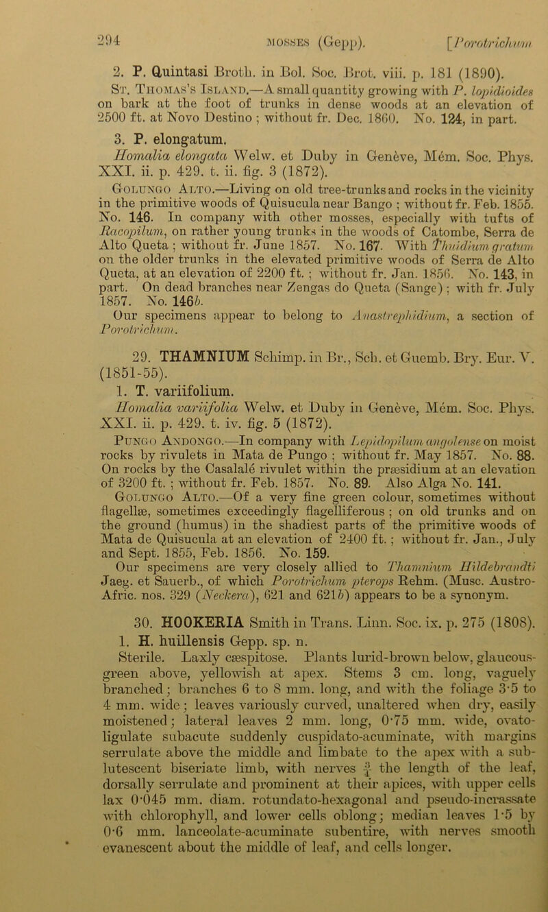 mosses (Gepp). [/‘orotrichv'iii 2. P. Quintasi Broth, in Bol. Soc. Brot. viii. p. 181 (1890). St. Thomas’s Island.—A small quantity growing with P. lopidioides on bark at the foot of trunks in dense woods at an elevation of 2500 ft. at Novo Destino ; without fr. Dec. 1800. No. 124, in part. 3. P. elongatum. TIomalia elongata Welvv. et Du by in Geneve, Mem. Soc. Phys. XXI. ii. p. 429. t. ii. fig. 3 (1872). Golungo Alto.—Living on old tree-trunks and rocks in the vicinity in the primitive woods of Quisucula near Bango ; without fr. Feb. 1855. No. 146. In company with other mosses, especially with tufts of Racopilum, on rather young trunks in the woods of Catombe, Serra de Alto Queta ; without fr. June 1857. No. 167. With Thuidium gratum on the older trunks in the elevated primitive woods of Serra de Alto Queta. at an elevation of 2200 ft. ; without fr. Jan. 1856. No. 143, in part. On dead branches near Zengas do Queta (Sange) : with fr. July 1857. No. 1465. Our specimens appear to belong to Anastrepludium, a section of Porotri drum. 29. THAMNIUM Schimp. in Br., Scb. et Guemb. Bry. Eur. Y. (1851-55). 1. T. variifolium. Homalia variifolia Welw. et Duby in Geneve, Mem. Soc. Phys. XXI. ii. p. 429.'t. iv. fig. 5 (1872). Pungo Andongo.—In company with Lepidopilum angolense on moist rocks by rivulets in Mata de Pungo ; without fr. May 1857. No. 88. On rocks by the Casalale rivulet within the presidium at an elevation of 3200 ft. ; without fr. Feb. 1857. No. 89. Also Alga No. 141. Golungo Alto.—Of a very fine green colour, sometimes without flagellae, sometimes exceedingly flagelliferous ; on old trunks and on the ground (humus) in the shadiest parts of the primitive woods of Mata de Quisucula at an elevation of 2400 ft.; without fr. Jan., July and Sept. 1855, Feb. 1856. No. 159. Our specimens are very closely allied to Thamnium Hildebrcindti Jaeg. et Sauerb., of which Porotrichum pterops Rehm. (Muse. Austro- Afric. nos. 329 (Neckera), 621 and 6215) appears to be a synonym. 30. HOOKERIA Smith in Trans. Linn. Soc. ix. p. 275 (1808). 1. H. huillensis Gepp. sp. n. Sterile. Laxly caespitose. Plants lurid-brown below, glaucous- green above, yellowish at apex. Stems 3 cm. long, vaguely branched; branches 6 to 8 mm. long, and with the foliage 3‘5 to 4 mm. wide; leaves variously curved, unaltered when dry, easily moistened; lateral leaves 2 mm. long, 0’75 mm. wide, ovato- ligulate subacute suddenly cuspidato-acuminate, with margins serrulate above the middle and limbate to the apex with a sub- lutescent blseriate limb, with nerves the length of the leaf, dorsally serrulate and prominent at their apices, with upper cells lax 04)45 mm. diam. rotundato-hexagonal and pseudo-incrassate with chlorophyll, and lower cells oblong; median leaves 1*5 by 0-6 mm. lanceolate-acuminate subentire, with nerves smooth evanescent about the middle of leaf, and cells longer.