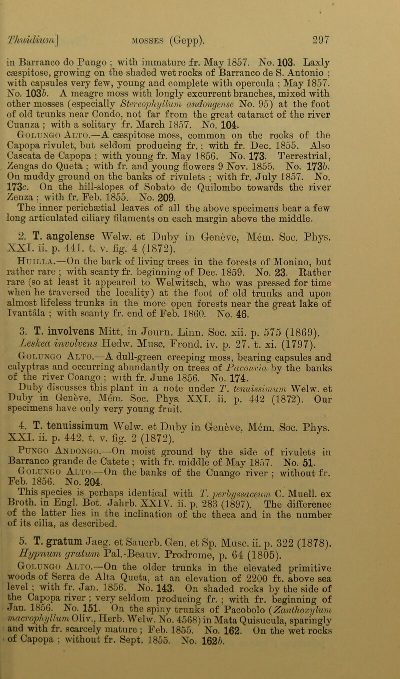 in Barranco do Pungo ; with immature fr. May 1857. No. 103- Laxly csespitose, growing on the shaded wet rocks of Barranco de S. Antonio ; with capsules very few, young and complete with opercula ; May 1857. No. 1035. A meagre moss with longly excurrent branches, mixed with other mosses (especially Stereophyllum andongeuse No. 95) at the foot of old trunks near Condo, not far from the great cataract of the river Cuanza ; with a solitary fr. March 1857. No. 101. Golungo Alto.—A casspitose moss, common on the rocks of the Capopa rivulet, but seldom producing fr.; with fr. Dec. 1855. Also Cascata de Capopa ; with young fr. May 1856. No. 173. Terrestrial, Zengas do Queta ; with fr. and young flowers 9 Nov. 1855. No. 1735. On muddy ground on the banks of rivulets ; with fr. July 1857. No. 173c. On the hill-slopes of Sobato de Quilombo towards the river Zenza ; with fr. Feb. 1855. No. 209. The inner perichaetial leaves of all the above specimens bear a few long articulated ciliary filaments on each margin above the middle. 2. T. angolense Welw. et Duby in Geneve, Mem. Soc. Phys. XXI. ii. p. 441. t. v. fig. 4 (1872). Huilla.—On the bark of living trees in the forests of Monino, but rather rare ; with scanty fr. beginning of Dec. 1859. No. 23. Rather rare (so at least it appeared to Welwitsch, who was pressed for time when he traversed the locality) at the foot of old trunks and upon almost lifeless trunks in the more open forests near the great lake of Ivantala ; with scanty fr. end of Feb. 1860. No. 46. 3. T. involvens Mitt, in Journ. Linn. Soc. xii. p. 575 (1869). Leskea involvens Hedw. Muse. Frond, iv. p. 27. t. xi. (1797). Golijngo Alto.—A dull-green creeping moss, bearing capsules and calyptras and occurring abundantly on trees of Paco aria by the banks of the river Coango ; with fr. June 1856. No. 174. Duby discusses this plant in a note under T. tenidssimum Welw. et Duby in Geneve, Mem. Soc. Phys. XXI. ii. p. 442 (1872). Our specimens have only very young fruit. 4. T. temiissimum Welw. et Duby in Geneve, Mem. Soc. Phys. XXI. ii. p. 442. t. v. fig. 2 (1872). Puxgo Anijoxgo.—On moist ground by the side of rivulets in Barranco grande de Catete ; with fr. middle of May 1857. No. 51. Goluxgo Alto.—On the banks of the Cuango river : without fr. Feb. 1856. No. 204. This species is perhaps identical with T. perbyssaceum C. Muell. ex Broth, in Engl. Bot. Jahrb. XXIV. ii. p. 283 (1897). The difference of the latter lies in the inclination of the theca and in the number of its cilia, as described. 5. T. gratum Jaeg. et Sauerb. Gen. et Sp. Muse. ii. p. 322 (1878). Hypnum gratum Pal.-Beauv. Prodrome, p. 64 (1805). Goluxgo Alto.—On the older trunks in the elevated primitive woods of Serra de Alta Queta, at an elevation of 2200 ft. above sea level ; with fr. Jan. 1856. No. 143. On shaded rocks by the side of the Capopa river ; very seldom producing fr. ; with fr. beginning of Jan. 1856. No. 151. On the spiny trunks of Pacobolo (Zanthoxylum macrophyllum Oliv., Herb. Welw. No. 4568) in Mata Quisucula, sparingly and with fr. scarcely mature ; Feb. 1855. No. 162. On the wet rocks of Capopa ; without fr. Sept. 1855. No. 1625.