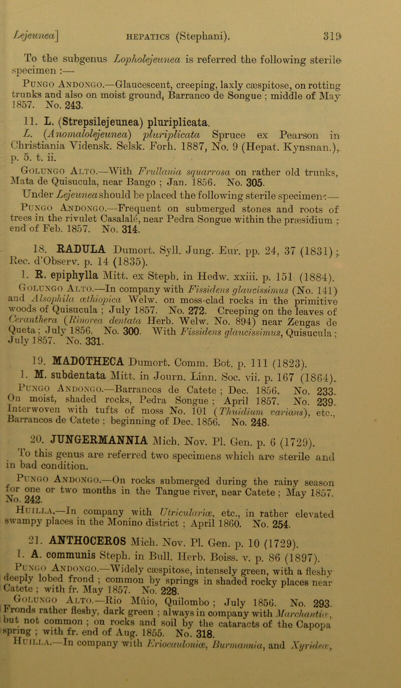 To the subgenus Lopholejeunea is referred the following sterile- specimen :— PuNGO Andongo.—Glaucescent, creeping, laxly ctespitose, on rotting trunks and also on moist ground, Barranco de Songue : middle of May 1857. No. 243. ll.L. (Strepsilejeunea) pluriplicata. L. (Anomalolejeunea) pluriplicata Spruce ex Pearson in Christiania Vidensk. Selsk. Forh. 1887, No. 9 (ILepat. Kynsnan.), p. 5. t. ii. Golungo Alto.—With Frullania squarrosa on rather old trunks, Mata de Quisucula, near Bango ; Jan. 1856. No. 305. Under Lejeunea should be placed the following sterile specimen*:— Pungo Andongo.—Frequent on submerged stones and roots of trees in the rivulet Casalale, near Pedra Songue within the presidium • end of Feb. 1857. No. 314. 18. RADULA Dumort. Syll. Jung. Eur. pp. 24, 37 (1831) : Rec. d’Observ. p. 14 (1835). 1. R. epiphylla Mitt, ex Stepb. in Hedw. xxiii. p. 151 (1884). Golungo Alto.—In company with Fissidens glaucissimus (No. 141) and Alsophila cethiopica Welw. on moss-clad rocks in the primitive woods of Quisucula ; July 1857. No. 272. Creeping on the leaves of Ceranthera (Rinorea dentata Herb. Welw. No. 894) near Zengas de Queta; July 1856. No. 300. With Fissidens qlaucisshnus, Quisucula * July 1857. No. 331. 19. MADOTHECA Dumort. Comm. Dot. p. Ill (1823). 1. M. subdentata Mitt, in Journ. Linn. Soc. vii. p. 167 (1864). Pungo Andongo.—Barrancos de Catete ; Dec. 1856. No. 233. On moist, shaded rocks, Pedra Songue ; April 1857. No. 239. Interwoven with tufts of moss No. 101 (Thuidium various), etc. Barrancos de Catete ; beginning of Dec. 1856. No. 248. 20. JUNGERMANNIA Mich. Nov. PI. Gen. p. 6 (1729). 1 o this genus are referred two specimens which are sterile and in bad condition. Pi ngo Andongo.—On rocks submerged during the rainy season tor one or two months in the Tangue river, near Catete ; May 1857 No. 242. Huilla. In company with Utricularice, etc., in rather elevated swampy places in the Monino district ; April 1860. No. 254. 21. ANTH0CER0S Mich. Nov. PI. Gen. p. 10 (1729). 1. A. communis Steph. in Bull. Herb. Boiss. v. p. 86 (1897). Pungo Andongo.—Widely cmspitose, intensely green, with a fleshy deeply lobed frond ; common by springs in shaded rocky places near Catete ; with fr. May 1857. No. 228. Golungo Alto.—Rio Muio, Quilombo ; July 1856. No. 293. ronds rather fleshy, dark green ; always in company with Marchantio . not common ; on rocks and soil by the cataracts of the Capopa spring ; with fr. end of Aug. 1855. No. 318. Hi ill a. In company with Eriocaulonice, Burmannia, and Xy video y