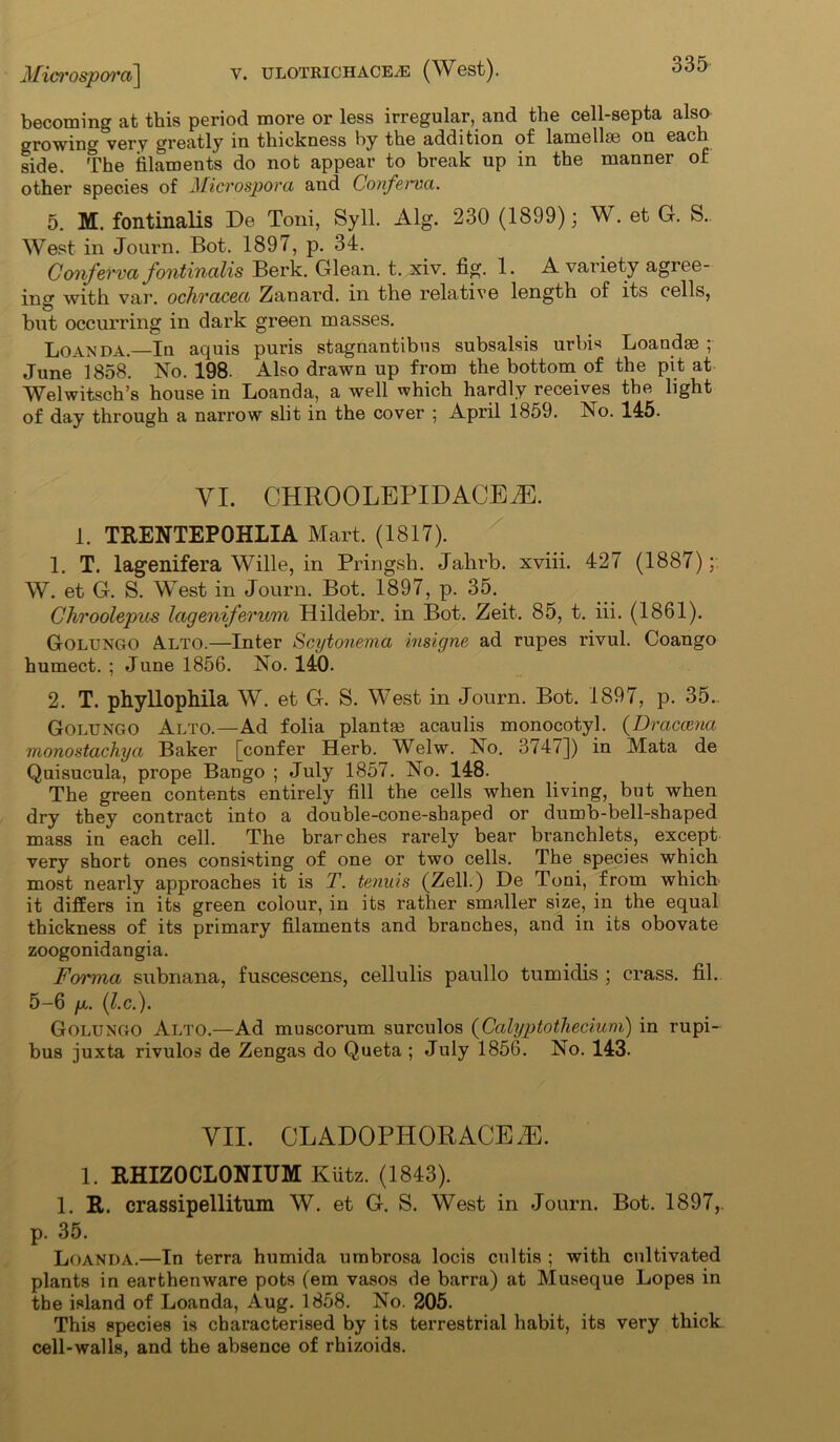 Microsporcb\ v. ulotriciiace/E (West). becoming at this period more or less irregular, and the cell-septa also growing very greatly in thickness by the addition of lamella? on each side. The filaments do not appear to break up in the manner of other species of Microspora and Conferva. 5. M. fontinalis De Toni, Syll. Alg. 230 (1899); W. et G. S. West in Journ. Bot. 1897, p. 34. Conferva fontinalis Berk. Glean, t. xiv. fig. 1. A variety agree- ing with var. ochvacea Zanard. in the relative length of its cells, but occurring in dark green masses. Loan da.—In aquis puris stagnantibus subsalsis urbB Loandge ; June 1858. No. 198- Also drawn up from the bottom of the pit at Welwitsch’s house in Loanda, a well which hardly receives the light of day through a narrow slit in the cover ; April 1859. No. 145. VI. CHROOLEPIDACEiE. 1. TRENTEPOHLIA Mart. (1817). 1. T. lagenifera Wille, in Pringsh. Jahrb. xviii. 427 (1887); W. et G. S. West in Journ. Bot. 1897, p. 35. Chroolepus lageniferum Hildebr. in Bot. Zeit. 85, t. iii. (1861). Golungo A.lto.—Inter Scytonema insigne ad rupes rivul. Coango humect. ; June 1856. No. 140. 2. T. phyllophila W. et G. S. West in Journ. Bot. 1897, p. 35. Golungo Alto.—Ad folia planta? acaulis monocotyl. (Draccena monostachya Baker [confer Herb. Welw. No. 3747]) in Mata de Quisucula, prope Bango ; July 1857. No. 148. The green contents entirely fill the cells when living, but when dry they contract into a double-cone-shaped or dumb-bell-shaped mass in each cell. The brarches rarely bear branchlets, except very short ones consisting of one or two cells. The species which most nearly approaches it is T. tenuis (Zell.) De Toni, from which it differs in its green colour, in its rather smaller size, in the equal thickness of its primary filaments and branches, and in its obovate zoogonidangia. Forma subnana, fuscescens, cellulis paullo tumiclis ; crass, fil. 5-6 fi. (l.c.). Golungo Alto.—Ad muscorum surculos (Calyptothecium) in rupi- bus juxta rivulos de Zengas do Queta ; July 1856. No. 143. VII. CLADOPHORACE/E. 1. RHIZOCLONIUM KUtz. (1843). 1. It. crassipellitum W. et G. S. West in Journ. Bot. 1897,. p. 35. Loanda.—In terra humida umbrosa locis cultis ; with cultivated plants in earthenware pots (em vasos de barra) at Museque Lopes in the island of Loanda, Aug. 1858. No. 205. This species is characterised by its terrestrial habit, its very thick cell-walls, and the absence of rhizoids.