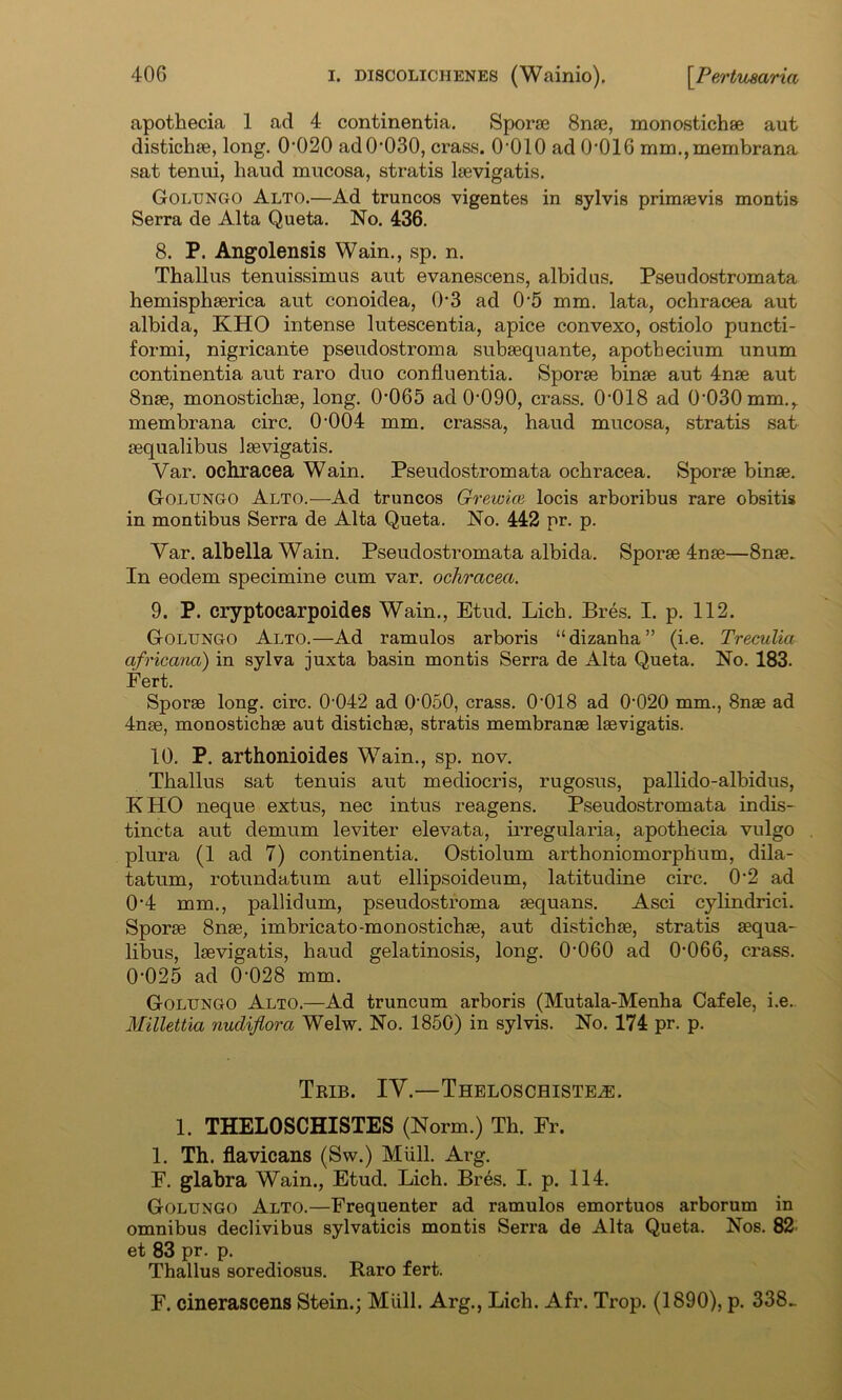 apothecia 1 ad 4 continentia. Sporse 8nae, monostichae aut distichae, long. 0,020 adO‘030, crass. 0-010 ad 0'016 mm.,membrana sat tenui, haud mucosa, stratis laevigatis. Golungo Alto.—Ad truncos vigentes in sylvis primaevis montis Serra de Alta Queta. No. 436. 8. P. Angolensis Wain., sp. n. Thallus tenuissimus aut evanescens, albidus. Pseudostromata hemisphaerica aut conoidea, 0'3 ad 0-5 mm. lata, ochracea aut albida, KHO intense lutescentia, apice convexo, ostiolo puncti- formi, nigricante pseudostroma subaequante, apothecium unum continentia aut raro duo confluentia. Sporae binae aut 4nae aut 8nae, monosticbae, long. 0'065 ad 0'090, crass. O’OIS ad 0'030mm.r membrana circ. 0‘004 mm. crassa, haud mucosa, stratis sat aequalibus laevigatis. Var. ochracea Wain. Pseudostromata ochracea. Sporae binae. Golungo Alto.—Ad truncos Greivice locis arboribus rare obsitis in montibus Serra de Alta Queta. No. 442 pr. p. Var. albella Wain. Pseudostromata albida. Sporae 4nae—8nae. In eodem specimine cum var. ochracea. 9. P. cryptocarpoides Wain., Etud. Lich. Bres. I. p. 112. Golungo Alto.—Ad ramulos arboris “dizanha” (i.e. Treculia africana) in sylva juxta basin montis Serra de Alta Queta. No. 183. Fert. Sporae long. circ. 0042 ad 0‘050, crass. 0'018 ad 0'020 mm., 8nae ad 4nae, monostichae aut distichae, stratis membranae laevigatis. 10. P. arthonioides Wain., sp. nov. Thallus sat tenuis aut mediocris, rugosus, pallido-albidus, KHO neque extus, nec intus reagens. Pseudostromata indis- tincta aut demum leviter elevata, irregularia, apothecia vulgo plura (1 ad 7) continentia. Ostiolum arthoniomorphum, dila- tatum, rotundatum aut ellipsoideum, latitudine circ. 0-2 ad 0'4 mm., pallidum, pseudostroma aequans. Asci cylindrici. Sporae 8nae, imbricato-monostichae, aut distichae, stratis aequa- libus, laevigatis, haud gelatinosis, long. 0’060 ad 0-066, crass. 0’025 ad 0’028 mm. Golungo Alto.—Ad truncum arboris (Mutala-Menha Cafele, i.e. Millettia nudijiora Welw. No. 1850) in sylvis. No. 174 pr. p. Trib. IV.—Theloschiste^e. 1. THELOSCHISTES (Norm.) Th. Fr. 1. Th. flavicans (Sw.) Mull. Arg. F. glabra Wain., Etud. Lich. Bres. I. p. 114. Golungo Alto.—Frequenter ad ramulos emortuos arborum in omnibus declivibus sylvaticis montis Serra de Alta Queta. Nos. 82 et 83 pr. p. Thallus sorediosus. Raro fert. F. cinerascens Stein.; Mull. Arg., Lich. Afr. Trop. (1890), p. 338_