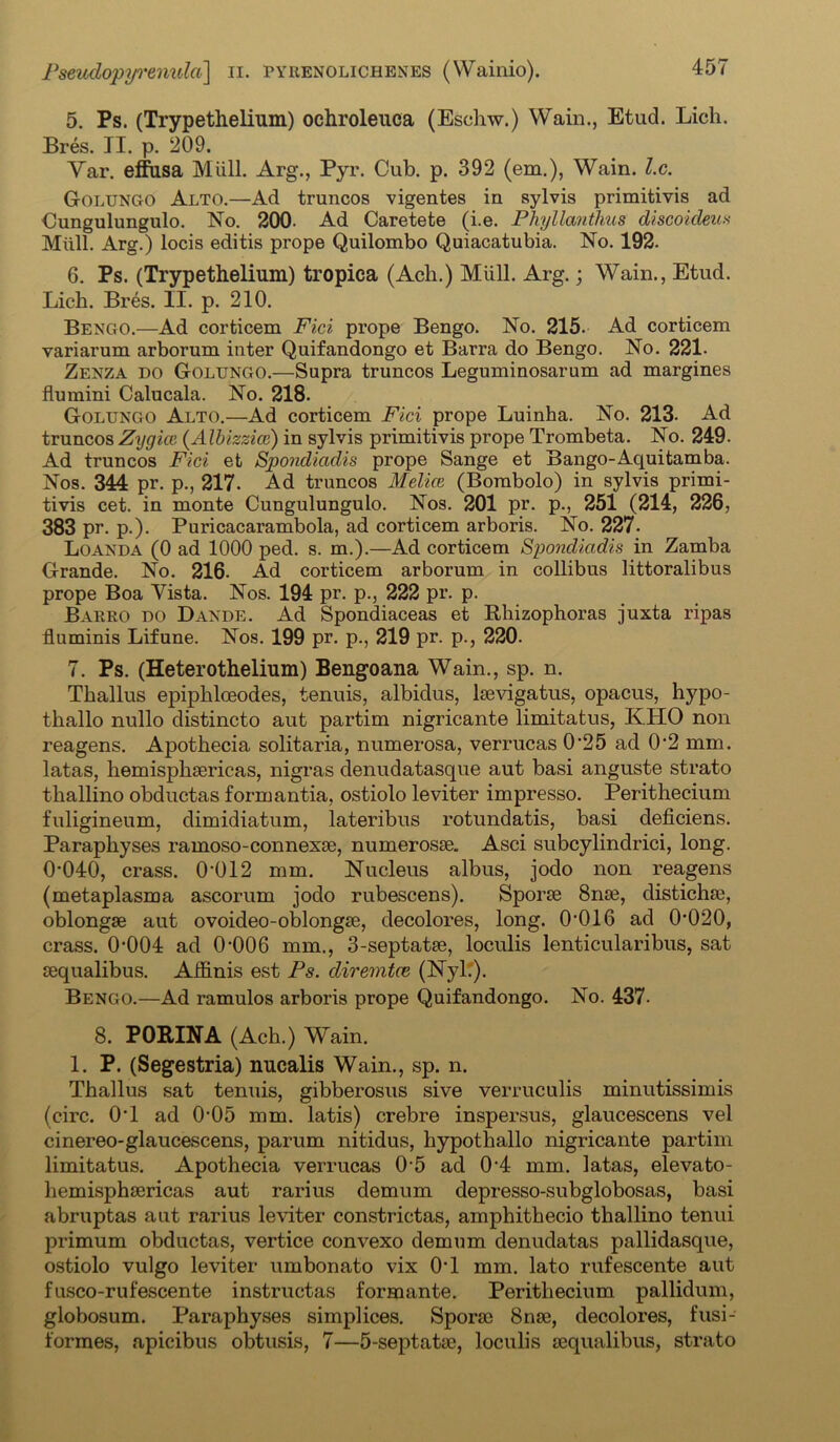 5. Ps. (Trypethelium) ochroleuca (Eschw.) Wain., Etud. Lich. Bres. II. p. 209. Yar. effusa Miill. Arg., Pyr. Cub. p. 392 (em.), Wain. l.c. Golungo Alto.—Ad truncos vigentes in sylvis primitivis ad Cungulungulo. No. 200. Ad Caretete (i.e. Phyllanthus discoideus Miill. Arg.) locis editis prope Quilombo Quiacatubia. No. 192. 6. Ps. (Trypethelium) tropica (Acli.) Miill. Arg.; Wain., Etud. Lich. Bres. II. p. 210. Bengo.—Ad corticem Fici prope Bengo. No. 215. Ad corticem variarum arborum inter Quifandongo et Barra do Bengo. No. 221- Zenza do Golungo.—Supra truncos Leguminosarum ad margines flumini Calucala. No. 218. Golungo Alto.—Ad corticem Fici prope Luinha. No. 213. Ad truncos Zygicc (Albizzicc) in sylvis primitivis prope Trombeta. No. 249. Ad truncos Fici et Spondiadis prope Sange et Bango-Aquitamba. Nos. 344 pr. p., 217. Ad truncos Melice (Bombolo) in sylvis primi- tivis cet. in monte Cungulungulo. Nos. 201 pr. p., 251 (214, 226, 383 pr. p.). Puricacarambola, ad corticem arboris. No. 227. Loanda (0 ad 1000 ped. s. m.).—Ad corticem Spondiadis in Zamba Grande. No. 216- Ad corticem arborum in collibus littoralibus prope Boa Yista. Nos. 194 pr. p., 222 pr. p. Barro do Dande. Ad Spondiaceas et Rhizophoras juxta ripas fluminis Lifune. Nos. 199 pr. p., 219 pr. p., 220. 7. Ps. (Heterothelium) Bengoana Wain., sp. n. Thallus epiphlceodes, tenuis, albidus, ltevigatus, opacus, hypo- thallo nullo distincto aut partim nigricante limitatus, KHO non reagens. Apotkecia solitaria, numerosa, verrucas 025 ad 02 mm. latas, hemisplisericas, nigras denudatasque aut basi anguste strato thallino obductas formantia, ostiolo leviter impresso. Perithecium fuligineum, climidiatum, lateribus rotundatis, basi deficiens. Paraphyses ramoso-connexse, numerosse. Asci subcylindrici, long. 0-040, crass. 0-012 mm. Nucleus albus, jodo non reagens (metaplasma ascorum jodo rubescens). Sporse 8nse, disticlue, oblongse aut ovoideo-oblongse, decolores, long. 0-016 ad 0-020, crass. 0-004 ad 0-006 mm., 3-septatas, loculis lenticularibus, sat sequalibus. Ailinis est Ps. diremtce (Nyl.). Bengo.—Ad ramulos arboris prope Quifandongo. No. 437- 8. PORINA (Ach.) Wain. 1. P. (Segestria) nucalis Wain., sp. n. Thallus sat tenuis, gibberosus sive verruculis minutissimis (circ. 0*1 ad 0-05 mm. latis) crebre inspersus, glaucescens vel cinereo-glaucescens, parum nitidus, hypothallo nigricante partim limitatus. Apothecia verrucas 05 ad 0'4 mm. latas, elevato- hemisphsericas aut rarius demum depresso-subglobosas, basi abruptas aut rarius leviter constrictas, amphithecio thallino tenui primum obductas, vertice convexo demum denudatas pallidasque, ostiolo vulgo leviter umbonato vix 0’1 mm. lato rufescente aut fusco-rufescente instructas formante. Perithecium pallidum, globosum. Paraphyses simplices. Sporm 8nm, decolores, fusi- formes, apicibus obtusis, 7—5-septatm, loculis sequalibus, strato