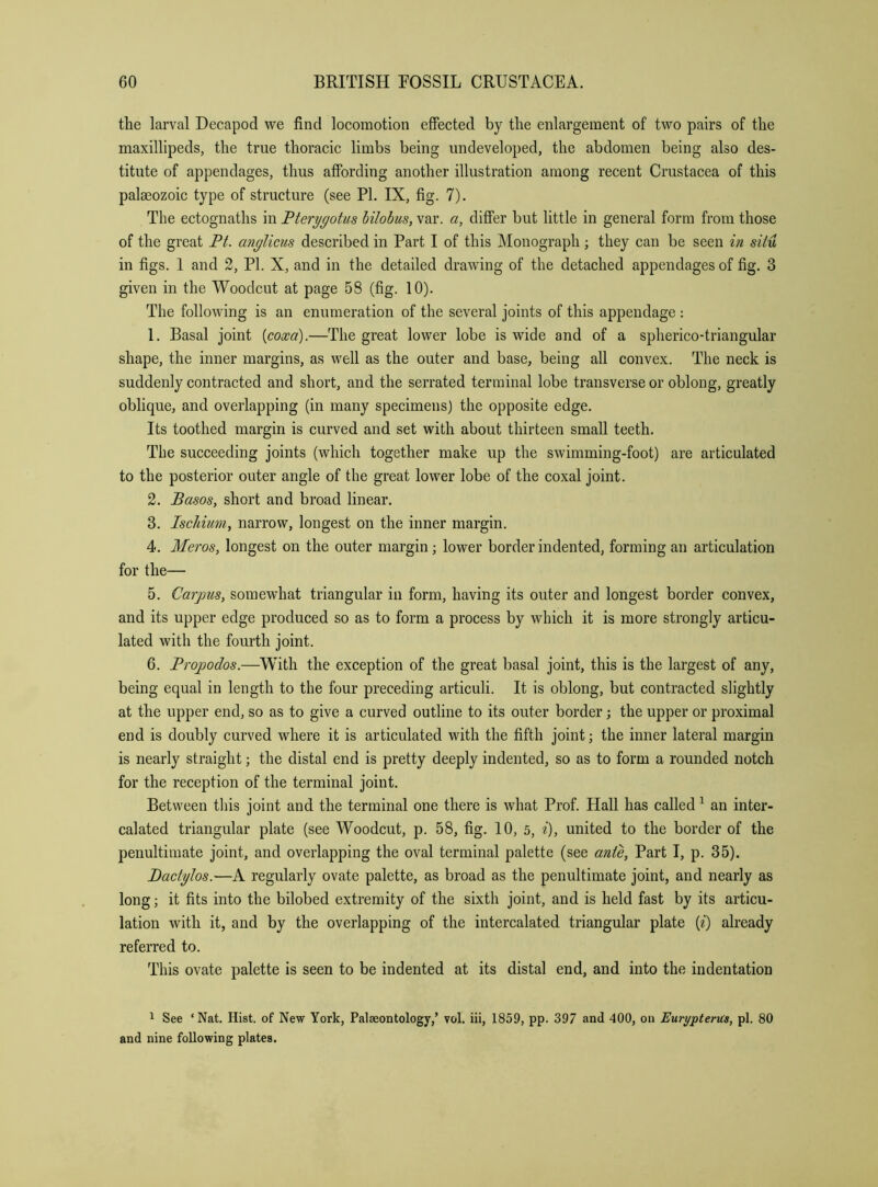 the larval Decapod we find locomotion effected by the enlargement of two pairs of the maxillipeds, the true thoracic limbs being undeveloped, the abdomen being also des- titute of appendages, thus affording another illustration among recent Crustacea of this palseozoic type of structure (see PL IX, fig. 7). The ectognaths in Fterygotus bilobus, var. a, differ but little in general form from those of the great Pt. anglicus described in Part I of this Monograph ; they can be seen in situ in figs. 1 and 2, PI. X, and in the detailed drawing of the detached appendages of fig. 3 given in the Woodcut at page 58 (fig. 10). The following is an enumeration of the several joints of this appendage : 1. Basal joint [coxa).—The great lower lobe is wide and of a spherico-triangular shape, the inner margins, as well as the outer and base, being all convex. The neck is suddenly contracted and short, and the serrated terminal lobe transverse or oblong, greatly oblique, and overlapping (in many specimens) the opposite edge. Its toothed margin is curved and set with about thirteen small teeth. The succeeding joints (which together make up the swimming-foot) are articulated to the posterior outer angle of the great lower lobe of the coxal joint. 2. Basos, short and broad linear. 3. Ischium, narrow, longest on the inner margin. 4. Meros, longest on the outer margin; lower border indented, forming an articulation for the— 5. Carpus, somewhat triangular in form, having its outer and longest border convex, and its upper edge produced so as to form a process by which it is more strongly articu- lated with the fourth joint. 6. Propodos.—With the exception of the great basal joint, this is the largest of any, being equal in length to the four preceding articuli. It is oblong, but contracted slightly at the upper end, so as to give a curved outline to its outer border; the upper or proximal end is doubly curved where it is articulated with the fifth joint; the inner lateral margin is nearly straight; the distal end is pretty deeply indented, so as to form a rounded notch for the reception of the terminal joint. Between this joint and the terminal one there is what Prof. Hall has called ^ an inter- calated triangular plate (see Woodcut, p. 58, fig. 10, 5, i), united to the border of the penultimate joint, and overlapping the oval terminal palette (see ante. Part I, p. 35). Badylos.—A regularly ovate palette, as broad as the penultimate joint, and nearly as long; it fits into the bilobed extremity of the sixth joint, and is held fast by its articu- lation with it, and by the overlapping of the intercalated triangular plate (i) already referred to. This ovate palette is seen to be indented at its distal end, and into the indentation 1 See ‘Nat. Hist, of New York, Palaeontology,’ vol. iii, 1859, pp. 397 and 400, on EurypterUs, pi. 80 and nine following plates.