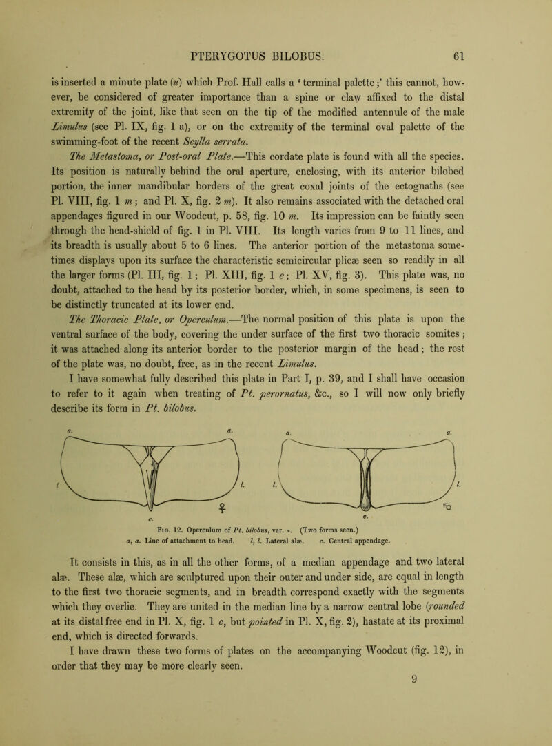 is inserted a minute plate (u) wliich Prof. Hall calls a ‘ terminal palettethis cannot, how- ever, be considered of greater importance than a spine or claw affixed to the distal extremity of the joint, like that seen on the tip of the modified antennule of the male Limulus (see PI. IX, fig. 1 a), or on the extremity of the terminal oval palette of the swimming-foot of the recent Scylla serrata. The Metastoma, or Post-oral Plate.—This cordate plate is found with all the species. Its position is naturally behind the oral aperture, enclosing, with its anterior bilobed portion, the inner mandibular borders of the great coxal joints of the ectognaths (see PI. VIII, fig. 1 m ; and PI. X, fig. 2 'tri). It also remains associated with the detached oral appendages figured in our Woodcut, p. 58, fig. 10 m. Its impression can be faintly seen through the head-shield of fig. 1 in PI. VIII. Its length varies from 9 to 11 lines, and its breadth is usually about 5 to 6 lines. The anterior portion of the metastoma some- times displays upon its surface the characteristic semicircular plicae seen so readily in all the larger forms (PI. Ill, fig. 1; PI. XIII, fig. \ e\ PI. XV, fig. 3). This plate was, no doubt, attached to the head by its posterior border, which, in some specimens, is seen to be distinctly truncated at its lower end. The Thoracic Plate, or Operculum.—The normal position of this plate is upon the ventral surface of the body, covering the under surface of the first two thoracic somites ; it was attached along its anterior border to the posterior margin of the head; the rest of the plate was, no doubt, free, as in the recent Limulus. I have somewhat fully described this plate in Part I, p. 39, and I shall have occasion to refer to it again when treating of Pt. perornatus, &c., so I will now only briefly describe its form in Pt. bilobus. Fig. 12. Operculum of Pt. lilobus, var. a. (Two forms seen.) a, a. Line of attachment to head. I, 1. Lateral al®. c. Central appendage. It consists in this, as in all the other forms, of a median appendage and two lateral ala>. These alse, which are sculptured upon their outer and under side, are equal in length to the first two thoracic segments, and in breadth correspond exactly with the segments which they overlie. They are united in the median line by a narrow central lobe {rounded at its distal free end in PI. X, fig. 1 c, hnipointed in PI. X, fig. 2), hastate at its proximal end, which is directed forwards. I have drawn these two forms of plates on the accompanying Woodcut (fig. 12), in order that they may be more clearly seen. 9