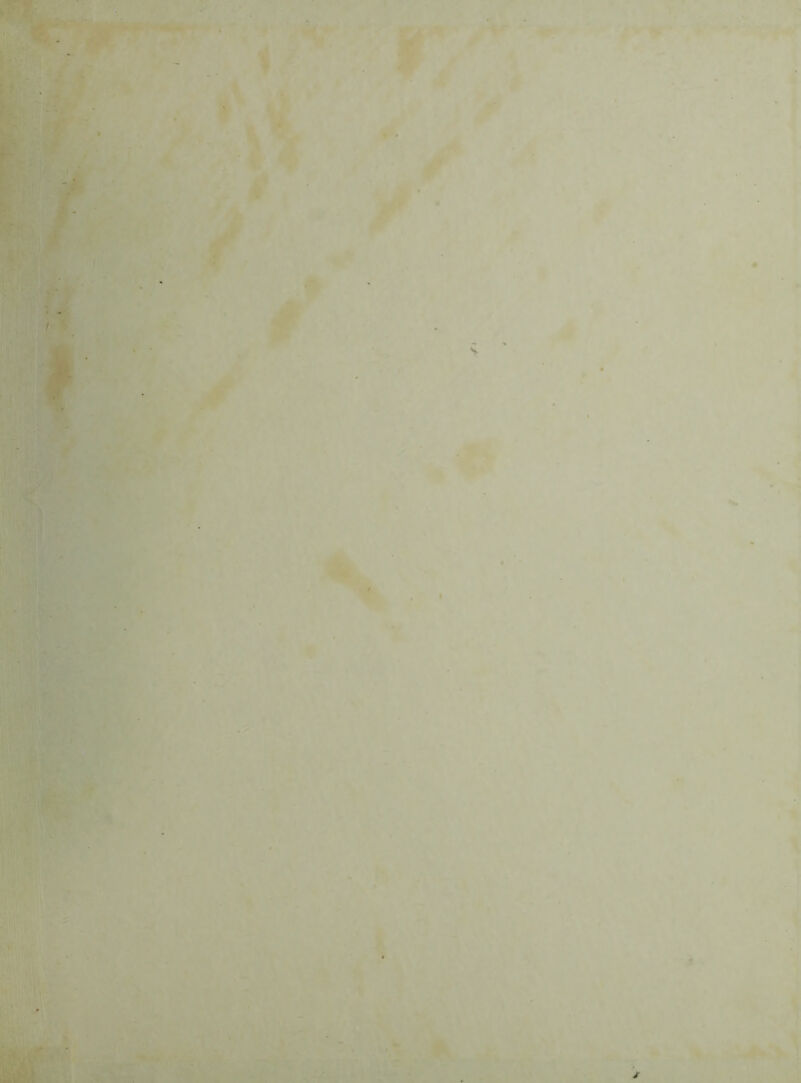 C ^ ■ 0 ** 7 % t f ■ ( t H t ■<i '. ■ v - V 9 t ^ • > 1 .« * * • . « ,•« dBi • iT *■ y t X - » f •- *■ I < y;-. fVx» ' -%r > V' »