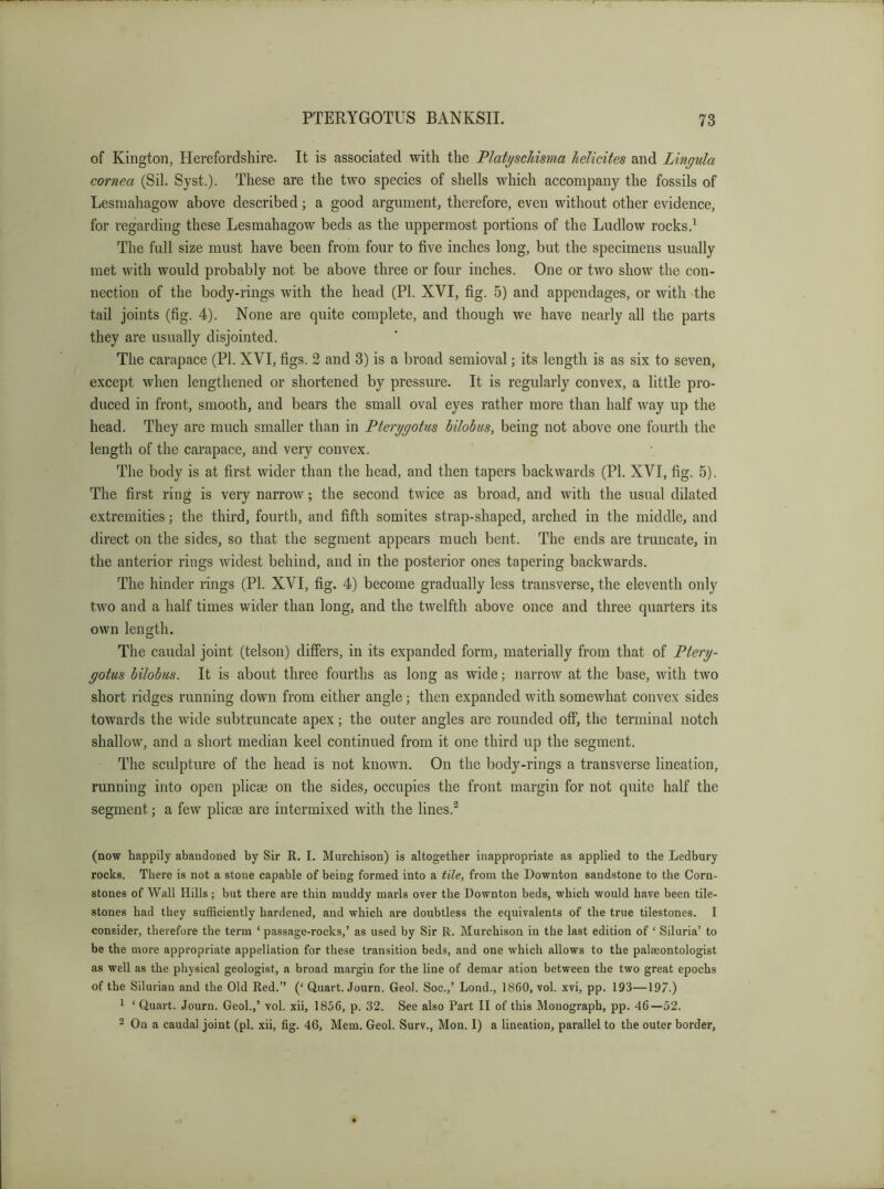 of Kington, Herefordshire. It is associated with the Platyschisma helicites and Lingula cornea (Sil. Syst.). These are the two species of shells which accompany the fossils of Lesniahagow above described; a good argument, therefore, even without other evidence, for regarding these Lesmahagow beds as the uppermost portions of the Ludlow rocks.^ The full size must have been from four to five inches long, but the specimens usually met with would probably not be above three or four inches. One or two show the con- nection of the body-rings with the head (PI. XVI, fig. 5) and appendages, or with The tail joints (fig. 4). None are quite complete, and though we have nearly all the parts they are usually disjointed. The carapace (PI. XVI, figs. 2 and 3) is a broad semioval; its length is as six to seven, except when lengthened or shortened by pressure. It is regularly convex, a little pro- duced in front, smooth, and bears the small oval eyes rather more than half way up the head. They are much smaller than in Pterggotus bilob us, being not above one fourth the length of the carapace, and very convex. The body is at first wider than the head, and then tapers backwards (PI. XVI, fig. 5). The first ring is very narrow; the second twice as broad, and with the usual dilated extremities; the third, fourth, and fifth somites strap-shaped, arched in the middle, and direct on the sides, so that the segment appears much bent. The ends are truncate, in the anterior rings widest behind, and in the posterior ones tapering backwards. The hinder rings (PL XVI, fig. 4) become gradually less transverse, the eleventh only two and a half times wider than long, and the twelfth above once and three quarters its own length. The caudal joint (telson) differs, in its expanded form, materially from that of Pterg- gotus bilobus. It is about three fourths as long as wide; narrow at the base, with two short ridges running down from either angle; then expanded with somewhat convex sides towards the wide subtruncate apex; the outer angles are rounded off, the terminal notch shallow, and a short median keel continued from it one third up the segment. The sculpture of the head is not known. On the body-rings a transverse lineation, running into open plicae on the sides, occupies the front margin for not quite half the segment; a few plicae are intermixed with the lines.® (now happily abandoned by Sir R. I. Murchison) is altogether inappropriate as applied to the Ledbury rocks. There is not a stone capable of being formed into a tile, from the Downton sandstone to the Corn- stones of Wall Hills; but there are thin muddy marls over the Downton beds, which would have been tile- stones had they sufficiently hardened, and which are doubtless the equivalents of the true tilestones. I consider, therefore the term ‘ passage-rocks,’ as used by Sir R. Murchison in the last edition of ‘ Siluria’ to be the more appropriate appellation for these transition beds, and one which allows to the palaeontologist as well as the physical geologist, a broad margin for the line of demar ation between the two great epochs of the Silurian and the Old Red.” (‘ Quart. Journ. Geol. Soc.,’ Lond., 1860, vol. xvi, pp. 193—197.) ^ ‘ Quart. Journ. Geol.,’ vol. xii, 1856, p. 32. See also Part II of this Monograph, pp. 46—52. 2 On a caudal joint (pi. xii, fig. 46, Mem. Geol. Surv., Mon. I) a lineation, parallel to the outer border,