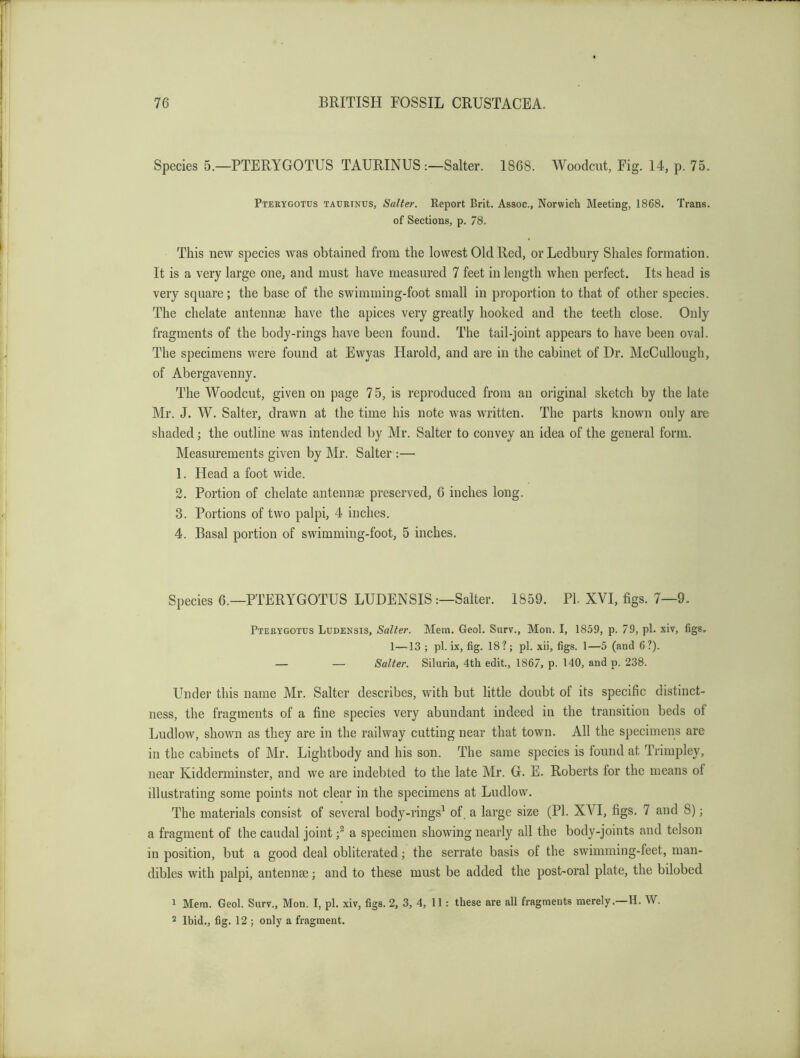 Species 5.—PTERYGOTUS TAURINUS :—Salter. 1868. Woodcut, Fig. 14, p. 75. Pterygotus taurtnus, Salter. Report Brit. Assoc., Norwich Meeting, 1868. Trans, of Sections, p. 78. This new species was obtained from the lowest Old Red, or Ledbury Shales formation. It is a very large one, and must have measured 7 feet in length when perfect. Its head is very square; the base of the swimming-foot small in proportion to that of other species. The chelate antennae have the apices very greatly hooked and the teeth close. Only fragments of the body-rings have been found. The tail-joint appears to have been oval. The specimens were found at Ewyas Harold, and are in the cabinet of Dr. McCullough, of Abergavenny. The Woodcut, given on page 7 5, is reproduced from an original sketch by the late Mr. J. W. Salter, drawn at the time his note was written. The parts known only are shaded; the outline was intended by Mr. Salter to convey an idea of the general form. Measurements given by Mr. Salter :— 1. Plead a foot wide. 2. Portion of chelate antennae preserved, 6 inches long. 3. Portions of two palpi, 4 inches. 4. Basal portion of swimming-foot, 5 inches. Species 6.—PTERYGOTUS LUDENSISSalter. 1859. PL XVI, figs. 7—9. Pterygotus Ludensis, Salter. Mem. Geol. Surv., Mon. I, 1859, p. 79, pi. xiv, figs. 1—13 ; pi. ix, fig. 18? ; pi. xii, figs. 1—5 (and 6?). — — Salter. Siluria, 4th edit., 1867, p. 140, and p. 238. Under this name Mr. Salter describes, with but little doubt of its specific distinct- ness, the fragments of a fine species very abundant indeed in the transition beds of Ludlow, shown as they are in the railway cutting near that town. All the specimens are in the cabinets of Mr. Lightbody and his son. The same species is found at Trimpley, near Kidderminster, and we are indebted to the late Mr. G. E. Roberts for the means of illustrating some points not clear in the specimens at Ludlow. The materials consist of several body-rings^ of, a large size (PI. XVI, figs. 7 and 8) j a fragment of the caudal joint a specimen showing nearly all the body-joints and telson in position, but a good deal obliterated; the serrate basis of the swimming-feet, man- dibles with palpi, antennae; and to these must be added the post-oral plate, the bilobed 1 Mem. Geol. Surv., Mon. I, pi. xiv, figs. 2, 3, 4, 11: these are all fragments merely. H. W. 2 Ibid., fig. 12 ; only a fragment.