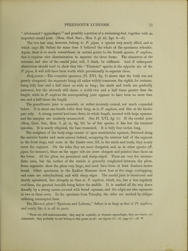 “ (abdominal ? appendages,”^ and possibly a portion of a swimming-foot, together with an imperfect caudal joint. (Mem. Geol. Surv., Mon. I, pi. xii, figs. 4—6.) The two last may, however, belong to P. gigas, a species very nearly allied, and to which (says Mr. Salter) for some time I believed the whole of the specimens referable. Again, there is so much resemblance in certain points to the Scotch species, P. anglicus, that it requires nice discrimination to separate the three forms. The characters of the antennae, and also of the caudal joint, will, I think, be sufficient. And if subsequent observation should tend to show that this “ Tilestone’’ species is the ojiposite sex of the P. gigas, it will still have been worth while provisionally to separate them. Body-joints.—The complete specimen (PI. XVI, fig. 7) shows that the body was not greatly elongated, the segments being all rather widely transverse, the eighth, for instance, being fully four and a half times as wide as long; the ninth and tenth are gradually narrower, but the eleventh still shows a width two and a half times greater than the length, while in P. anglicus the corresponding joint appears to have been no more than one and a half times the length. The penultimate joint is squareish, or rather inversely conical, not much expanded below. It is about one fourth wider than long, as in P. anglicus, and this at the hinder part only. A strong central keel runs down its whole length, covered with large squamse, and the margins are similarly ornamented. (See PL XVI, fig. 8.) If the caudal joint (Mem. Geol. Sur., Mon. I, pi. ix, fig. 18) be of this species, it has lost the terminal apiculus. It is nearly elliptical, the base truncated. It is fully four inches long. The sculpture of the body-rings consist of open semicircular squamae, flattened along the anterior border and more convex behind, occupying the anterior half of the segment in the front rings, and more in the hinder ones, till, in the ninth and tenth, they nearly cover the segment. On the sides they are more elongated, and, as in other species (P. gigas, for instance), those on the upper side are more elongate and pointed than those on the lower. All the plicae are prominent and sharp-edged. There are very few interme- diate ones, but the surface of the cuticle is generally roughened between the plicae. Some segments show the plicae very large, and must have been at least fourteen inches broad. Other specimens in the Ludlow Museum show four or five rings overlapping, and some are subcylindrical, and with sharp edges. The caudal joint is broad-oval and shortly apiculated, less abruptly so than in P. anglicus, which, too, has a less regularly oval form, the greatest breadth being beloAV the middle. It is marked all the way down dorsally by a strong carina covered with broad squamae, and the edges are also squamate in two or three rows. In the specimen from Trimpley, the sides are marked by oblique radiating interrupted lines. The Thoracic plate (“ Epistoma and Labrum,” Salter) is as large as that of Bt. anglicus, and nearly like it in all its parts. ’ These are still undeterminable ; they may be cephalic, or thoracic appendages, they are clearly not abdominal; they probably do not belong to this genus at all : see figures 25—27, page 91.—H. W.