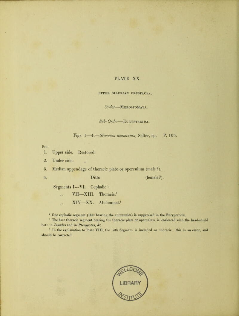UPPER SILURIAN CRUSTACEA. Order—M e ro sto m at a . Suh- Order—Eurypterida. Pigs. 1—4.—Slimonia acuminata, Salter, sp. P. 105. Fig. 1. Upper side. Restored. 2. Under side. „ 3. Median appendage of thoracic plate or operculum (male ?). 4. Ditto (female?). Segments I—VI. Cephalic.^ „ VII—XIII. Thoracic.2 „ XIV—XX. Abdominal.® ’ One cephalic segment (that bearing the antennules) is suppressed in the Eurypteridse. 2 The first thoracic segment bearing the thoracic plate or operculum is coalesced with the head-shield both in Limulus and in Pterygotus, &c. ® In the explanation to Plate VIll, the Nth Segment is included as thoracic; this is an error, and should be corrected. LIBRARY
