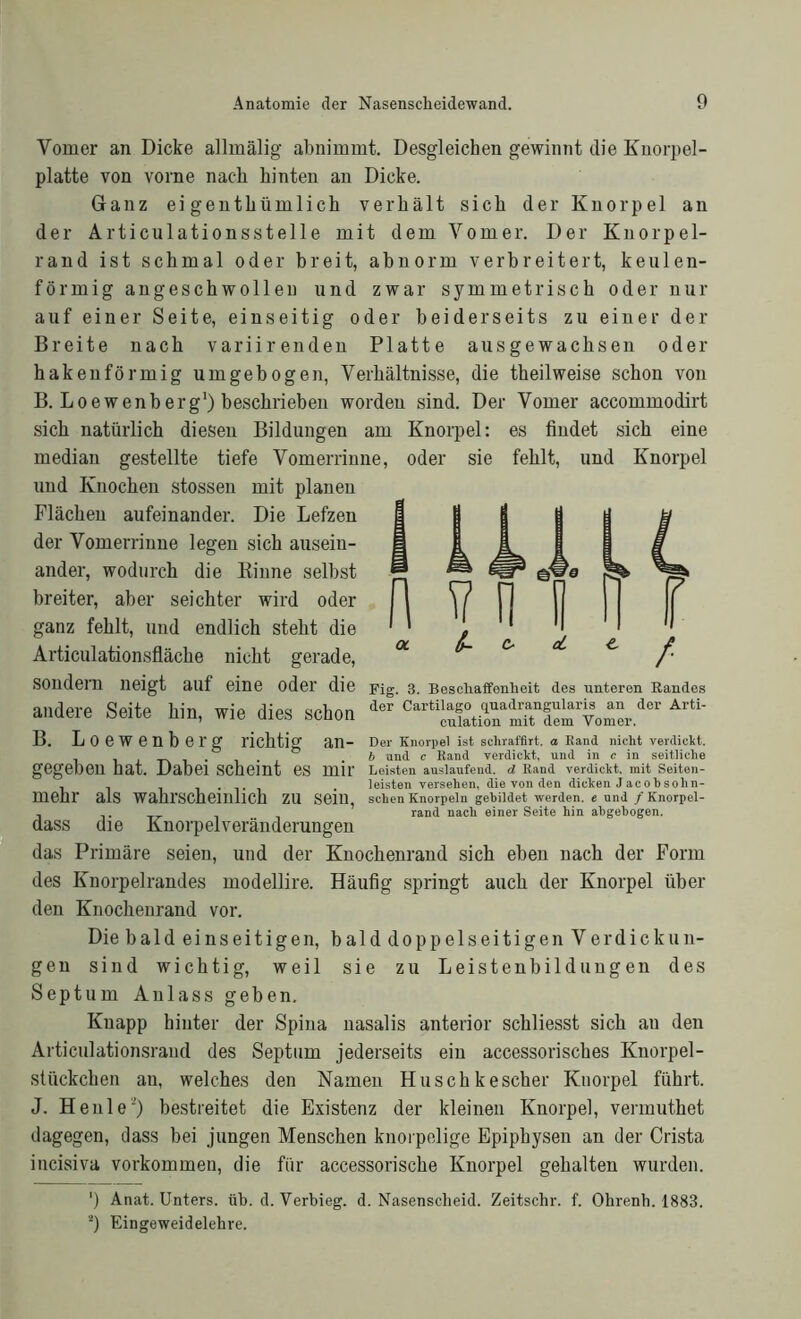 IC n mir r / Vomer an Dicke allmälig abnimmt. Desgleichen gewinnt die Knorpel- platte von vorne nach hinten an Dicke. Ganz eigenthümlich verhält sich der Knorpel an der Articulationsstelle mit dem Vomer. Der Knorpel- rand ist schmal oder breit, abnorm verbreitert, keulen- förmig angeschwolleu und zwar symmetrisch oder nur auf einer Seite, einseitig oder beiderseits zu einer der Breite nach variirenden Platte ausgewachsen oder hakenförmig umgebogen, Verhältnisse, die theilweise schon von B. Loewenberg1) beschrieben worden sind. Der Vomer accommodirt sich natürlich diesen Bildungen am Knorpel: es findet sich eine median gestellte tiefe Vomerrinne, oder sie fehlt, und Knorpel und Knochen stossen mit planen Flächen aufeinander. Die Lefzen der Vomerrinne legen sich ausein- ander, wodurch die Kinne selbst breiter, aber seichter wird oder ganz fehlt, und endlich steht die Articulationsfläche nicht gerade, Sondern neigt auf eine oder die Fig. 3. Beschaffenheit des unteren Bandes andere Seite hin, wie dies schon ÄÄT“.» “ B. Loewenberg richtig än- Der Knorpel ist schraffirt. o Rand nicht verdickt. . ° .6 und c Rand verdickt, und in c in seitliche gegeben hat. Dabei scheint es mir Leisten auslaufend. d Rand verdickt, mit Seiten- , , . leisten versehen, die von den dicken Jacob sohn- mehr als wahrscheinlich ZU sein, sehen Knorpeln gebildet werden, e und / Knorpel- , ,. „ , rand nach einer Seite hin abgebogen. dass die Knorpelveränderungen das Primäre seien, und der Knochenrand sich eben nach der Form des Knorpelrandes modellire. Häufig springt auch der Knorpel über den Knochenrand vor. Die bald einseitigen, bald doppelseitigen Verdickun- gen sind wichtig, weil sie zu Leistenbildungen des Septum Anlass geben. Knapp hinter der Spina nasalis anterior schliesst sich au den Articulationsrand des Septum jederseits ein accessorisches Knorpel- stückchen an, welches den Namen Huschkescher Knorpel führt. J. Heule“) bestreitet die Existenz der kleinen Knorpel, vermuthet dagegen, dass bei jungen Menschen knorpelige Epiphysen an der Crista incisiva Vorkommen, die für accessorische Knorpel gehalten wurden. ’) Anat. Unters, üb. d. Verbieg, d. Nasenscheid. Zeitschr. f. Ohrenh. 1883. s) Eingeweidelehre.