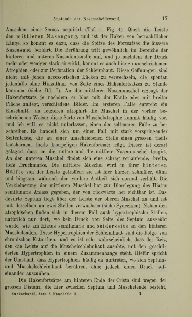 Aussehen einer Serosa acquirirt (Taf. 1, Fig. 4). Quert die Leiste den mittleren Nasengang, und ist der Haken von beträchtlicher Länge, so kommt es dazu, dass die Spitze des Fortsatzes die äussere Nasenwand berührt. Die Berührung tritt gewöhnlich im Bereiche der hinteren und unteren Nasenfontanelle auf, und je nachdem der Druck mehr oder weniger stark einwirkt, kommt es auch hier zu umschriebenen Atrophien oder zur Perforation der Schleimhaut. Diese Oeffnungen sind nicht mit jenen accessorischen Lücken zu verwechseln, die spontan jedenfalls ohne Hinzuthun von Seite eines Hakenfortsatzes zu Stande kommen (siehe Bd. I). An der mittleren Nasenmuschel erzeugt der Hakenfortsatz, je nachdem er blos mit der Kante oder mit breiter Fläche anliegt, verschiedene Bilder. Im ersteren Falle entsteht ein Einschnitt, im letzteren atrophirt die Muschel in der vorher be- schriebenen Weise; diese Sorte von Muschelatrophie kommt häufig vor, und ich will es nicht unterlassen, einen der selteneren Fälle zu be- schreiben. Es handelt sich um einen Fall mit stark vorspringender Seitenleiste, die an einer umschriebenen Stelle einen grossen, theils knöchernen, theils knorpeligen Hakenfortsatz trägt. Dieser ist derart gelagert, dass er die untere und die mittlere Nasenmuschel tangirt. An der unteren Muschel findet sich eine schräg verlaufende, breite, tiefe Druckmarke. Die mittlere Muschel wird in ihrer hinteren Hälfte von der Leiste getroffen; sie ist hier kürzer, schmäler, dünn und biegsam, während der vordere Antheil sich normal verhält. Die Verkleinerung der mittleren Muschel hat zur Blosslegung des Hiatus semilunaris Anlass gegeben, der von rückwärts her sichtbar ist. Das deviirte Septum liegt über der Leiste der oberen Muschel an und ist mit derselben an zwei Stellen verwachsen (siehe Synechien). Neben den atrophischen finden sich in diesem Fall auch hypertrophische Stellen, natürlich nur dort, wo kein Druck von Seite des Septum ausgeübt wurde, wie am Hiatus semilunaris und beiderseits an den hinteren Muschelenden. Diese Hypertrophien der Schleimhaut sind die Folge von chronischen Katarrhen, und es ist sehr wahrscheinlich, dass der Reiz, den die Leiste auf die Muschelschleimhaut ausübte, mit den geschil- derten Hypertrophien in einem Zusammenhänge steht. Hiefür spricht der Umstand, dass Hypertrophien häufig da auftreten, wo sich Septum- und Muschelschleimhaut berühren, ohne jedoch einen Druck auf- einander auszuüben. Die Hakenfortsätze am hinteren Ende der Crista sind wegen der grossen Distanz, die hier zwischen Septum und Muschelende besteht, Zackerk&ndl, Anat. d. Nasenhöhle. II. 2