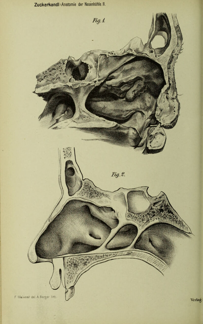 Fig.Z. Verlag I