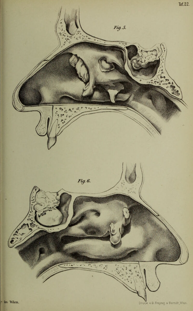 Fig.6.