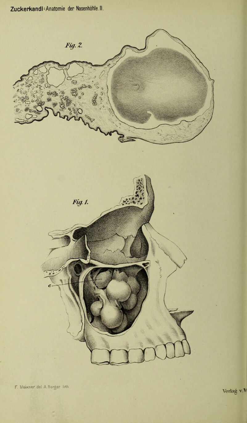 F. Meixner del A.Berger Hth Verlag v.V