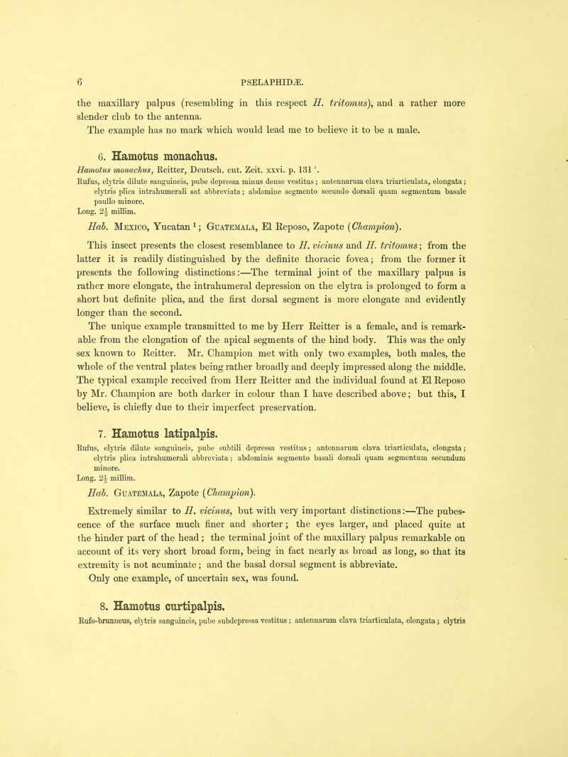 the maxillary palpus (resembling in this respect H. tritomus), and a rather more slender club to the antenna. The example has no mark which would lead me to believe it to be a male. 6. Hamotus monachus. Hamotus monachus, Reitter, Deutsch. ent. Zeit. xxvi. p. 131 Rufus, elytris dilute sanguineis, pube depressa minus dense vestitus; antennarum clava triarticulata, elongata; elytris plica intrabumerali sat abbreviata; abdomine segmento secundo dorsali quam segmentum basale paullo minore. Long. 21 millim. Hab. Mexico, Yucatan1; Guatemala, El Reposo, Zapote {Champion). This insect presents the closest resemblance to H. vicinus and II. tritomus; from the latter it is readily distinguished by the definite thoracic fovea; from the former it presents the following distinctions:—'The terminal joint of the maxillary palpus is rather more elongate, the intrahumeral depression on the elytra is prolonged to form a short but definite plica, and the first dorsal segment is more elongate and evidently longer than the second. The unique example transmitted to me by Herr Reitter is a female, and is remark- able from the elongation of the apical segments of the hind body. This was the only sex known to Reitter. Mr. Champion met with only two examples, both males, the whole of the ventral plates being rather broadly and deeply impressed along the middle. The typical example received from Herr Reitter and the individual found at El Reposo by Mr. Champion are both darker in colour than I have described above; but this, I believe, is chiefly due to their imperfect preservation. 7. Hamotus latipalpis. Rufus, elytris dilute sanguineis, pube subtili depressa vestitus; antennarum clava triarticulata, elongata; elytris plica intrahumerali abbreviata ; abdominis segmento basali dorsali quam segmentum secundum minore. Long. 21 millim. Hab. Guatemala, Zapote {Champion). Extremely similar to H. vicinus, but with very important distinctions:—The pubes- cence of the surface much finer and shorter; the eyes larger, and placed quite at the hinder part of the head; the terminal joint of the maxillary palpus remarkable on account of its very short broad form, being in fact nearly as broad as long, so that its extremity is not acuminate; and the basal dorsal segment is abbreviate. Only one example, of uncertain sex, was found. 8. Hamotus curtipalpis. Rufo-brunneus, elytris sanguineis, pube subdepressa vestitus; antennarum clava triarticulata, elongata; elytris