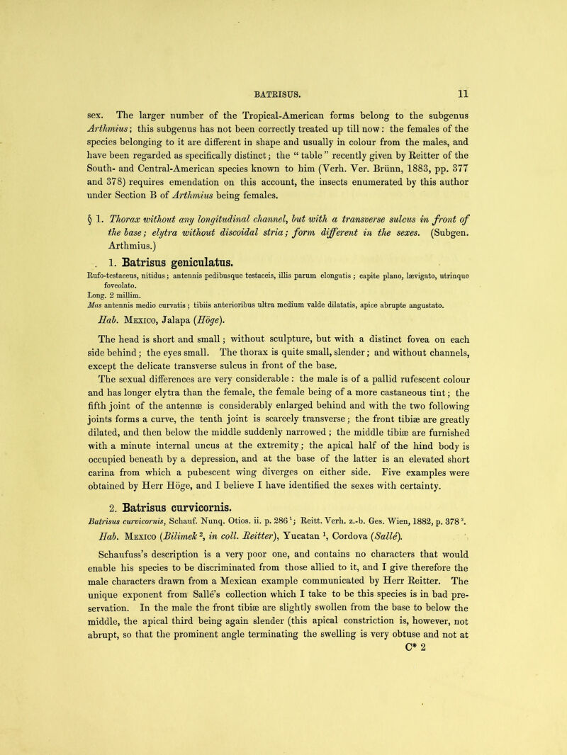 sex. The larger number of the Tropical-American forms belong to the subgenus Artlvmius; this subgenus has not been correctly treated up till now: the females of the species belonging to it are different in shape and usually in colour from the males, and have been regarded as specifically distinct; the “ table ” recently given by Reitter of the South- and Central-American species known to him (Verh. Ver. Briinn, 1883, pp. 377 and 378) requires emendation on this account, the insects enumerated by this author under Section B of Arthmius being females. § 1. Thorax without any longitudinal channel, but with a transverse sulcus in front of the base; elytra without discoidal stria; form different in the sexes. (Subgen. Arthmius.) . 1. Batrisus geniculatus. Bufo-testaceus, nitidus; antennis pedibusque testaceis, illis parum elongatis ; capite piano, lsevigato, utrinque foveolato. Long. 2 minim. Mas antennis medio curvatis; tibiis anterioribus ultra medium valde dilatatis, apice abrupte angustato. Hah. Mexico, Jalapa (Edge). The head is short and small; without sculpture, but with a distinct fovea on each side behind; the eyes small. The thorax is quite small, slender; and without channels, except the delicate transverse sulcus in front of the base. The sexual differences are very considerable : the male is of a pallid rufescent colour and has longer elytra than the female, the female being of a more castaneous tint; the fifth joint of the antennae is considerably enlarged behind and with the two following joints forms a curve, the tenth joint is scarcely transverse; the front tibiae are greatly dilated, and then below the middle suddenly narrowed; the middle tibiae are furnished with a minute internal uncus at the extremity; the apical half of the hind body is occupied beneath by a depression, and at the base of the latter is an elevated short carina from which a pubescent wing diverges on either side. Five examples were obtained by Herr Hoge, and I believe I have identified the sexes with certainty. 2. Batrisus curvicornis. Batrisus curvicornis, Schauf. Nunq. Otios. ii. p. 286 Reitt. Verh. z.-b. Ges. Wien, 1882, p. 3782. Hah. Mexico (Bilimek 2, in coll. Beitter), Yucatan 1, Cordova (Salle). Schaufuss’s description is a very poor one, and contains no characters that would enable his species to be discriminated from those allied to it, and I give therefore the male characters drawn from a Mexican example communicated by Herr Reitter. The unique exponent from Salle’s collection which I take to be this species is in bad pre- servation. In the male the front tibiae are slightly swollen from the base to below the middle, the apical third being again slender (this apical constriction is, however, not abrupt, so that the prominent angle terminating the swelling is very obtuse and not at C* 2