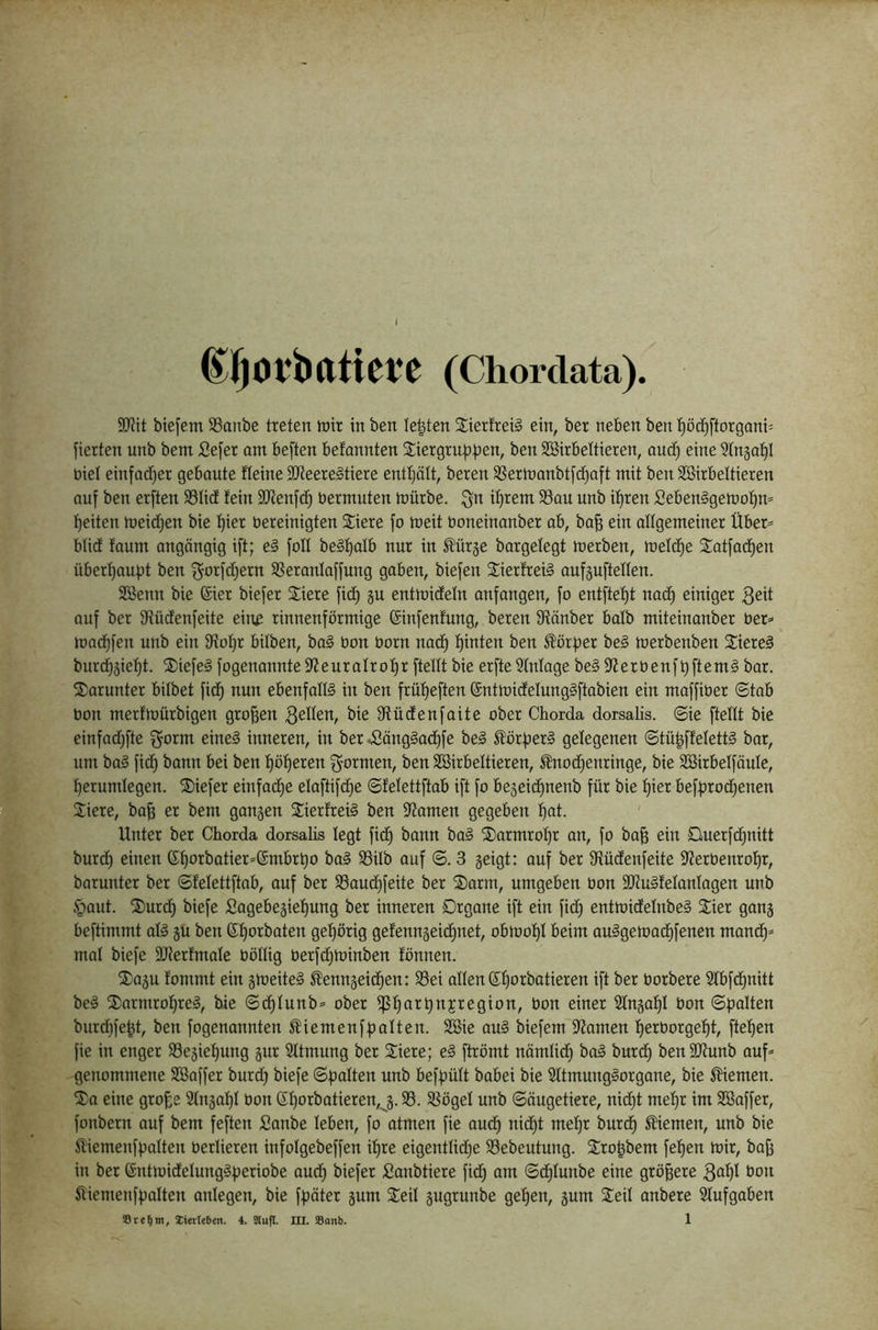 (^|)Ol*batiet:e (Chordata). 9[Rit biefem SSanbe treten mir in ben lebten 2ierfrei§ ein, ber neben ben ]^öd^ftorgani= fierten unb bem Sefer am beften befannten 2:iergru|3|5en, ben 3öirbettieren, quc^ eine ^tnga^I biel einfad)er gebaute fleine SJteere^tiere entljält, beren SSermanbtftfjaft mit ben Söirbeltieren auf ben erften S3Iicf fein SiJienfcf) öermuten mürbe. Qn i^rem S3au unb if)ren Seben§gemof)m t)eiten meid)en bie l^ier bereinigten Siere fo meit boneinanber ab, ba^ ein allgemeiner Über^ blid faum angöngig ift; e§ foll be§f)alb nur in Mr§e bargefegt merben, mefdie 3:atfad^en überf)auf;t ben ^orfd^ern SSeranfaffung gaben, biefen 2ierfrei§ aufgufteffen. Senn bie (Sier biefer Siere fid) §u entmidefn anfangen, fo entftef)t nac^ einiger 3eit auf ber Stüdenfeite einß rinnenförmige ©nfenfung, beren 9iänber balb miteinanber ber=' mad)fen unb ein Sffofjr bifben, ba§ bon born nad) f)inten ben ^örf>er be§ merbenben 2iere§ burd)3ie^t. Wiefel fogenannte9feurafrof)r ftelftbie erfte3fnfage beSffferbenftiftemg bar. darunter bifbet fid) nun ebenfalls in ben frül^eften (SntmidelungSftabien ein maffiber ©tab bon rnerfmürbigen großen 3^Men, bie Otüdenfaite ober Chorda dorsalis. ©ie ftelft bie einfad)fte f^orm eine§ inneren, in ber s8äng§ad)fe bei H!örf)erl gefegenen ©tü^ffefettl bar, um bal fid) bann bei ben f)ö^eren f^ormen, ben Sirbeftieren, ^odjenringe, bie Sirbefföufe, f)erumfegen. ®iefer einfad^e efaftifd^e ©fefettftab ift fo be3eid)nenb für bie f)ier beffjrod^enen Jiere, bafe er bem gangen Sierfreil ben 9?amen gegeben f)at. Unter ber Chorda dorsalis fegt fid^ bann bal S)armrof)r an, fo ba^ ein £luerfd)nitt burd) einen (Sf)orbatier*(Smbrt)o bal SSifb auf ©. 3 geigt: auf ber Üiüdenfeite 9?erbenrof)r, barunter ber ©fefettftab, auf ber 33aud)feite ber ®arm, umgeben bon SfRulfefanfagen unb §aut. ®urd) biefe Sogebegief)ung ber inneren Organe ift ein fid) entmidefnbel Sier gang beftimmt afl gu ben (Sf)orbaten gef)örig gefenngeid)net, obmof)f beim aulgemad^fenen maf biefe 3}ierfmafe böffig berfd^minben fönnen. ®agu fommt ein gmeitel ^enngeid)en: Bei affen ©fjorbatieren ift ber borbere 2fbfd)nitt bei ®armro]^rel, bie ©d)funb= ober ^f)art)njregion, bon einer 2fnga^f bon ©fjaften burd)fe^t, ben fogenannten ^iemenffjaften. Sie aul biefem 9?amen f)erborgef)t, fielen fie in enger Begief)ung gur Sftmung bet Siete; el ftrömt nämfid) bal burd) benSJfunb auf* genommene Soffer burd) biefe ©Ratten unb beff)üft babei bie Sftmunglorgane, bie fernen. Sa eine grof;e 2fnga^f bon 6f)orbatieren,j. B. Bögef unb ©öugetiere, nic^t mef)t im Soffer, fonbern auf bem feften fianbe feben, fo atmen fie aud) nid)t mel^r burd) Kiemen, unb bie Siemenfüaften berfieren infofgebeffen if)re eigentfidje Bebeutung. Sro^bem fef)en mir, baji in ber ©ntmidefunglperiobe aud^ biefer Sanbtiere fid) am ©df)funbe eine größere bon Stiemenffjoften anfegen, bie ff)öter gum Seif gugrunbe gef)en, gum Seif anbere 2fufgoben