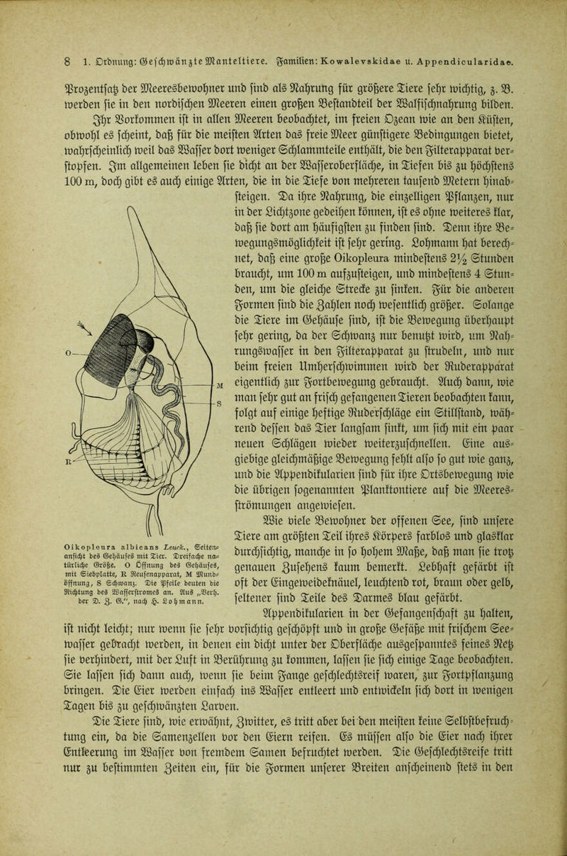 ^rojentfa^ ber SD^eereSbetro^ner unb finb d§ 9Ja:^rung für größere Siere fel}r lütc^tig, 5.33. inerben fte in ben norbifcfien 9JJeeren einen großen SSeftonbieil ber 2öalfifd)naf)rung bilben. 3f)r 33orfommen ift in oHen SCReeren beobacE)tet, int freien Dgeon tnie an ben tüften, obnjoi)! e§ fcfieint, ba^ für bie meiften 2trten ba§ freie SDZeer günftigere SSebingungen bietet, ii)a'f)rfcE)einUcb) föeil ba§ Sßaffer bort weniger 6ct)Iammteile entf)ält, bie ben f^iWerafDfjarat ber= ftof)fen. allgemeinen leben fie bicf)t an ber SSafferoberflädje, in Siefen bi§ gu l)öd)ften§ 100 m, bod) gibt el and; einige SIrten, bie in bie Siefe bon mel)reren taufenb SJtetern l)inab= fteigen. S)a il)re ??al)rung, bie eingelligen ißflangen, nur in ber Sidjtgone gebeil)en fönnen, ift e§ ol)ne meitereS flar, ba^ fie bort am l^äufigften gu finben finb. Senn i^re SSe* megung§möglid)feit ift feljr gering. Sd^mann l)at bered)- net, baß eine große Oikopleura minbeftenS 2f4 ©tunben braucht, um 100 m aufgufteigen, unb minbeftenS 4 ©tun- ben, um bie gleid)e ©trede gu finfen. gür bie anberen formen finb bie nod) mefentlid) größer, ©olange bie Siere im ©eßöufe finb, ift bie 33eibegung überßaußt feßr gering, ba ber ©djmang nur benußt mirb, um 5kol}- rnngStoaffer in ben ^-ilteroßßarot gu ftrubeln, unb nur beim freien Umßerfdüoimmen mirb ber 9iuberoßf)drat eigentlid) gur gortbemegung gebrandet. Sind) bonn, mie mon feßr gut on frifd) gefangenen Sieren beobad)ten fann, folgt auf einige ßeftige 9^uberfd)löge ein ©tillftanb, möß- renb beffen ba§ Sier langfam fintt, um fid) mit ein ßaar neuen ©d)lögen mieber meitergnfdjuellen. Gine aus- giebige gleid)mäßige SSemegung feßlt alfo fo gut mie gang, unb bie 21f)ßenbifularien finb für ißre DrtSbemegung mie bie übrigen fogenannten i|51an!tontiere auf bie 3[Reere§- ftrömungen angemiefen. SBie biele SSemoßner ber offenen ©ee, finb nufere Siere am größten Seil ißreS ^lörßerS farblos unb glaSflar burd)fid)tig, mancße in fo ßoßem SDtaße, baß man fie troß genauen ^ufeßenS faum bemert't. Sebßaft geförbt ift oft ber Gingemeibefnäuel, leudjtenb rot, braun ober gelb, feltener finb Seile beS SormeS blou geförbt. Slßßenbit'ularien in ber @efangenfd)aft gu ßalten, ift nid}t leicßt; nur menn fie feßr üorfidjtig gefd)ößft unb in große ®eföße mit frifcßem ©ee- maffer gebradjt merben, in benen ein bid)t unter ber Dberflöcße auSgefßannteS feines 9?eß fie öerßinbert, mit ber Suft in 33erüßrung gu fommen, laffen fie fi(ß einige Soge beobodjten. ©ie laffen fid) bann aucß, menn fie beim ^ange gefcßledjtSreif maren, gur f^ortßftongung bringen. Sie Gier merben einfad) inS 32ßaffer entleert unb entmideln fid) bort in menigen Sogen bis gn gefd)möngten Sorben. Sie Siere finb, mie ermößnt, 3toitter, eS tritt aber bei ben meiften feine ©elbftbefrud)- tung ein, bo bie ©amengellen bor ben Giern reifen. GS müffen alfo bie Gier nod) ißrer Gntleerung im SBaffer bon frembem ©amen befrud)tet merben. Sie @efd)led)tSreife tritt nur gu beftimmten 3eiten ein, für bie formen nuferer SSreiten anfd)einenb ftetS in ben Oikopleura albicans Leuclc., £dteip= anfic^t beä ©e^äufeä mit Xiev. ®reifnc^e nos türlic^e ©röge. O Öffnung be^ ©efjäufeä, mit Siebplattc, R Sieufenapparat, M OTunb« Öffnung, S Si^roonj. Sie spfeite beuten bie Stiftung beä SBafferftvomeä an. S(u§ „SSer^. ber S. 3- ®./ uac^ $. Sofimann.