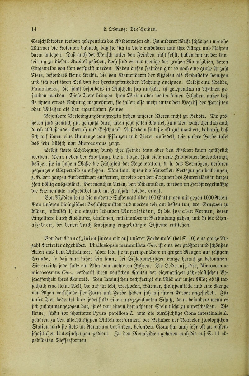 ©eefdjilbfröten treiben gelegentli^ bie 21f§ibienra[en ob. ^n onberer SSeife fdjöbigen niond)e SBürmer bie Kolonien boburc^, bo^ [ie fic^ in biefe einbo^ren nnb il)re ©önge unb Sfiöljren borin onlegen. ®o^ ouc^ ber SUienfc^ unter ben ^einben nidjt fe^It, :^oben trir in ber 6in= leitung gu biefem ^o|5iteI ge[e!^en, bod^ finb e§ nur trenige ber großen StJionofgibien, bereu Gingetreibe bon i^m berf|3ei[t trerben. Sieben biefen g-einben gibt e§ nod) eine gro^e Stngo’^l Sliere, befonberS deine ^ebfe, bie ben ^entenborm ber Stfgibien ol§ S8ot)n[tätte benu^en unb fic^ bort i'^ren Seit bon ber t)ereingeftrubeüen S'Jo^^rung aneignen, ©elbft eine S?robbe, Pinnotheres, bie [onft befonberS in Slinfc^eln fid) aufljölt, ift getegentlid; in Stfgibien ge= funben trorben. ®iefe Stiere bringen i^ren SBirten ober toeiter feinen ©djoben, ou^er bo& fie i^nen ettroS 9Jof)rung tregne^men, fie fallen oifo mef)r unter ben SSegriff ber i|?arofiten ober SOdteffer ol§ ber eigentlidien ^einbe. SSefonbere SSerteibigungSmo^regeln ftel)en unferen Stieren nid)t gu ©ebote. S)ie grö= geren finb giemlid) gut gefd)ü^t burd) if)ren fel)r feften SiJiontel, gum Seil tooI}rfd;einlid) oud^ burd) obfto^enben ©eruc^ unb ©efdintod. 21u|erbem finb fie oft gut moSfiert, boburd), bo^ fid) auf il)nen eine Unmenge bon ißflangen unb Sieren onfiebelt, trie unfere garbentofel ba§ fel)r l)übfc^ bon Microcosmus geigt. ©elbft ftorfe ©d)äbigung burc^ if)re geinbe fonn aber ben Slfgibien faum gefäljrlid) trerben. Senn neben ber ^nofftung, bie in furger 3eit biele neue ^obioibuen l)erOorbringt, befi^en fie in f)ol)em SSJta^e bie f^öf)igfeit ber Ütegenerotion, b. f). ba§ SSermögen, berloren gegangene ^örfterteile gu erfe^en. SJtan fonn il)nen bie fc^trerften SSerle^ungen beibringen, g. 33. ben gangen SSorberförfter entfernen, er trirb bon ben Drgonen be§ §interleibe§ in furger 3eit böllig auggebilbet. S3ei mandien Slrten, ben Sibemniben, trerben im §erbft regelmö^ig bie £iemenfäde rüdgebilbet unb im g'rül}|of)r trieber erfetit. 3Son 21fgibien fennt bie moberne ©bftematif über 100 ©ottungen mit gegen 1000 Slrten. 33on unferen biologifd}en ©efid^itgftunften au§ trerben trir am beften tun, brei ©rufiften gu bilben, uämlid) 1) bie eiugeln lebenben 3)lonafgibieu, 2) bie fogiolen f^ormen, bereu Gingeltiere burd) Slugläufer, ©tolonen, miteinanber in SSerbinbung ftef)en, unb 3) bie afgibien, bei benen burd) ^nofftung euggebröngte entftef)en. 3Son ben Sllonafgibien finben trir auf unferer f^orbentafel (bei ©. 10) eine gange Slm gaf)l SSertreter abgebilbet. PhaUusiopsis mammillata Cuv. ift eine ber größten unb fdjönften Slrten oug bem Sldttelmeer. Sort lebt fie in geringer Siefe in großen SJlengen ouf felfigem ©runbe, fo bo^ mon fidier fein fonn, bei ©djleppnet^gügen einige l)erouf gu befommen. ©ie erreid)t febenfallg ein Sllter bon mel)reren ßeberafgibie, Microcosmus microcosmus Cuv., berbonft il)ren beutfd)en Siamen ber eigenortigen gäl) = elaftifdjen 35e- fd)offenl)eit if)reg SJlantelg. Sen lateinifd)en redjtfertigt ein 331id auf unfer 33ilb; eg ift tat= fäd)lid) eine deine SBelt, bie ouf if)r lebt, ©eepoden, SKürmer, i]ßolt)peuftöde unb eine Sllenge bon Sllgen berfdjiebenfter ^orm unb f^orbe I)oben fid) ouf iprem 51örper ongefiebelt. gür unfer Sier bebeutet bieg jebenfollg einen ouggegeid)neten ©d)up, benn befonberg trenn eg fid) gufammengegogen pat, ift eg bon einem betrad)fenen ©tein nid)t gu unterfd)eiben. Sie deine, fd)ön rot fd)ottierte Pyura papillosaL. unb bie burd)fid)tige Ciona intestinalis Z-. gehören gu ben allerpöufigften SOdttelmeerformen; ber 35efud)er ber SJeopeler 3oologifd)en ©tation trirb fie ftetg im Slquorium borfinben, befonberg Ciona pat aud) fepr oft gu triffen* fd)oftlid)en Unterfud)ungen gebient. 3^ ben SJlonafgibien gehören oud) bie auf ©. 11 ob- gebilbeten Sieffeeformen.