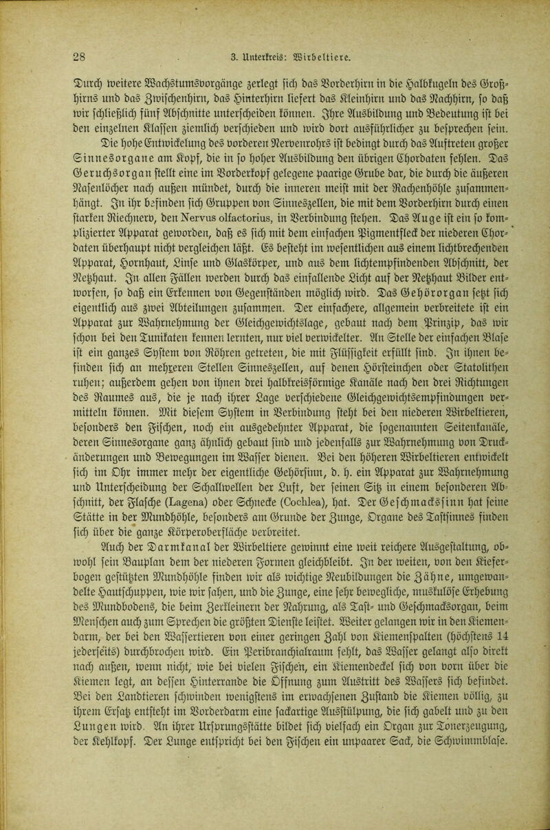 tüeitere SBod)§tuTn§t)orgänge jerlegt ficf) ba§ S^orber'^irn in bie ^albfugeln be» ©rofi* :^irn§ unb ba§ ba§ §interl}trn liefert bo§ 0ein:^irn unb ba§ ??atf)'f)itn, fo ba^ wir fd^tiepd) fünf Slbfdjnitte unterfdjeiben fönnen. 3^re StuSbitbung unb 93ebeutung ift bei ben einseinen klaffen gietnlidj berfdjieben unb wirb bort au§fül)rlic^er gu befpred^en fein. S)ie I)oI)e ©ntwidelung be§ borberen iRerbenro^rS ift bebingt burd) ba§ Sluftreten großer ©inneSorgane am 5!of3f, bie in fo f)oI)er SluSbilbung ben übrigen fö^orbaten fef)Ien. ®a» ©erud)§organ ftellt eine im SSorber!of)f gelegene fjoarige ©rube bar, bie burd) bie äußeren S'dafenlödjer nadj au^en münbet, burd) bie inneren meift mit ber 9^adjen'^öI)Ie gufammen^ f)ängt. 3'^ befinben fid) ©rul^fjen bon ©inne§sellen, bie mit bem 9SorberI)irn burd) einen ftarfen 9ftie(^nerb, ben Nervus olfactorius, in SSerbinbung ftel}en. Stuge ift ein fo fom= ).ilisierter 2If3fiarat geworben, ba^ el fid) mit bem einfo^en ißigmentfied ber nieberen ®f)or^ baten übert)au|)t nid)t bergleid)en lü^t. beftef)t im wefentlidjen au§ einem Iid)tbred)enben Slgf^arat, §ornI)aut, Sinfe unb ©la§förf)er, unb au§ bem Iid)tem)5finbenben 2lbfd)nitt, ber 92e|^aut. S'ällen werben burd) ba§ einfallenbe Sidjt auf ber 9'Je|I)aut 33ilber ent* worfen, fo ba^ ein ©rfennen bon ©egenftänben möglid) wirb. ®al ©eI)örorgan fe^t fic^ eigentlid) au§ gwei SIbteilungen gufammen. S)er einfod)ere, allgemein berbreitete ift ein 2(|)f3arat gur 2Saf)rneI)mung ber ©Ieid)gewid)t§Iage, gebaut uad) bem Ißringig, ba§ wir fdjon bei ben Sunifaten fennen lernten, nur biel berwidelter. 2In ©teile ber einfadjen SSIafe ift ein gange§ ©t)ftem bon 9ftöl)ren getreten, bie mit ^lüffigfeit erfüllt finb. 3^^ finben fid) an meI)]Leren ©teilen ©inne§gellen, auf benen §örfteind)en ober ©tatoIitI)en rul)eu; au^erbem gel)en bon il)nen brei I)olbfrei§förmige Kanäle nad) ben brei 9?id)tungen be§ 9toume§ au§, bie je nad) it)rer Sage berfd)iebene ©Ieid)gewid)t§emfjfinbungen ber* mittein fönnen. SJtit biefem ©t)ftem in SSerbinbung fielet bei ben nieberen Söirbeltieren, befonberS ben ^ifd)en, nod) ein au§gebel)nter 2If)f3arat, bie fogenannten ©eitenfaniile, bereu ©inneSorgane gang äfmiid) gebaut finb unb febenfallg gut SBaf)rneI)mung bon ®rud* änberungen unb ^Bewegungen im SBaffer bienen. 23ei ben I)ö:^eren Söirbeltieren entwidelt fid) im 0I)r immer mel)r ber eigentlid)e ©e^örfinn, b. f). ein 9I|)f)orot gut 2öal)rnel)mung unb Unterfd)eibung ber ©d)allwellen ber Suft, ber feinen ©i| in einem befonberen 2Ib* fc^nitt, ber ^lafc^e (Lagena) ober ©d)itede (Coclilea), I)ot. ®er ©efd)mad§finn I)ot feine ©tätte in ber 2JtunbI)ö^Ie, befonberS am ©runbe ber örgane be§ 2:aftfinne§ finben fici^ über bie gange ^ör|)eroberfIöd)e beroreitet. 2Iuc^ ber ©armfanal ber SBirbeltiere gewinnt eine weit reid)ere SluSgeftaltung, ob* woI)I fein S3ouf)Ian bem ber nieberen formen gleid)bleibt. 3^ ber weiten, bon ben SHefer* bogen geftü^ten 2JiunbI)öI)le finben wir al§ wid)tige Sieubilbungen bie 3öf)ue, umgeWon* beite §nutfd)uf)f)en. Wie Wir fal)en, unb bie ßunge, eine fef)r beweglid)e, muSfuIöfe ßrl)ebung be§ lütunbbobenS, bie beim ^ei'^teinern ber 9^al)rung, al§ Saft* unb ©efd)mad§orgon, beim 9Jtenfd)en and) gum ©))red)en bie grölen Sienfte leiftet. Söeiter gelangen wir in ben Stiemen* barm, ber bei ben Söaffertieren bon einer geringen bon ^iemenff)alten (f)öd)ftenl 14 feberfeit§) burd)brod)en wirb, ©in Ißeribrand)ialraum fel)lt, ba§ Söaffer gelangt aifo bireft nad) au^en, wenn nid)t, wie bei bielen ^ifd)en, ein Stiemenbedel fid) bon born über bie Sliemen legt, an beffen §interranbe bie Öffnung gum 2Iu§tritt be§ 3Baffer§ fid) befinbet. SSei ben Sanbtieren fd)Winben wenigftenS im erwad)fenen 3uftanb bie Stiemen böllig, gu il)rem ©rfa^ entftel)t im SSorberbarm eine fadartige 21u§ftülfjung, bie fic^ gabelt unb gu ben Sungen wirb. 2In il)rer UrfbrungSftätte bilbet fid) bielfad) ein Drgan gut Sonergeugung, ber ßeI)lfo4)f. S)er Sunge entfprid)t bei ben cib unf^aarer ©ad, bie ©d)wimmblafe.