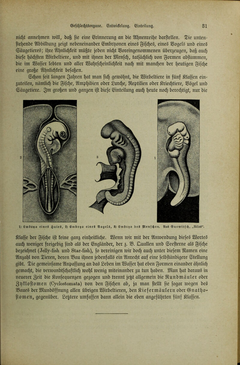 ©efc^tec^tiorgane. Gnttoidelurg. ©inteitung. 81 nidjt annel}men tüUI, bo^ fie eine (Erinnerung an bie Sinnenreize borftellen. ®ie unten» [teZenbe Stbbilbung geigt nebeneinanber ©mbrZonen einel ^ifcZeS, eine§ SSogetg unb eine§ ©äugetiereä; iZre mü^te jeben nicZt SSoreingenommenen übergeugen, ba^ qu(Z biefe ZötZften Söirbettiere, unb mit iZnen ber SJtenftf), tatfäcZIid^ bon formen obftammen, bie im SBaffer lebten unb alter 2BaZrf(ZeinIi(Zteit nacZ mit mancZen ber Zeutigen §if(Ze eine gro|e StZtdidjfeit befaßen. ©d^on feit taugen Zat man ficZ gemöZnt, bie SBirbettiere in fünf Maffen ein» guteiten, nämticZ bie ^ifcZe, StmzZi&ien ober SurdZe, tRe|)titien ober ^iecZtiere, SSöget unb 6öngetiere. Qbt Q^ofeen unb gangen ift biefe (Einteitung aucZ Z^bte nodZ beredZtigt, nur bie 1) embt^o «iiteä ^aieS, 2) Embryo eines SBogelS, S) Embfpo beS JRenft^en. S£uS ©urroitfd^, „SUtaS. Sttaffe ber ^ifdZe ift feine gang einZeittidZe. Söenn mir mit ber Stnmenbung biefeS SßorteS audZ meniger freigebig finb atl ber (Engtänber, ber g. S3. Ouatten unb 6eefterne at§ gifcZe begeidZnet (Jelly-fish unb Star-fish), fo bereinigen mir bodZ aucZ unter biefem ^tarnen eine StngaZt bon Sieren, bereu S3au iZnen jebenfatB ein StnredZt auf eine fetbftänbigere ©tettung gibt. ®ie gemeinfame Stn|)affung an ba§ Seben im SBaffer Zat eben formen einanber öZntidZ gemadZt, bie bermanbtfdZafttidZ moZt menig miteinanber gu tun Zaben. 9}tan Zat barau§ in neuerer 3eit bie ^onfequengen gegogen unb trennt je|t attgemein bie Ütunbmäuter ober 3Zttoftomen (Cyclostomata) bon ben ^ifctjen ab, ja man ftettt fie fogar megen beä S3nue§ ber fOtunböffnung atten übrigen SBirbettieren, .ben ^iefermäutern ober (StnatZo* ft0men, gegenüber. Seljtere umfaffen bann attein bie eben angefüZrten fünf S^taffen.