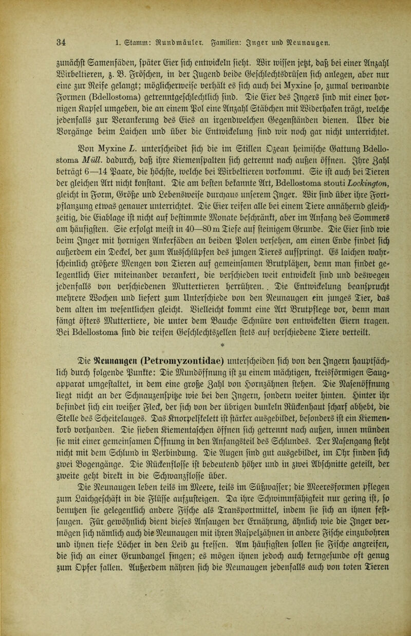 §unä(^ft Somenfäben, f|)äter (Sier enttüidEeln fiel)t. SBit tüiffen je|t, ba^ bei einer 9inga^l Sßirbeltieren, g. S3. gröfd)en, in ber ^ugenb beibe ®efd)Iec^t§brüfen fi(^ anlegen, ober nur eine gur 9iei[e gelangt; möglid^ern^eife ber'^ölt e§ fid^ and) bei Myxine [o, gumol berhjanbte g-ormen (Bdellostoma) getrenntgefc^Iedjtlid) finb. ®ie ßier be§ ^nger§ finb mit einer I}or* nigen ^al^fel umgeben, bie an einem i|5oI eine 2tnga^I ©tobdjen mit SBiber'^afen trögt, melc^e jebenfalB gur SSeranferung be§ 6ie§ an irgenbmetc^en ©egenftönben bienen. Über bie SSorgönge beim Saic^en unb über bie (Sntmidelung finb mir nod^ gar nict)t unterridf)tet. 18on Myxine L. unterfcE)eibet fict) bie im ©tillen Dgean t)eimifdf)e ©attung Bdello- stoma Müll, baburct), ba^ it)re ^iemenfbalten fid^ getrennt nacE) ou^en öffnen. ^t)re beträgt 6—14 ifSaare, bie ^ödE)fte, meldtie bei SBirbeltieren borfommt. ©ie ift aud^ bei Spieren ber gleid)en Strt nicE)t fonftant. ®ie am beften befannte 2Irt, Bdellostoma stouti Lockington, gleidjt in f^orm, ®rö^e unb £eben§meife burcQaus unferem $^nger. SBir finb über if)re ^ort* l^flangung etma§ genauer unterrid^tet. S)ie ®ier reifen alle bei einem Siere annöt)ernb gleid^= geitig, bie ©ablage ift nicf)t auf beftimmte SJtonate befcf)ränft, aber im 2tnfang be§ ©ommerS am f)äufigften. ©ie erfolgt meift in 40—80 m Siefe auf fteinigem ©runbe. 2)ie ©er finb mie beim i^bger mit t)ornigen 3tnferföben an beiben i]3oIen berfetjen, am einen Snbe finbet fid^ au^erbem ein SDedel, ber gum 2tu§fd)Iü|)fen be§ jungen 2:iere§ auffpringt. ©§ IaicE)en mal^r* fdEjeinlid) größere Stengen bon Spieren auf gemeinfamen 25rutf)Iö^en, benn man finbet ge* legentlid) ©ier miteinanber beranfert, bie berfcf)ieben meit entmidelt finb unb be§megen jebenfallö bon berfdE)iebenen StJtuttertieren ]f)errüt)ren.. ®ie ©ntmidelung beanf|)rud^t mef)rere SBocE)en unb liefert gum Unterf(^iebe bon ben iReunaugen ein junges Sier, baS bem alten im mefentlidtien gIeidE)t. SSielleic^t fommt eine 2trt SSrutfDflege bor, benn man föngt öfters SJiuttertiere, bie unter bem 23aud)e ©c^nüre bon entmidelten ©ern trogen. S3ei Bdellostoma finb bie reifen ©efdjIed^tSgellen ftetS auf berfd;iebene Siere berteilt. * S)ie 9leunaugen (Petromyzontidae) unterfd^eiben fidE) bon ben $5ngern tiaufjtföd^* licE) burdE) folgenbe fünfte: 2)ie SJtunböffnung ift gu einem mäcE)tigen, freiSförmigen ©aug* a|)|3arot umgeftaltet, in bem eine gro^e bon §orngät)nen ftel^en. ®ie 9?afenöffnung liegt nid;t an ber ©d)naugenf|ji|e mie bei ben Sägern, fonbern meiter t)inten. hinter it)r befinbet fid) ein meiner gled, ber fid^ bon ber übrigen bunfeln Stüden^ut fdE)arf ab^ebt, bie ©teile beS ©dE)eiteIaugeS. ®aS ^or|3eIffeIett ift ftörfer auSgebilbet, befonberS ift ein SÜemen- forb borijanben. ®ie fieben ^iementafc^en öffnen fid) getrennt nocE) ou^en, innen münben fie mit einer gemeinfamen Öffnung in ben SlnfangSteil beS ©d^IunbeS. ®er 9?afengang ftel)t nid)t mit bem ©d)Iunb in Sßerbinbung. ®ie 2Eugen finb gut auSgebilbet, im DI)r finben fid^ gmei ^Bogengänge. ®ie Stüdenfloffe ift bebeutenb f)öl)er unb in gmei Slbfd^nitte geteilt, ber gmeite gel)t bireft in bie ©d^mangfloffe über. S)ie ilieunaugen leben teils im 3)ieere, teils im ©ü^maffer; bie SQieereSformen fjflegen gum Said)gefd)äft in bie ^lüffe onfgufteigen. S)a il)re ©d)mimmfäl)igfeit nur gering ift, fo benu|en fie gelegentlid) anbere ^ifcE)e oIS StronSi^ortmittel, inbem fie fidE) an il)nen feft* fangen, f^ür gemöf)nli(^ bient biefeS SEnfaugen ber ©nät)rung, äE)nIic^ mie bie Qt^ger ber* mögen ficE) nämlicE) aucE) bie ilZeunaugen mit il)ren 9ftaff)eIgäE)nen in anbere f^ifcEje einguboI)ren unb il)nen tiefe Söc^er in ben Seib gu freffen. 2Im I)äufigften follen fie f^ifd^e ongreifen, bie fid) an einer ©runbongel fingen; eS mögen iijnen jebocE) aud^ ferngefunbe oft genug gum Ofjfer fallen. ^lufeerbem näl)ren fic^ bie Steunaugen jebenfallS audE) bon toten 21eren