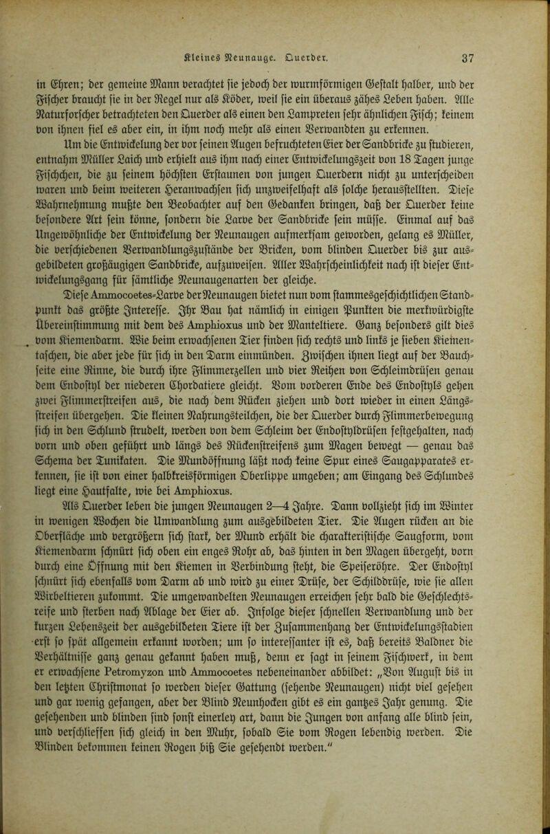 in S^ren; ber gemeine 3)?ann berac^tet fie jebod^ ber murmförmigen ©eftalt fialber, unb ber f5rifc^er braud)t fie in ber Siegel nur qI§ ^öber, meil fie ein überaus gätjel Seben f)aben. Stile 9?aturforfct)er betradjteten ben Querber al§ einen ben Sam|)reten fef)r ät^nlic^en f^ifc^; feinem bon i:^nen fiel e§ aber ein, in if)m noc^ mef)r all einen SSermanbten §u erfennen. Um bie @ntmi(felung ber bar feinen Stugen befrud^tetenföier ber ©anbbricfe §u ftubieren, entnat)m SJtüIIer Said^ unb erf)ielt aul it)m nad) einer (Sntmidelunglgeit bon 18 Stagen junge f^ifc^c^en, bie gu feinem f)öd^ften (Srftaunen bon jungen Cluerbern nid)t gu unterfd)eiben maren unb beim meiteren §erontoad)fen fid) ungmeifeIf)oft all folc^e l^eraulftellten. SDiefe 2Bat)rnet)mung mu^te ben 5ßeobad)ter auf ben ©ebanfen bringen, ba^ ber Querber feine befonbere Strt fein fönne, fonbern bie Sarbe ber ©anbbride fein müffe. (Sinmal auf bol Ungemö^nlidie ber ©ntmidefung ber Sieunaugen aufmerffam getoorben, gelang el SOfüIIer, bie berf(^iebenen SSermanblunglguftänbe ber S3riden, bom blinben Querber bil gur aul= gebilbeten großäugigen ©anbbride, aufgutoeifen. Stlter 2öa:^rfc^einlid^feit nad) ift biefer @nt* midelunglgang für fömtlid^e S^eunaugenarten ber gleid^e. Stiefe Ammocoetes^Sorbe berSJeunougen bietet nun bom ftammelgefd^id)tIid^en©tonb= f)unft bal größte igntereffe. $;f)r Sau !ßat nämlid^ in einigen fünften bie merfmürbigfte Übereinftimmung mit bem bei Amphioxus unb ber SSJfanteltiere. ©ang befonberl gilt biel bom ^emenbarm. Sßie beim ermad^fenen £ier finben ficE) rect)tl unb linfl je fieben Kiemen* tofd)en, bie aber jebe für ficE) in benStarm einmünben. 3töifcE)en if)nen liegt auf ber Saud^- feite eine Sftinne, bie burcE) if)re f^Iimmergellen unb hier 9feif)en bon ©cE)Ieimbrüfen genau bem (Snboftt)! ber nieberen ©f)orbatiere gIeicE)t. Som borberen ©nbe bei @nboftt)II gef)en gioei f^Iimmerftreifen aul, bie nadE) bem SUiden gief)en unb bort toieber in einen Sängl* ftreifen übergeben. SDie Keinen 9^af)runglteild^en, bie ber Ctuerber burd^ glimmerbemegung ficE) in ben ©d^Iunb ftrubelt, merben bon bem ©d^Ieim ber ©nboftßfbrüfen feftgefjalten, nad^ born unb oben gefüf)rt unb längl bei SücEenftreifenl gum 9Jtagen bemegt — genau bal (Sdjema ber Sunifaten. ®ie äRunböffnung läßt nodE) feine Spur einel Saugapparatei er= fennen, fie ift bon einer palbfreilförmigen Oberlippe umgeben; am Eingang bei Scplunbel liegt eine ^autfalte, mie bei Amphioxus. Stil Duerber leben bie jungen Sfeunaugen 2—4:3aE)te. S)ann bollgiept ficE) im SSinter in toenigen 2BocE)en bie Umtoanblung gum aulgebilbeten Stier. St)ie Slugen rüden an bie Dberfläcße unb bergrößern fic^ ftarf, ber äJtunb erf)ält bie d^arafteriftifd^e Saugform, bom Sliemenbarm fdE)uürt fid^ oben ein engel Sof)r ab, bol pinten in ben 9)fagen übergept, born burd) eine Öffnung mit ben fernen in Serbinbung ftept, bie Speiferöpre. ®er ©nboftpl fdjiiürt fiel) ebenfalll bom Sturm ab unb mirb gu einer Strüfe, ber SdE)iIbbrüfe, mie fie alten SBirbeltieren gufommt. ®ie umgemanbelten Sieunaugen erreichen fepr balb bie ©efd^ted^tl= reife unb fterben nadE) Stblage ber Sier ab. i^^folge biefer fd^nellen Sermanblung unb ber furgen Sebenigeit ber aulgebilbeten Siere ift ber ^ufammenpang ber ©ntmidelunglftabien •erft fo fpät allgemein erfannt morben; um fo intereffanter ift el, baß bereiti Salbner bie Serpältniffe gang genau gefannt paben muß, benn er fagt in feinem ^nfd^merf, in bem er ermad)fene Petromyzon unb Ammocoetes nebeneinanber abbilbet: „Son Stuguft bil in ben leßten Spriftmonat fo merben biefer ©attung (fepenbe SJeunaugen) nidE)t biel gefepen unb gar menig gefangen, ober ber Slinb jfieunpoden gibt el ein gonpel Qapr genung. SDie gefepenben unb blinben finb fonft einertep art, bann bie $;ungen bon anfang alte blinb fein, unb berfd)lieffen fidp gleid) in ben äJiupr, fobalb Sie bom Sogen lebenbig merben. Stie Slinben befommen feinen Sogen biß Sie gefepenbt merben.