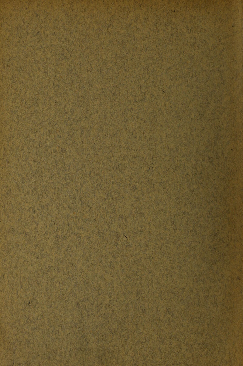 t  V/'; » y.,.* , ■ r '. ,■ ' •, .,' V ^ ; ' V '. ’•' '■(■_. \ \ H -f' . • \ u\ ^v/ „ Vr-.,..y-^y 'y ' ' > ■'■ V• '■ \ . > A'm / '*  ■ ■' . ■''! k,i ''?/?»«■■' ■:'. ^■i' • y. ,':-x> ■ ^>f. )' 'J\ f i r.