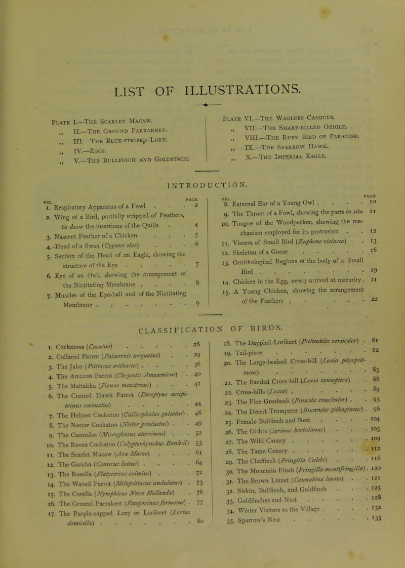 LIST OF ILLUSTRATIONS. Plate I.—The Scarlet Macaw. II.—The Ground Parrakeet. HI.—The Blue-stripep Lory. ,, IV.—Eggs. v. The Bullfinch and Goldfinch. Plate VI.—The Waglers Cassicus. „ VII.—The Sharp-billed Oriole. VIII.—The Ruby Bird of Paradise. ,, IX.—The Sparrow Hawk. X.—The Imperial Eagle. INTRODUCTION. FIG. PAGE 2 1. Respiratory Apparatus of a Fowl 2. Wing of a Bird, partially stripped of Feathers, to show the insertions of the Quills . • 4 3. Nascent Feather of a Chicken . , r S 4. -Head of a Swan (Cygnus olor) 6 5. Section of the Head of an Eagle, showing the structure of the Eye . N • 7 6. Eye of an Owl, showing the arrangement of the Nictitating Membrane , r • • 8 7. Muscles of the Eyerball and of the Nictitating Membrane . , 9 PAGE FIG. 8. External Ear of a Young Owl , . • • 10 9. The Throat of a Fowl, showing the parts in situ 11 10. Tongue of the Woodpecker, showing the me- chanism employed for its protrusion . .12 11. Viscera of Small Bird (Euphone violaced) . 13 12. Skeleton of a Goose ..... 16 13. Ornithological Regions of the body of a Small Bird J9 14. Chicken in the Egg, newly arrived at maturity . 21 15. A Young Chicken, showing the arrangement of the Feathers , . , . 22 CLASSIFICATION OF BIRDS. 1. Cockatoos (Cacatua) • 2. Collared Parrot (Palceornis torquatus) , • 29 3. The Jako (Psittacus erithacus) . . • • 3^ 4. The Amazon Parrot (Chrysotis Amazonicus) . 4° 5. The Maitakka {Pionus menstruus) . . .41 6. The Crested Hawk Parrot (Deroptyus accipi- trinus coronatus) . ■ ► • *44 7. The Helmet Cockatoo (Callicephalus galeatus) . 48 8. The Nestor Cockatoo (Nestorproductus) . • 49 9. The Casmalos (Microglossus atcrrimus) . . 52 10. The Raven Cockatoo (Calyptorhynchus Banksii) 53 11. The Scarlet Macaw (Ara Macao) , • .61 12. The Garuba (Conurus luteus) . , • .64 13. The Rosella (Platycercus eximius) . . • 72 14. The Waved Parrot (Mclopsittacus undulatus) . 73 15. The Corel la (Nymphicus Nova Holland a) . 7 6 16. The Ground Parrakeet (Pezoponnus formosus) . 77 17. The Purple-capped Lory or Lorikeet (Lontis domic el la) 8° jS. The Dappled Lorikeet (Psitteuteles versicolor) . 81 19. Tail-piece . ?o. The Large-beaked Cross-bill (Loxia pityopsit- tacus) ^5 21. The Banded Cross-bill (Loxia tanioptera) . SS 22. Cross-bills (Loxia:) •••>•” 9 23. The Pine Grosbeak (Pinicola entfcleator) . . 93 24. The Desert Trumpeter (Bucanetes githagineus) . 96 23. Female Bullfinch and Nest , • • • *04 26. The Girlitz (Serinus fiortulanus) . ■ -105 27. The Wild Canary ...»•• io9 28. The Tame Canary . . • > • • 112 29. The Chaffinch (Fringilla Calebs) . • • 116 30. The Mountain Finch (Fringilla montifringilla). 120 31. The Brown Linnet (Cannabina linota) . .121 32. Siskin, Bullfinch, and Goldfinch . • • I25 33. Goldfinches and Nest 12^ 34. Winter Visitors to the Village . . • ■ r32 35. Sparrow’s Nest *33