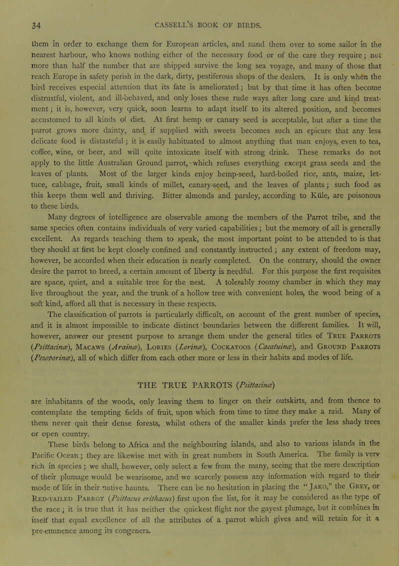 them in order to exchange them for European articles, and nand them over to some sailor in the nearest harbour, who knows nothing either of the necessary food or of the care they require; not more than half the number that are shipped survive the long sea voyage, and many of those that reach Europe in safety perish in the dark, dirty, pestiferous shops of the dealers. It is only when the bird receives especial attention that its fate is ameliorated; but by that time it has often become distrustful, violent, and ill-behaved, and only loses these rude ways after long care and kind treat- ment ; it is, however, very quick, soon learns to adapt itself to its altered position, and becomes accustomed to all kinds of diet. At first hemp or canary seed is acceptable, but after a time the parrot grows more dainty, and if supplied with sweets becomes such an epicure that any less delicate food is distasteful; it is easily habituated to almost anything that man enjoys, even to tea, coffee, wine, or beer, and will quite intoxicate itself with strong drink. These remarks do not apply to the little Australian Ground parrot, ■ which refuses everything except grass seeds and the leaves of plants. Most of the larger kinds enjoy hemp-seed, hard-boiled rice, ants, maize, let- tuce, cabbage, fruit, small kinds of millet, canary-seed, and the leaves of plants ; such food as this keeps them well and thriving. Bitter almonds and parsley, according to Kiile, are poisonous to these birds. Many degrees of intelligence are observable among the members of the Parrot tribe, and the same species often contains individuals of very varied capabilities; but the memory of all is generally excellent. As regards teaching them to speak, the most important point to be attended to is that they should at first be kept closely confined and constantly instructed ; any extent of freedom may, however, be accorded when their education is nearly completed. On the contrary, should the owner desire the parrot to breed, a certain amount of liberty is needful. For this purpose the first requisites are space, quiet, and a suitable tree for the nest. A tolerably roomy chamber in which they may live throughout the year, and the trunk of a hollow tree with convenient holes, the wood being of a soft kind, afford all that is necessary in these respects. The classification of parrots is particularly difficult, on account of the great number of species, and it is almost impossible to indicate distinct boundaries between the different families. It will, however, answer our present purpose to arrange them under the general titles of True Parrots (Psittacince), Macaws (Arabic?), Lories (LorincR), Cockatoos (Cacatuince), and Ground Parrots (Pczoflorince), all of which differ from each other more or less in their habits and modes of life. THE TRUE PARROTS (Psittacina) are inhabitants of the woods, only leaving them to linger on their outskirts, and from thence to contemplate the tempting fields of fruit, upon which from time to time they make a raid. Many of them never quit their dense forests, whilst others of the smaller kinds prefer the less shady trees or open country. These birds belong to Africa and the neighbouring islands, and also to various islands in the Pacific Ocean ; they are likewise met with in great numbers in South America, d he family is verv rich in species ; we shall, however, only select a few from the many, seeing that the mere description of their plumage would be wearisome, and we scarcely possess any information with regard to their mode of life in their native haunts. There can be no hesitation in placing the “ Jako,” the Grey, or Red-tailed Parrot (Ps it tarns erithacus) first upon the list, for it may be considered as the type oi the race; it is true that it has neither the Quickest flight nor the gayest plumage, but it combines in itself that equal excellence of all the attributes ol’ a parrot which gives and will retain for it a pre-eminence among its congeners.