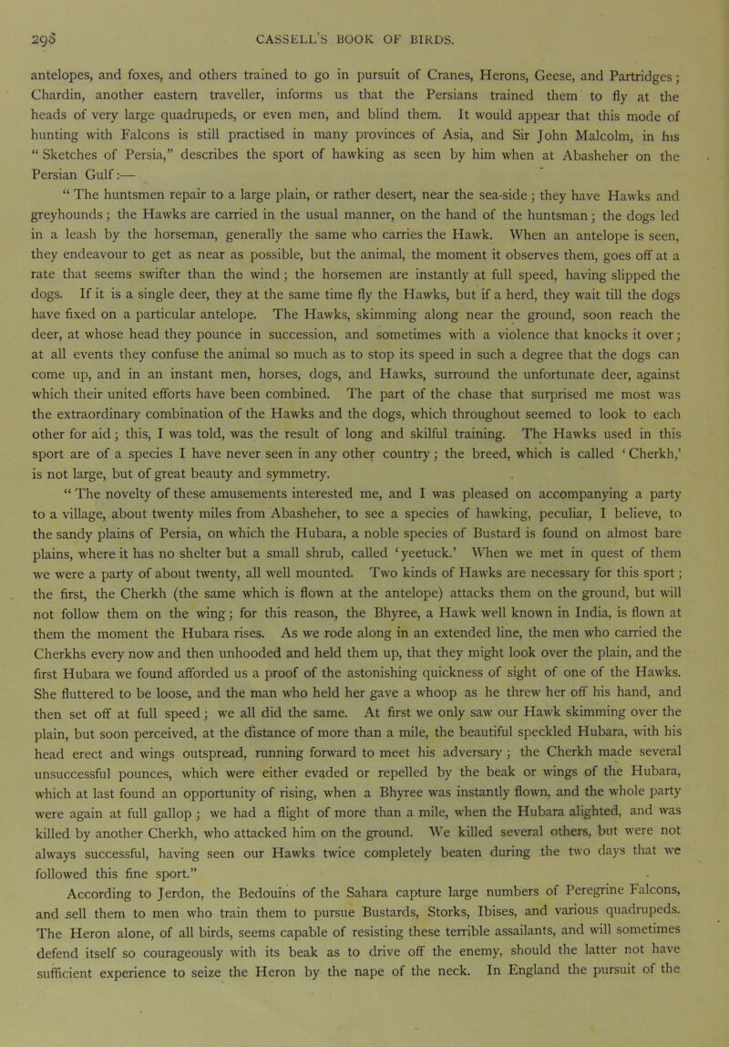 antelopes, and foxes, and others trained to go in pursuit of Cranes, Herons, Geese, and Partridges; Chardin, another eastern traveller, informs us that the Persians trained them to fly at the heads of very large quadrupeds, or even men, and blind them. It would appear that this mode of hunting with Falcons is still practised in many provinces of Asia, and Sir John Malcolm, in his “ Sketches of Persia,” describes the sport of hawking as seen by him when at Abasheher on the Persian Gulf:— “ The huntsmen repair to a large plain, or rather desert, near the sea-side ; they have Hawks and greyhounds; the Hawks are carried in the usual manner, on the hand of the huntsman; the dogs led in a leash by the horseman, generally the same who carries the Hawk. When an antelope is seen, they endeavour to get as near as possible, but the animal, the moment it observes them, goes off at a rate that seems swifter than the wind; the horsemen are instantly at full speed, having slipped the dogs. If it is a single deer, they at the same time fly the Hawks, but if a herd, they wait till the dogs have fixed on a particular antelope. The Hawks, skimming along near the ground, soon reach the deer, at whose head they pounce in succession, and sometimes with a violence that knocks it over; at all events they confuse the animal so much as to stop its speed in such a degree that the dogs can come up, and in an instant men, horses, dogs, and Hawks, surround the unfortunate deer, against which their united efforts have been combined. The part of the chase that surprised me most was the extraordinary combination of the Hawks and the dogs, which throughout seemed to look to each other for aid; this, I was told, was the result of long and skilful training. The Hawks used in this sport are of a species I have never seen in any other country; the breed, which is called ‘ Cherkh,’ is not large, but of great beauty and symmetry. “ The novelty of these amusements interested me, and I was pleased on accompanying a party to a village, about twenty miles from Abasheher, to see a species of hawking, peculiar, I believe, to the sandy plains of Persia, on which the Hubara, a noble species of Bustard is found on almost bare plains, where it has no shelter but a small shrub, called ‘yeetuck.’ When we met in quest of them we were a party of about twenty, all well mounted. Two kinds of Hawks are necessary for this sport; the first, the Cherkh (the same which is flown at the antelope) attacks them on the ground, but will not follow them on the wing; for this reason, the Bhyree, a Hawk well known in India, is flown at them the moment the Hubara rises. As we rode along in an extended line, the men who carried the Cherkhs every now and then unhooded and held them up, that they might look over the plain, and the first Hubara we found afforded us a proof of the astonishing quickness of sight of one of the Hawks. She fluttered to be loose, and the man who held her gave a whoop as he threw her off his hand, and then set off at full speed; we all did the same. At first we only saw our Hawk skimming over the plain, but soon perceived, at the distance of more than a mile, the beautiful speckled Hubara, with his head erect and wings outspread, running forward to meet his adversary ; the Cherkh made several unsuccessful pounces, which were either evaded or repelled by the beak or wings of the Hubara, which at last found an opportunity of rising, when a Bhyree was instantly flown, and the whole party were again at full gallop ; we had a flight of more than a mile, when the Hubara alighted, and was killed by another Cherkh, who attacked him on the ground. We killed several others, but were not always successful, having seen our Hawks twice completely beaten during the two days that we followed this fine sport.” According to Jerdon, the Bedouins of the Sahara capture large numbers of Peregrine Falcons, and sell them to men who train them to pursue Bustards, Storks, Ibises, and various quadrupeds. The Heron alone, of all birds, seems capable of resisting these terrible assailants, and will sometimes defend itself so courageously with its beak as to drive off the enemy, should the latter not have sufficient experience to seize the Heron by the nape of the neck. In England the pursuit of the