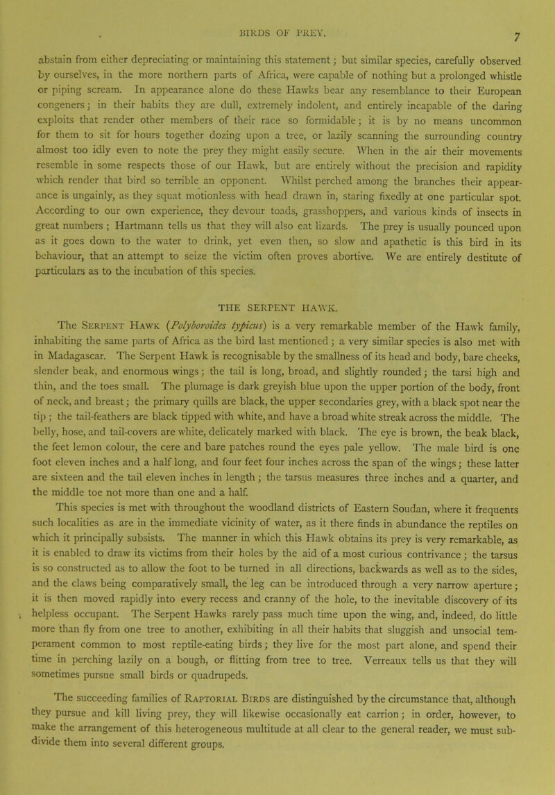 abstain from either depreciating or maintaining this statement; but similar species, carefully observed by ourselves, in the more northern parts of Africa, were capable of nothing but a prolonged whistle or piping scream. In appearance alone do these Hawks bear any resemblance to their European congeners; in their habits they are dull, extremely indolent, and entirely incapable of the daring exploits that render other members of their race so formidable; it is by no means uncommon for them to sit for hours together dozing upon a tree, or lazily scanning the surrounding country almost too idly even to note the prey they might easily secure. When in the air their movements resemble in some respects those of our Hawk, but are entirely without the precision and rapidity which render that bird so terrible an opponent. Whilst perched among the branches their appear- ance is ungainly, as they squat motionless with head drawn in, staring fixedly at one particular spot. According to our own experience, they devour toads, grasshoppers, and various kinds of insects in great numbers ; Hartmann tells us that they will also eat lizards. The prey is usually pounced upon as it goes down to the water to drink, yet even then, so slow and apathetic is this bird in its behaviour, that an attempt to seize the victim often proves abortive. We are entirely destitute of particulars as to the incubation of this species. THE SERPENT HAWK. The Serpent Hawk (Polyboroides iypicus) is a very remarkable member of the Hawk family, inhabiting the same parts of Africa as the bird last mentioned; a very similar species is also met with in Madagascar. The Serpent Hawk is recognisable by the smallness of its head and body, bare cheeks, slender beak, and enormous wings; the tail is long, broad, and slightly rounded; the tarsi high and thin, and the toes small. The plumage is dark greyish blue upon the upper portion of the body, front of neck, and breast; the primary quills are black, the upper secondaries grey, with a black spot near the tip ; the tail-feathers are black tipped with white, and have a broad white streak across the middle. The belly, hose, and tail-covers are white, delicately marked with black. The eye is brown, the beak black, the feet lemon colour, the cere and bare patches round the eyes pale yellow. The male bird is one foot eleven inches and a half long, and four feet four inches across the span of the wings; these latter are sixteen and the tail eleven inches in length; the tarsus measures three inches and a quarter and the middle toe not more than one and a half. This species is met with throughout the woodland districts of Eastern Soudan, where it frequents such localities as are in the immediate vicinity of water, as it there finds in abundance the reptiles on which it principally subsists. The manner in which this Hawk obtains its prey is very remarkable, as it is enabled to draw its victims from their holes by the aid of a most curious contrivance; the tarsus is so constructed as to allow the foot to be turned in all directions, backwards as well as to the sides, and the claws being comparatively small, the leg can be introduced through a very narrow aperture; it is then moved rapidly into every recess and cranny of the hole, to the inevitable discovery of its helpless occupant. The Serpent Hawks rarely pass much time upon the wing, and, indeed, do little more than fly from one tree to another, exhibiting in all their habits that sluggish and unsocial tem- perament common to most reptile-eating birds; they live for the most part alone, and spend their time in perching lazily on a bough, or flitting from tree to tree. Verreaux tells us that they will sometimes pursue small birds or quadrupeds. The succeeding families of Raptorial Birds are distinguished by the circumstance that, although they pursue and kill living prey, they will likewise occasionally eat carrion; in order, however, to make the arrangement of this heterogeneous multitude at all clear to the general reader, we must sub- divide them into several different groups.