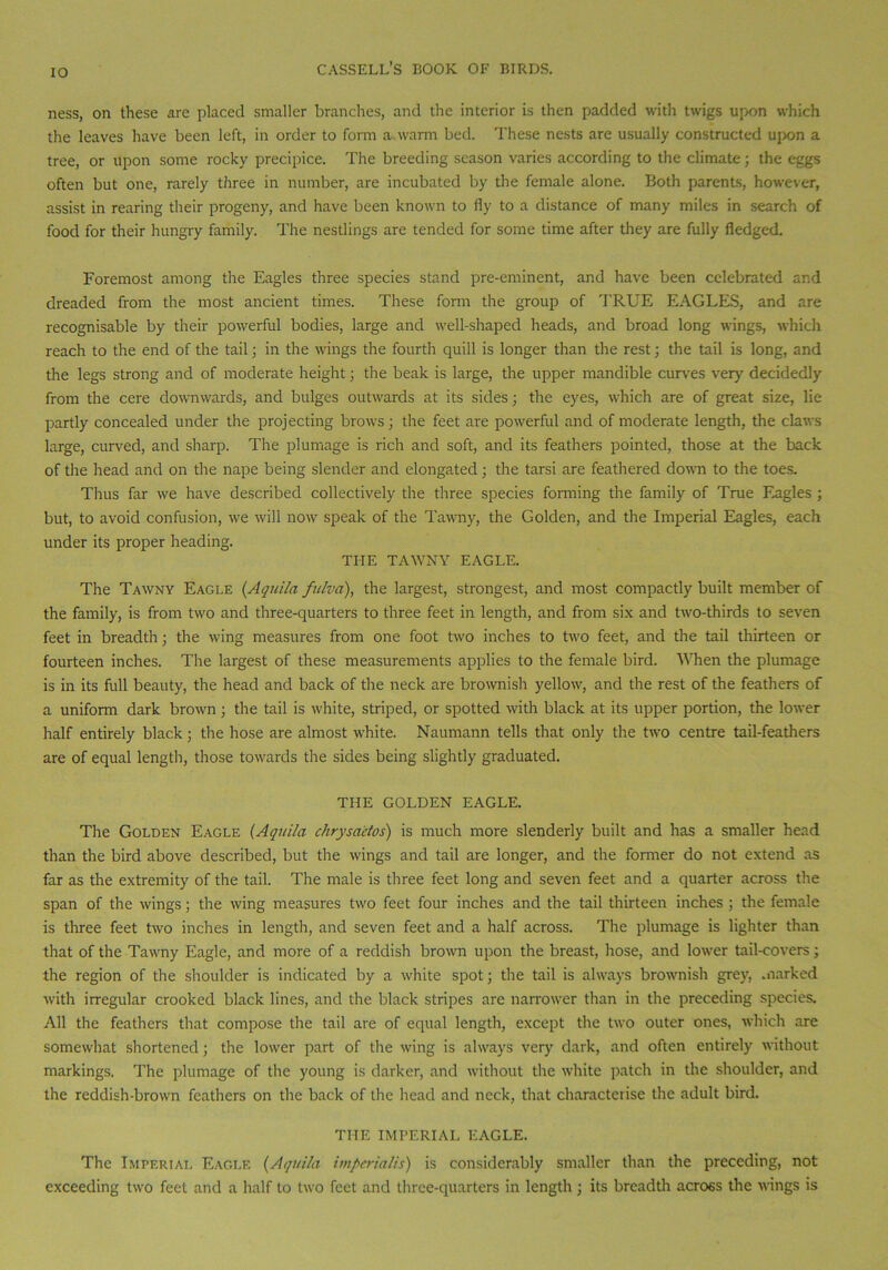 ness, on these are placed smaller branches, and the interior is then padded with twigs upon which the leaves have been left, in order to form a warm bed. These nests are usually constructed upon a tree, or upon some rocky precipice. The breeding season varies according to the climate; the eggs often but one, rarely three in number, are incubated by the female alone. Both parents, however, assist in rearing their progeny, and have been known to fly to a distance of many miles in search of food for their hungry family. The nestlings are tended for some time after they are fully fledged. Foremost among the Eagles three species stand pre-eminent, and have been celebrated and dreaded from the most ancient times. These form the group of TRUE EAGLES, and are recognisable by their powerful bodies, large and well-shaped heads, and broad long wings, which reach to the end of the tail; in the wings the fourth quill is longer than the rest; the tail is long, and the legs strong and of moderate height; the beak is large, the upper mandible curves very decidedly from the cere downwards, and bulges outwards at its sides; the eyes, which are of great size, lie partly concealed under the projecting brows; the feet are powerful and of moderate length, the claws large, curved, and sharp. The plumage is rich and soft, and its feathers pointed, those at the back of tire head and on the nape being slender and elongated; the tarsi are feathered down to the toes. Thus far we have described collectively the three species forming the family of True Eagles ; but, to avoid confusion, we will now speak of the Tawny, the Golden, and the Imperial Eagles, each under its proper heading. THE TAWNY EAGLE. The Tawny Eagle (Aquila fiilva), the largest, strongest, and most compactly built member of the family, is from two and three-quarters to three feet in length, and from six and two-thirds to seven feet in breadth; the wing measures from one foot two inches to two feet, and the tail thirteen or fourteen inches. The largest of these measurements applies to the female bird. When the plumage is in its full beauty, the head and back of the neck are brownish yellow, and the rest of the feathers of a uniform dark brown ; the tail is white, striped, or spotted with black at its upper portion, the lower half entirely black; the hose are almost white. Naumann tells that only the two centre tail-feathers are of equal length, those towards the sides being slightly graduated. THE GOLDEN EAGLE. The Golden Eagle (Aquila chrysactos) is much more slenderly built and has a smaller head than the bird above described, but the wings and tail are longer, and the former do not extend as far as the extremity of the tail. The male is three feet long and seven feet and a quarter across the span of the wings; the wing measures two feet four inches and the tail thirteen inches ; the female is three feet two inches in length, and seven feet and a half across. The plumage is lighter than that of the Tawny Eagle, and more of a reddish brown upon the breast, hose, and lower tail-covers; the region of the shoulder is indicated by a white spot; the tail is always brownish grey, .narked with irregular crooked black lines, and the black stripes are narrower than in the preceding species. All the feathers that compose the tail are of equal length, except the two outer ones, which are somewhat shortened; the lower part of the wing is always very dark, and often entirely without markings. The plumage of the young is darker, and without the white patch in the shoulder, and the reddish-brown feathers on the back of the head and neck, that characterise the adult bird. THE IMPERIAL EAGLE. The Imperial Eagle (Aquila imperialis) is considerably smaller than the preceding, not exceeding two feet and a half to two feet and three-quarters in length; its breadth across the wings is