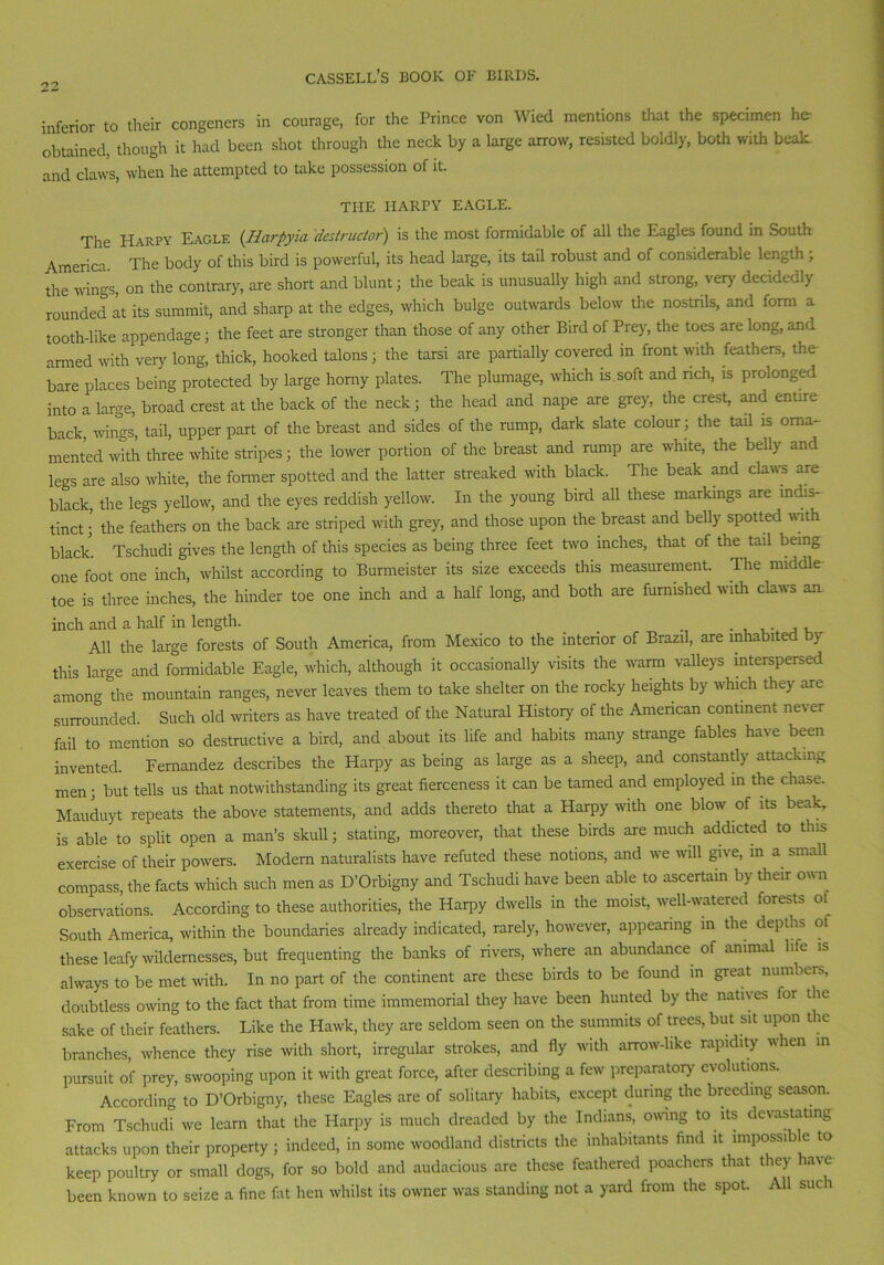 inferior to their congeners in courage, for the Prince von Wied mentions that the specimen he- obtained, though it had been shot through the neck by a large arrow, resisted boldly, both with beak and claws, when he attempted to take possession of it. THE HARPY EAGLE. The Harpy Eagle (.Harpyia destructor) is the most formidable of all the Eagles found in South America. The body of this bird is powerful, its head large, its tail robust and of considerable length , the wings, on the contrary, are short and blunt; the beak is unusually high and strong, very' decidedly rounded at its summit, and sharp at the edges, which bulge outwards below the nostrils, and form a tooth-like appendage; the feet are stronger than those of any other Bird of Prey, the toes are long, and armed with very' long, thick, hooked talonsj the tarsi are partially covered in front with feathers, the- bare places being protected by large horny plates. The plumage, which is soft and nch, is prolonged into a large, broad crest at the back of the neck; the head and nape are grey, the crest, and entire back, wings, tail, upper part of the breast and sides of the rump, dark slate colour; the tail is orna- mented with three white stripes; the lower portion of the breast and rump are white, the belly and legs are also white, the fonner spotted and the latter streaked with black. The beak and claws are black, the legs yellow, and the eyes reddish yellow. In the young bird all these markings are indis- tinct ; the feathers on the back are striped with grey, and those upon the breast and belly spotted with black. Tschudi gives the length of this species as being three feet two inches, that of the tail being one foot one inch, whilst according to Burmeister its size exceeds this measurement. The middle toe is three inches, the hinder toe one inch and a half long, and both are furnished with claws an inch and a half in length. _ All the large forests of South America, from Mexico to the interior of Brazil, are mhabited y this large and formidable Eagle, which, although it occasionally visits the warm valleys interspersed among the mountain ranges, never leaves them to take shelter on the rocky heights by which they are surrounded. Such old writers as have treated of the Natural History of the American continent never fail to mention so destructive a bird, and about its life and habits many strange fables have been invented. Fernandez describes the Harpy as being as large as a sheep, and constantly attacking men; but tells us that notwithstanding its great fierceness it can be tamed and employed in the chase. Mauduyt repeats the above statements, and adds thereto that a Harpy with one blow of its beak, is able to split open a man’s skull; stating, moreover, that these birds are much addicted to this exercise of their powers. Modem naturalists have refuted these notions, and we will give, in a small compass the facts which such men as D’Orbigny and Tschudi have been able to ascertain by their own observations. According to these authorities, the Harpy dwells in the moist, well-watered forests of South America, within the boundaries already indicated, rarely, however, appearing m the depths of these leafy wildernesses, but frequenting the banks of rivers, where an abundance of animal life is always to be met with. In no part of the continent are these birds to be found in great numbers, doubtless owing to the fact that from time immemorial they have been hunted by the natives for the sake of their feathers. Like the Hawk, they are seldom seen on the summits of trees, but sit upon the branches, whence they rise with short, irregular strokes, and fly with arrow-like rapidity when in pursuit of prey, swooping upon it with great force, after describing a few preparatory' evolutions. According to D’Orbigny, these Eagles are of solitary habits, except during the breeding season. From Tschudi we learn that the Harpy is much dreaded by the Indians, owing to its devastating attacks upon their property ; indeed, in some woodland districts the inhabitants find it impossible to keep poultry or small dogs, for so bold and audacious are these feathered poachers that they ha%e been known to seize a fine fat hen whilst its owner was standing not a yard from the spot. A sue 1