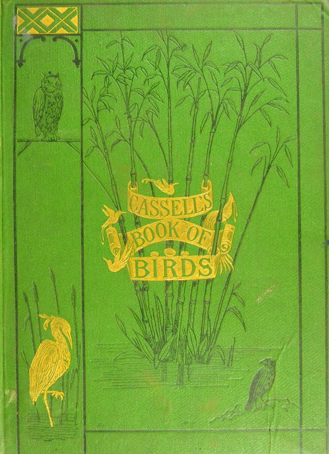 digitised image 1