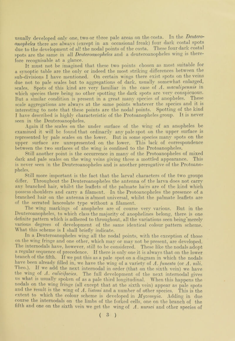 iisnally developed onlv’ one, two or three pale areas on the costa. In the Deut&To- nnopheles there are always (except in an occasional freak) four dark costal spots due to the development of al! the nodal points of the costa. These four dark costal spots are the same in all Deuteroanopheles and a deuteroanopheles wing is there- fore recognisable at a glance. It must not be imagined that these two points chosen as most suitable for a synoptic table are the only or indeed the most striking differences between the sub-divisions I have mentioned. On certain wings there exist spots on the veins due not to pale scales but to aggregations of dai'k, usually somewhat enlarged, scales. Spots of this kind are very familiar in the case of A. macuUpennis in which species there being no other spotting the dark spots are very conspicuous. 13ut a similar condition is present in a great many species of anopheles. These scale aggregations are always at the same points whatever the species and it is interesting to note that these points are the nodal points. Spotting of the kind I have described is highly characteristic of the Protoanopheles group. It is never seen in the Deuteroanopheles. Again if the scales on the under surface of the wing of an anopheles be examined it will be found that ordinarily any pale spot on the upper surface is represented by pale .scales on the lower. Rut in some species many spots on the upper .surface are unrepresented on the lower. This lack of corre,spondence between the two surfaces of the wing is confined to the Protoanopheles. Still another point is the occurrence in many of the Protoanopheles of mixed dark and pale scales on the wing veins giving these a mottPd appearance. This is never seen in the Deuteroanopheles and is another prerogative of the Protoano- pheles. Still more important is the fact that the larval characters of the two groups differ. Throughout the Deuteroanopheles the antenna of the larva does not carry any branched hair, whilst the leaflets of the palmate hairs are of the kind which possess shoulders and carry a filament. In the Protoanophcles the presence of a branched hair on the antenna is almost universal, whilst the palmate leaflets are of the serrated lanceolate type without a filament. The wing markings of anopheles are of course very various. But in the Deuteroanopheles, to which class the majority of anophelines belong, there is one definite pattern which is adhered to throughout, all the variations seen being'merely various degrees of development of the same identical colour pattern scheme. \\ hat this scheme is I shall briefly indicate. In a Deuteroanopheles wing all the nodal points, with the exception of those on the wing fringe and one other, which may or may not be present, are developed. The internodals have, however, .still to be considered. These like the nodals adopt a regular sequence of precedence. If there is only one it is always that on the lower branch of the fifth. If we put this as a pale .spot on a diagram in which the nodals have been already filled in, we have the wing of a variety of A. funesta (or A. nili. Tlieo.). If we add the next internodal in order (that on the sixth vein) we have the wing of A. culicifacies. The full development of the next internodal gives us what is usually spoken of as a pale third longitudinal. When this happens the nodals on the wing fringe (all except that at the sixth vein) appear as pale spots and the result is the wing of A. lisfoni and a number of other species. This is the extent to which the colour scheme is developed in Miizomyia. Adding in due course the internodals on the limbs of the forked cells, one on the branch of the fifth and one on the sixth vein we get the wing of A. nursei and other species of