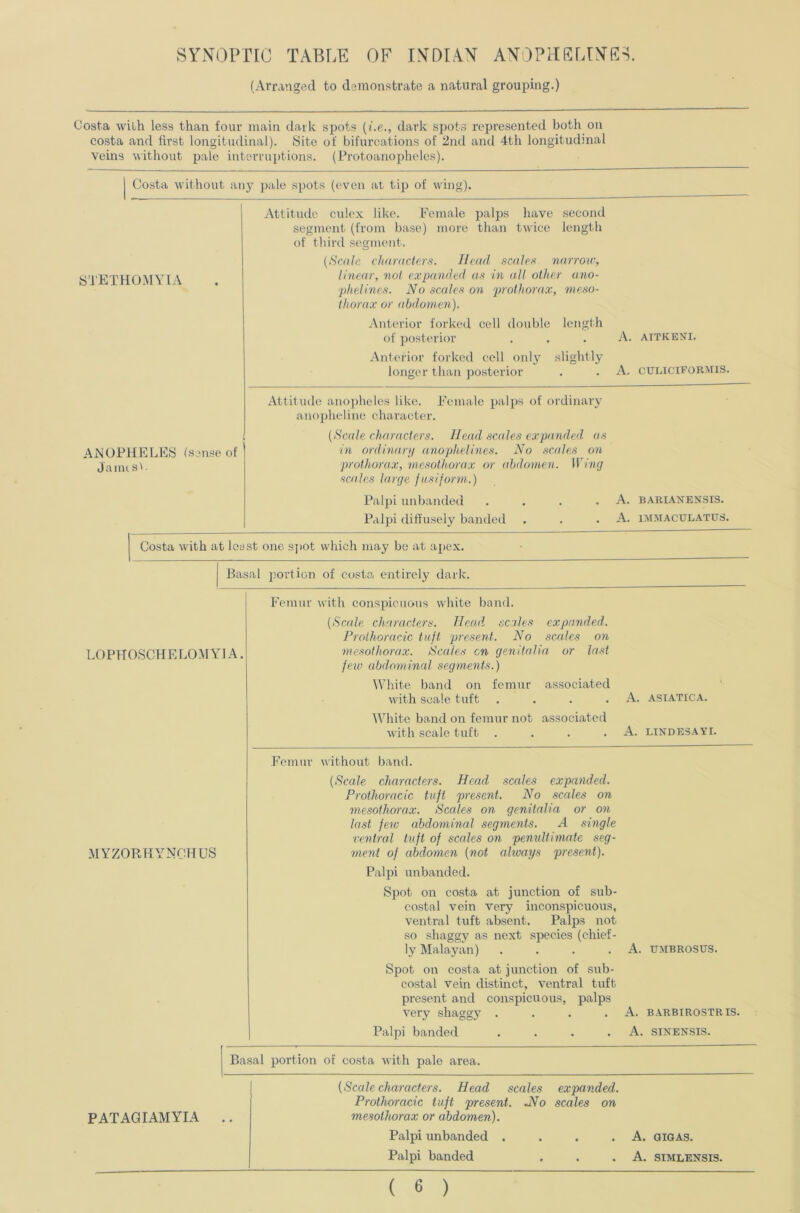 SYiVOPTIC TABLE OF IN'DIAN AN0PHFLr>fR^. (Arranged to demonstrate a natural grouping.) Costa with less than four main dark spots {i.e., dark spots represented both on costa and first longitudinal). Site of bifurcations of 2nd and 4th longitudinal Veins vithout pale interruptions. (Protoanopheles). Costa without ail}' 2>ale spots (even at tip of wing). STETHOMYIA Attitude culex like. Female palps have .second segment (from base) more than twice length of third segment. [Scale dtnmcicrs. Head scalc)^ narroir, linear, rial expanded as in all other ano- phelines. No scales on prothorax, meso- thorax or abdomen). Antcirior forked cell double length of posterior . . . A. aitkeni. Anterior forked cell 011I3' .slightly longer than posterior . . A. culicieormis. Attitude ano])heles like. Female palps of ordinary ano])heline character. (Scale characters. Head scales expanded (ts in ordinanj anophelines. No scales on prothorax, mesolhorax or abdomen. Wing scales large fnsijorm.) Palpi unhanded . . . .A. barianensis. Palpi diffusely banded . . .A. immaculatus. Costa with at least one sjiot which may be at a[)ex. Basal portion of costa, entirely dark. A-NOPHELES (sense of JamtsV L(f P H O.SCH E LO M YIA. Femur with conspicuous white band. [Scale chriraclers. Head scales expanded. Prothoracic tuit present. No scales on mesolhorax. Scales cn genitalia or la.st fetv abdominal segments.) White band on femur associated with scale tuft . . . .A. asiatica. White band on femur not associated with scale tuft . . . .A. lindesayi. Femur without band. MYZORRYNCHUS [Scale characters. Head scales expanded. Prothoracic tuft present. No scales on mesothorax. Scales on genitalia or on- last few abdominal segments. A single ventral tuft of scales on penultimate seg- ment of abdomen [not always present). Palpi unbanded. Spot on costa at junction of sub- co.stal vein very inconspicuous, ventral tuft absent. Palps not .so shaggy as next species (chief- ly Malayan) . . . .A. ttmbrosus. Spot on co.sta at junction of sub- costal vein distinct, ventral tuft present and conspicuous, palps very shaggy .... A. barbirostris. Palpi banded . . . .A. sinensls. Basal portion of costa with pale area. PATAGIAMYIA .. (Scale characters. Head scales expanded. Prothoracic tuft present. JVo scales on mesothorax or abdomen). Palpi unbanded . . . .A. aiaAs. Palpi banded . . .A. simlensis.