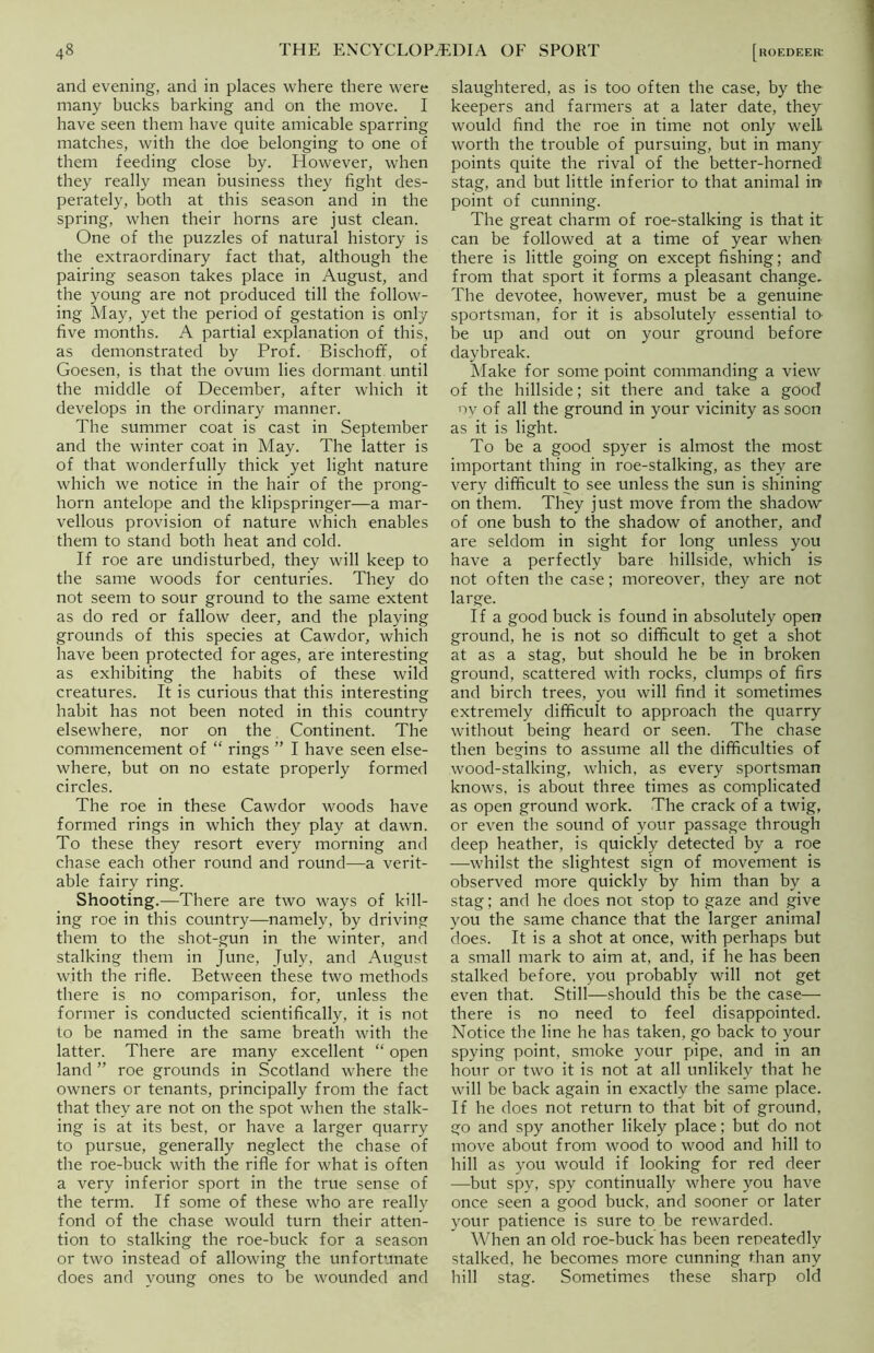 and evening, and in places where there were many bucks barking and on the move. I have seen them have quite amicable sparring matches, with the doe belonging to one of them feeding close by. However, when they really mean business they fight des- perately, both at this season and in the spring, when their horns are just clean. One of the puzzles of natural history is the extraordinary fact that, although the pairing season takes place in August, and the young are not produced till the follow- ing May, yet the period of gestation is only five months. A partial explanation of this, as demonstrated by Prof. Bischofif, of Goesen, is that the ovum lies dormant until the middle of December, after which it develops in the ordinary manner. The summer coat is cast in September and the winter coat in May. The latter is of that wonderfully thick yet light nature which we notice in the hair of the prong- horn antelope and the klipspringer—a mar- vellous provision of nature which enables them to stand both heat and cold. If roe are undisturbed, they will keep to the same woods for centuries. They do not seem to sour ground to the same extent as do red or fallow deer, and the playing grounds of this species at Cawdor, which have been protected for ages, are interesting as exhibiting the habits of these wild creatures. It is curious that this interesting habit has not been noted in this country elsewhere, nor on the Continent. The commencement of “ rings ” I have seen else- where, but on no estate properly formed circles. The roe in these Cawdor woods have formed rings in which they play at dawn. To these they resort every morning and chase each other round and round—a verit- able fairy ring. Shooting.—There are two ways of kill- ing roe in this country—namely, by driving them to the shot-gun in the winter, and stalking them in June, July, and August with the rifle. Between these two methods there is no comparison, for, unless the former is conducted scientifically, it is not to be named in the same breath with the latter. There are many excellent “ open land ” roe grounds in Scotland where the owners or tenants, principally from the fact that they are not on the spot when the stalk- ing is at its best, or have a larger quarry to pursue, generally neglect the chase of the roe-buck with the rifle for what is often a very inferior sport in the true sense of the term. If some of these who are really fond of the chase would turn their atten- tion to stalking the roe-buck for a season or two instead of allowing the unfortunate does and young ones to be wounded and slaughtered, as is too often the case, by the keepers and farmers at a later date, they would find the roe in time not only well worth the trouble of pursuing, but in many points quite the rival of the better-horned stag, and but little inferior to that animal in point of cunning. The great charm of roe-stalking is that it can be followed at a time of year when there is little going on except fishing; and from that sport it forms a pleasant change. The devotee, however, must be a genuine sportsman, for it is absolutely essential to be up and out on your ground before daybreak. Make for some point commanding a view of the hillside; sit there and take a good oy of all the ground in your vicinity as soon as it is light. To be a good spyer is almost the most important thing in roe-stalking, as they are very difficult to see unless the sun is shining on them. They just move from the shadow of one bush to the shadow of another, and are seldom in sight for long unless you have a perfectly bare hillside, which is not often the case; moreover, they are not large. If a good buck is found in absolutely open ground, he is not so difficult to get a shot at as a stag, but should he be in broken ground, scattered with rocks, clumps of firs and birch trees, you will find it sometimes extremely difficult to approach the quarry without being heard or seen. The chase then begins to assume all the difficulties of wood-stalking, which, as every sportsman knows, is about three times as complicated as open ground work. The crack of a twig, or even the sound of your passage through deep heather, is quickly detected by a roe —whilst the slightest sign of movement is observed more quickly by him than by a stag; and he does not stop to gaze and give you the same chance that the larger animal does. It is a shot at once, with perhaps but a small mark to aim at, and, if he has been stalked before, you probably will not get even that. Still—should this be the case— there is no need to feel disappointed. Notice the line he has taken, go back to your spying point, smoke your pipe, and in an hour or two it is not at all unlikely that he will be back again in exactly the same place. If he does not return to that bit of ground, go and spy another likely place; but do not move about from wood to wood and hill to hill as you would if looking for red deer —but spy, spy continually where you have once seen a good buck, and sooner or later your patience is sure to be rewarded. When an old roe-buck has been repeatedly stalked, he becomes more cunning than any hill stag. Sometimes these sharp old
