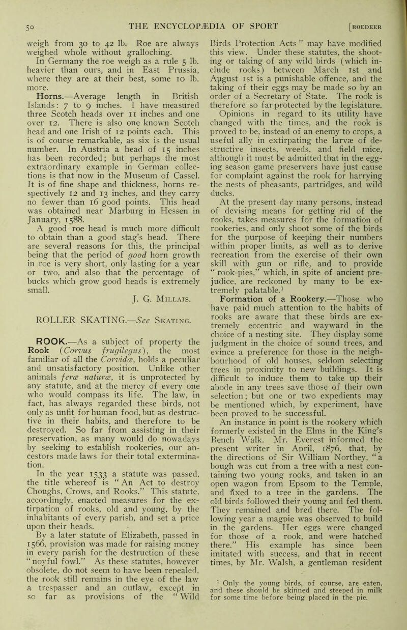 5° weigh from 30 to 42 lb. Roe are always weighed whole without gralloching. In Germany the roe weigh as a rule 5 lb. heavier than ours, and in East Prussia, where they are at their best, some 10 lb. more. Horns.—Average length in British Islands: 7 to 9 inches. I have measured three Scotch heads over 11 inches and one over 12. There is also one known Scotch head and one Irish of 12 points each. This is of course remarkable, as six is the usual number. In Austria a head of 15 inches has been recorded; but perhaps the most extraordinary example in German collec- tions is that now in the Museum of Cassel. It is of fine shape and thickness, horns re- spectively 12 and 13 inches, and they carry no fewer than 16 good points. This head was obtained near Marburg in Hessen in January, 1588. A good roe head is much more difficult to obtain than a good stag’s head. There are several reasons for this, the principal being that the period of good horn growth in roe is very short, only lasting for a year or two, and also that the percentage of bucks which grow good heads is extremely small. J. G. Millais. ROLLER SKATING.—See Skating. ROOK.—As a subject of property the Rook (Corvus frugilegus), the most familiar of all the Corvidce, holds a peculiar and unsatisfactory position. Unlike other animals force natures, it is unprotected by any statute, and at the mercy of every one who would compass its life. The law, in fact, has always regarded these birds, not only as unfit for human food, but as destruc- tive in their habits, and therefore to be destroyed. So far from assisting in their preservation, as many would do nowadays by seeking to establish rookeries, our an- cestors made laws for their total extermina- tion. In the year 1533 a statute was passed, the title whereof is “ An Act to destroy Choughs. Crows, and Rooks.” This statute, accordingly, enacted measures for the ex- tirpation of rooks, old and young, by the inhabitants of every parish, and set a price upon their heads. By a later statute of Elizabeth, passed in 1566, provision was made for raising money in every parish for the destruction of these “noyful fowl.” As these statutes, however obsolete, do not seem to have been repealed, the rook still remains in the eye of the law a trespasser and an outlaw, except in so far as provisions of the “ Wild Birds Protection Acts ” may have modified this view. Under these statutes, the shoot- ing or taking of any wild birds (which in- clude rooks) between March 1st and Apgust 1st is a punishable offence, and the taking of their eggs may be made so by an order of a Secretary of State. The rook is therefore so far protected by the legislature. Opinions in regard to its utility have changed with the times, and the rook is proved to be. instead of an enemy to crops, a useful ally in extirpating the larvae of de- structive insects, weeds, and field mice, although it must be admitted that in the egg- ing season game preservers have just cause for complaint against the rook for harrying the nests of pheasants, partridges, and wild ducks. At the present day many persons, instead of devising means for getting rid of the rooks, takes measures for the formation of rookeries, and only shoot some of the birds for the purpose of keeping their numbers within proper limits, as well as to derive recreation from the exercise of their own skill with gun or rifle, and to provide “ rook-pies,” which, in spite of ancient pre- judice, are reckoned by many to be ex- tremely palatable.1 Formation of a Rookery.—Those who have paid much attention to the habits of rooks are aware that these birds are ex- tremely eccentric and wayward in the choice of a nesting site. They display some judgment in the choice of sound trees, and evince a preference for those in the neigh- bourhood of old houses, seldom selecting trees in proximity to new buildings. It is difficult to induce them to take up their abode in any trees save those of their own selection; but one or two expedients may be mentioned which, by experiment, have been proved to be successful. An instance in point is the rookery which formerly existed in the Elms in the Kind’s Bench Walk. Mr. Everest informed the present writer in April, 1876. that, by the directions of Sir William Northey, “a bough was cut from a tree with a nest con- taining two young rooks, and taken in an open wagon from Epsom to the Temple, and fixed to a tree in the gardens. The old birds followed their young and fed them. They remained and bred there. The fol- lowing year a magpie was observed to build in the gardens. Her eggs were changed for those of a rook, and were hatched there.” His example has since been imitated with success, and that in recent times, by Mr. Walsh, a gentleman resident 1 Only the young birds, of course, are eaten, and these should be skinned and steeped in milk for some time before being placed in the pie.