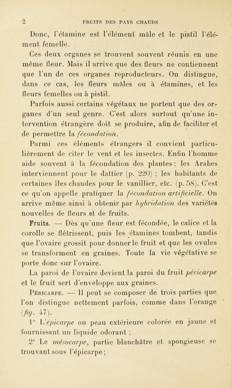 Donc, l’étamine est l’élément mâle et le pistil l’élé- ment femelle. Ces deux organes se trouvent souvent réunis en une même lleur. Mais il arrive que des fleurs ne contiennent que l’un de ces organes reproducteurs. On distingue, dans ce cas, les fleurs mâles ou à étamines, et les fleurs femelles ou à pistil. Parfois aussi certains végétaux ne portent que des or^ ganes d’un seul genre. C’est alors surtout qu’une in- tervention étrangère doit se produire, afin de faciliter et de permettre la fécondation. Parmi ces éléments étrangers il convient particu- lièrement de citer le vent et les insectes. Enfin l’homme aide souvent à la fécondation des plantes : les Arabes interviennent pour le dattier (p. 220) ; les habitants de certaines îles chaudes pour le vanillier, etc. (p.58). C’est ce qu’on appelle pratiquer la fécondation artificielle. On arrive même ainsi à obtenir par hybridation des variétés nouvelles de fleurs et de fruits. Fruits. — Dès qu’une fleur est fécondée, le calice et la corolle se flétrissent, puis les étamines tombent, tandis que l’ovaire grossit pour donner le fruit et que les ovules se transforment en graines. Toute la vie végétative se porte donc sur l’ovaire. La paroi de l’ovaire devient la paroi du fruit péricarpe et le fruit sert d’enveloppe aux graines. Péricarpe. — Il peut se composer de trois parties que l’on distingue nettement parfois, comme dans l’orange {fkj. 47), 1° L'épicarpe ou peau extérieure colorée en jaune et fournissant un liquide odorant 2° Le mésocarpe, partie blanchâtre et spongieuse se trouvant sous l’épicarpe;