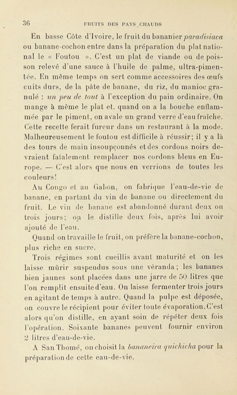 En basse Côte d’ivoire, le fruit du bananier paradisiaca ou banane-cocbon entre dans la préparation du plat natio- nal le « Foutou ». C’est un plat de viande ou de pois- son relevé d'une sauce à l’huile de palme, ultra-pimen- tée. En même temps on sert comme accessoires des œufs cuits durs, de la pâte de banane, du riz, du manioc gra- nulé : un peu de tout à l’exception du pain ordinaire. On mange à même le plat et. quand on a la bouche enllam- mée par le piment, on avale un grand verre d’eau fraîche. Celte recette ferait fureur dans un restaurant à la mode. Malheureusement le foutou est difficile à réussir; il y a là des tours de main insoupçonnés et des cordons noirs de- vraient fatalement remplacer nos cordons bleus en Eu- rope. — C’est alors que nous en verrions de toutes les couleurs! Au Congo et au Gabon, on fabrique l'eau-de-vie de banane, en partant du vin de banane ou directement du fruit. Le vin de banane est abandonné durant deux ou trois jours; on le distille deux fois, après lui avoir ajouté de 1 eau. Quand on travaille le fruit, on préfère la banane-cochon, plus riche en sucre. Trois régimes sont cueillis avant maturité et on les laisse mûrir suspendus sous une véranda; les bananes bien jaunes sont placées dans une jarre de 50 litres que l'on remplit ensuite d’eau. On laisse fermenter trois jours en agitant de temps à autre. Quand la pulpe est déposée, on couvre le récipient pour éviter toute évaporation. C est alors qu’on distille, en ayant soin de répéter deux fois 1 opération. Soixante bananes peuvent fournir environ 2 litres d’eau-de-vie. A SanThomé, on choisit la bunaneira quichicha pour la préparation de cette eau-de-vie.