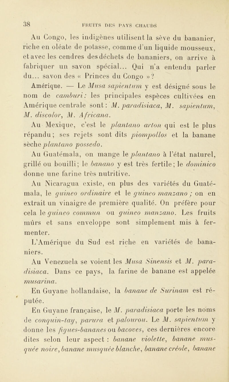 Au Congo, les indigènes utilisent la sève du bananier, riche en oléate de potasse, comme d’un liquide mousseux, et avec les cendres des déchets de bananiers, on arrive à fabriquer un savon spécial... Qui na entendu parler du... savon des « Princes du Congo »? Amérique. — Le Musa sapientum y est désigné sous le nom de camburi: les principales espèces cultivées en Amérique centrale sont: M. paradisiaca, M. sapientum, M. discolor, M. A fricana. Au Mexique, c’est le plantano art on qui est le plus répandu; ses rejets sont dits piompollos et la banane sèche plantano possedo. Au Guatémala, on mange le plantano à l’état naturel, grillé ou bouilli; le banano y est très fertile; le dominico donne une farine très nutritive. Au Nicaragua existe, en plus des variétés du Guaté- mala, le guineo ordinaire et le guineo manzano ; on en extrait un vinaigre de première qualité. On préfère pour cela le guineo commun ou guineo manzano. Les fruits mûrs et sans enveloppe sont simplement mis à fer- menter. L’Amérique du Sud est riche en variétés de bana- niers. Au Venezuela se voient les Musa Sinensis et M. para- disiaca. Dans ce pays, la farine de banane est appelée musarina. En Guyane hollandaise, la banane de Surinam est ré- putée. En Guyane française, le M. paradisiaca porte les noms de conquin-tay, partira et palourou. Le M. sapientum y donne les figues-bananes ou bacoves, ces dernières encore dites selon leur aspect : banane violette, banane mus- quée noire, banane musquée blanche, banane créole, banane