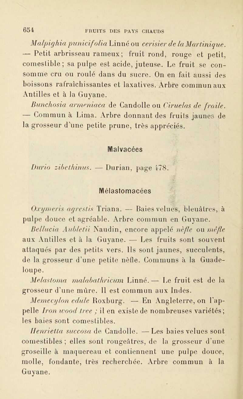 Mcilpighia punitif \olia Linné ou cerisier tic la Martinique. — Petit arbrisseau rameux; fruit rond, rouge et petit, comeslible; sa pulpe est acide, juteuse. Le fruit se con- somme cru ou roulé dans du sucre. On en fait aussi des boissons ralraîchissantes et laxatives. Arbre communaux Antilles et à la Guyane. Bunchosia armmicica de Candolle ou Ciruelas de fraile. — Commun à Lima. Arbre donnant des fruits jaunes de la grosseur d une petite prune, très appréciés. Malvacées Durio zibet/iinus. — Durian, page 478, IVlélastomacées Oxgmeris agrestis Triana. — Baies velues, bleuâtres, à pulpe douce et agréable. Arbre commun en Guyane. Bellucia Aubletii Naudin, encore appelé nèfle ou méfie aux Antilles et à la Guyane. — Les fruits sont souvent attaqués par des petits vers. Ils sont jaunes, succulents, de la grosseur d une petite nèfle. Communs à la Guade- loupe. Melastoma malabathriciim Linné.— Le fruit est de la grosseur d’une mûre. Il est commun aux Indes. Memecglon edule Boxburg. — En Angleterre, on l'ap- pelle îron wood tree ; il en existe de nombreuses variétés; les baies sont comestibles. Henrietta succosa de Candolle. —Les baies velues sont comestibles ; elles sont rougeâtres, de la grosseur d'une groseille à maquereau et contiennent une pulpe douce, molle, fondante, très recherchée. Arbre commun à la Guyane.