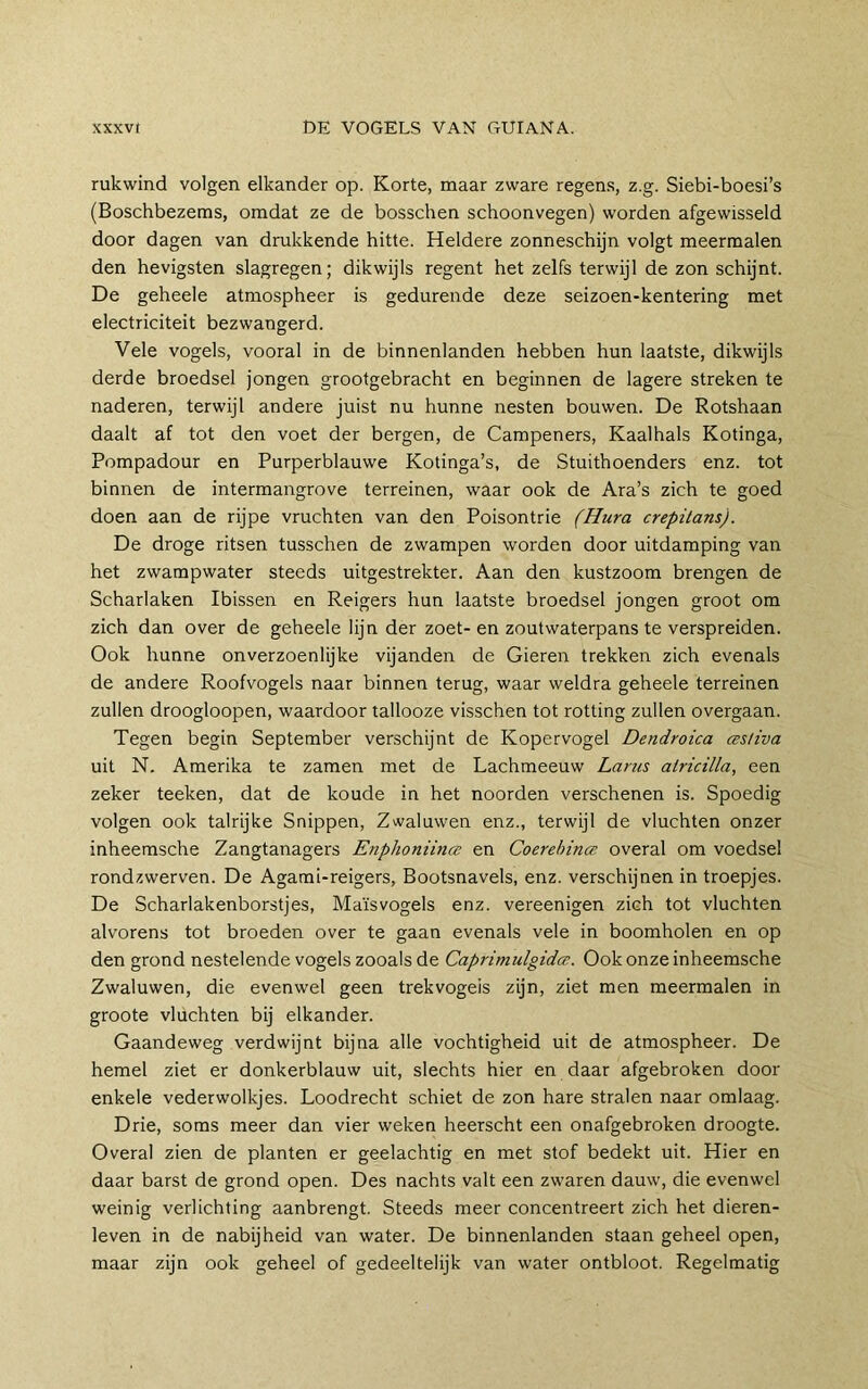 rukwind volgen elkander op. Korte, maar zware regen.s, z.g. Siebi-boesi’s (Boschbezems, omdat ze de bosschen schoonvegen) worden afgewisseld door dagen van drukkende hitte. Heldere zonneschijn volgt meermalen den hevigsten slagregen; dikwijls regent het zelfs terwijl de zon schijnt. De geheele atmospheer is gedurende deze seizoen-kentering met electriciteit bezwangerd. Vele vogels, vooral in de binnenlanden hebben hun laatste, dikwijls derde broedsel jongen grootgebracht en beginnen de lagere streken te naderen, terwijl andere juist nu hunne nesten bouwen. De Rotshaan daalt af tot den voet der bergen, de Campeners, Kaalhals Kotinga, Pompadour en Purperblauwe Kotinga’s, de Stuithoenders enz. tot binnen de intermangrove terreinen, waar ook de Ara’s zich te goed doen aan de rijpe vruchten van den Poisontrie (Hura crepüans). De droge ritsen tusschen de zwampen worden door uitdamping van het zwampwater steeds uitgestrekter. Aan den kustzoom brengen de Scharlaken Ibissen en Reigers hun laatste broedsel jongen groot om zich dan over de geheele lijn der zoet- en zoutwaterpans te verspreiden. Ook hunne onverzoenlijke vijanden de Gieren trekken zich evenals de andere Roofvogels naar binnen terug, waar weldra geheele terreinen zullen droogloopen, waardoor tallooze visschen tot rotting zullen overgaan. Tegen begin September verschijnt de Kopervogel Dendroica cestiva uit N. Amerika te zamen met de Lachmeeuw Lams airicilla, een zeker teeken, dat de koude in het noorden verschenen is. Spoedig volgen ook talrijke Snippen, Zwaluwen enz., terwijl de vluchten onzer inheemsche Zangtanagers Eiiphoniince en Coerehince overal om voedsel rondzwerven. De Agami-reigers, Bootsnavels, enz. verschijnen in troepjes. De Scharlakenborstjes, Maïsvogels enz. vereenigen zich tot vluchten alvorens tot broeden over te gaan evenals vele in boomholen en op den grond nestelende vogels zooals de Caprimulgidce. Ook onze inheemsche Zwaluwen, die evenwel geen trekvogels zijn, ziet men meermalen in groote vluchten bij elkander. Gaandeweg verdwijnt bijna alle vochtigheid uit de atmospheer. De hemel ziet er donkerblauw uit, slechts hier en daar afgebroken door enkele vederwolkjes. Loodrecht schiet de zon hare stralen naar omlaag. Drie, soms meer dan vier weken heerscht een onafgebroken droogte. Overal zien de planten er geelachtig en met stof bedekt uit. Hier en daar barst de grond open. Des nachts valt een zwaren dauw, die evenwel weinig verlichting aanbrengt. Steeds meer concentreert zich het dieren- leven in de nabijheid van water. De binnenlanden staan geheel open, maar zijn ook geheel of gedeeltelijk van water ontbloot. Regelmatig