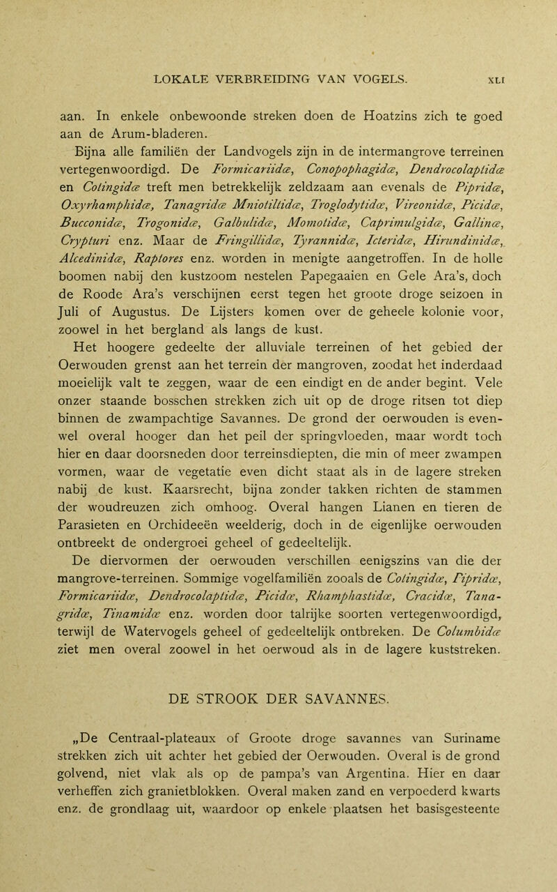 aan. In enkele onbewoonde streken doen de Hoatzins zich te goed aan de Arum-bladeren. Bijna alle familiën der Landvogels zijn in de intermangrove terreinen vertegenwoordigd. De Foi'micariidce, ConopophagidcB, De7idrocolaplidce en Cotingidce treft men betrekkelijk zeldzaam aan evenals de Pipridce, OxyrhamphidcE, Tanagridce Mniotiltida, Troglodytidoe, Vireonidce, Picidce, Bucconida, Trogonidce, Galbtdidce, Moiyiotida, CaprimulgidcB, Gallina, Crypturi enz. Maar de Fmigillidce, Tyrannidce, Icteridce, Hiriindinidce, Alcedinidce, Rapiores enz. worden in menigte aangetroffen. In de holle boomen nabij den kustzoom nestelen Papegaaien en Gele Ara’s, doch de Roode Ara’s verschijnen eerst tegen het groote droge seizoen in Juli of Augustus. De Lijsters komen over de geheele kolonie voor, zoowel in het bergland als langs de kust. Het hoogere gedeelte der alluviale terreinen of het gebied der Oerwouden grenst aan het terrein der mangroven, zoodat het inderdaad moeielijk valt te zeggen, waar de een eindigt en de ander begint. Vele onzer staande bosschen strekken zich uit op de droge ritsen tot diep binnen de zwampachtige Savannes. De grond der oerwouden is even- wel overal hooger dan het peil der springvloeden, maar wordt toch hier en daar doorsneden door terreinsdiepten, die min of meer zwampen vormen, waar de vegetatie even dicht staat als in de lagere streken nabij de kust. Kaarsrecht, bijna zonder takken richten de stammen der woudreuzen zich omhoog. Overal hangen Lianen en tieren de Parasieten en Orchideeën weelderig, doch in de eigenlijke oerwouden ontbreekt de ondergroei geheel of gedeeltelijk. De diervormen der oerwouden verschillen eenigszins van die der mangrove-terreinen. Sommige vogel familiën zooals de Colingidce, Pipridce, Formicariidce, Dendrocolaplidcs, Picidoe, Rhamphastidce, Cracidce, Tana- gridce, Tinamidce enz. worden door talrijke soorten vertegenwoordigd, terwijl de Watervogels geheel of gedeeltelijk ontbreken. De Columbida ziet men overal zoowel in het oerwoud als in de lagere kuststreken. DE STROOK DER SAVANNES. „De Centraal-plateaux of Groote droge savannes van Suriname strekken zich uit achter het gebied der Oerwouden. Overal is de grond golvend, niet vlak als op de pampa’s van Argentina. Hier en daar verheffen zich granietblokken. Overal maken zand en verpoederd kwarts enz. de grondlaag uit, waardoor op enkele plaatsen het basisgesteente