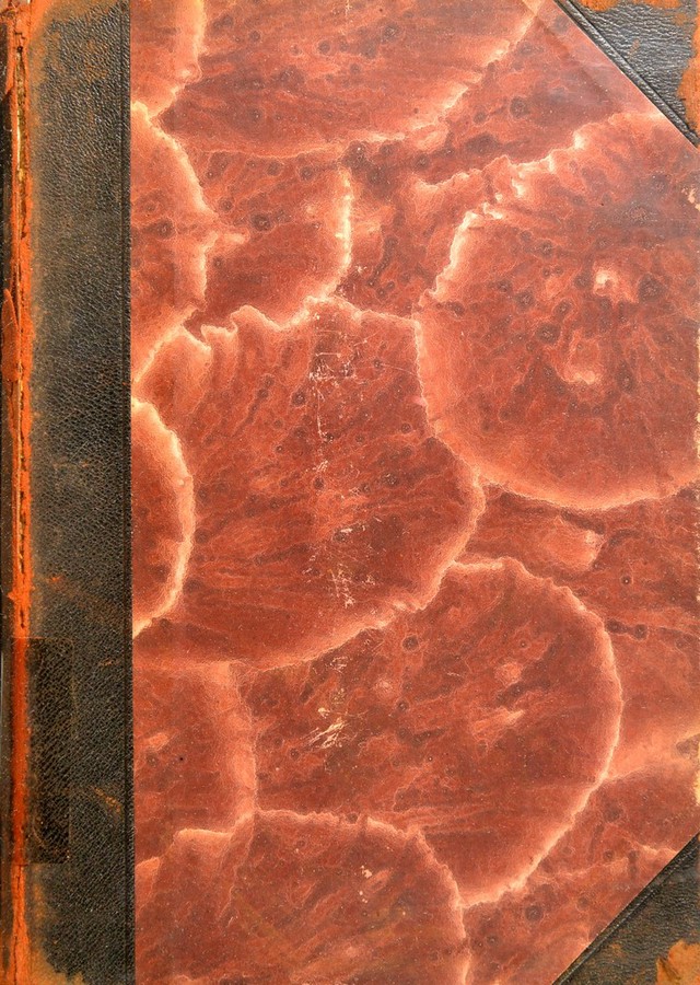 No text description is available for this image