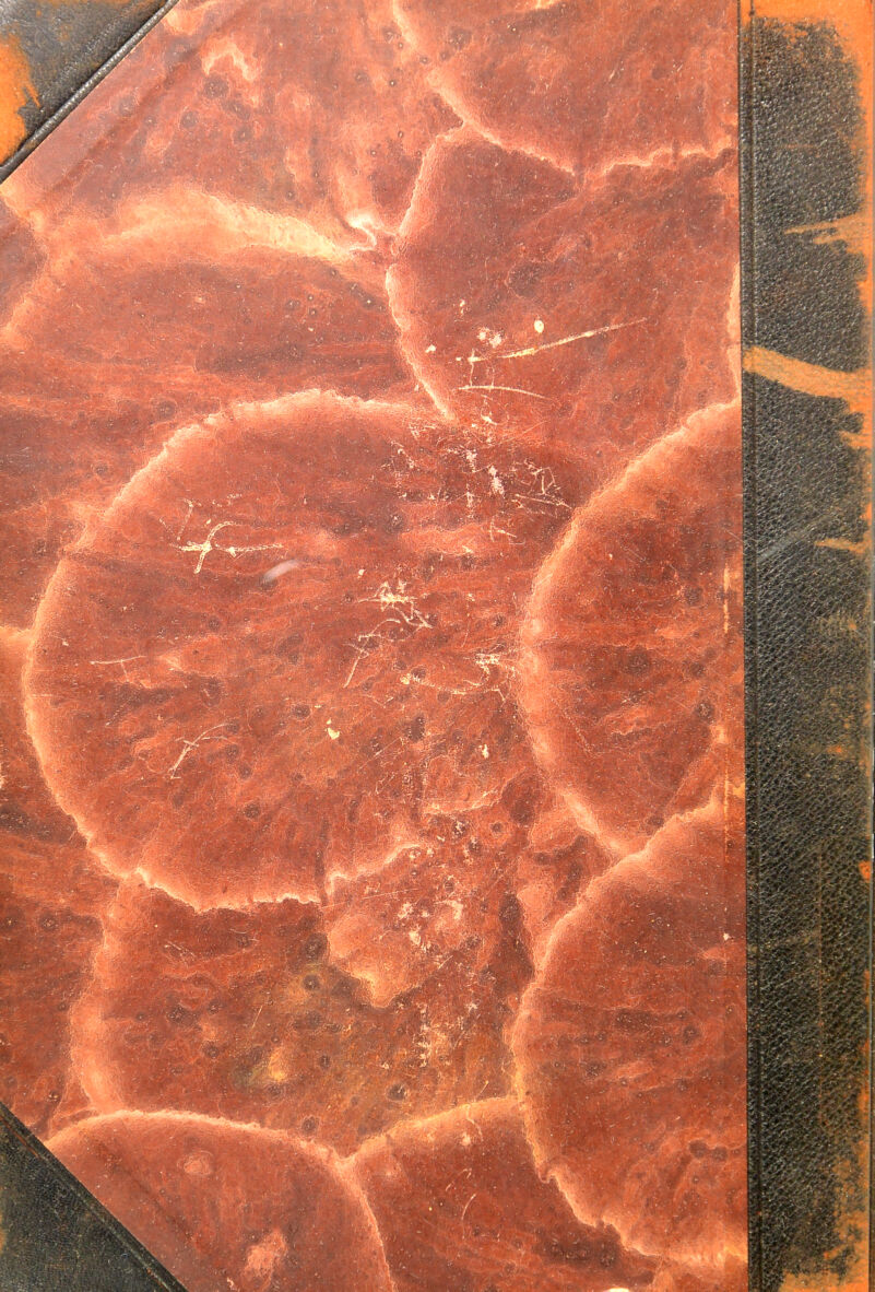 No text description is available for this image